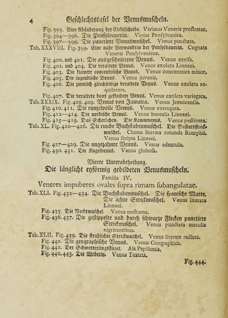 ©efd)(edjtöfafet bet SßcmiSmufcf>elit. Fig. 393. (Sine «Mntcrung ber @irfelf$ei6e. Varietas Veneris proftratae. Fig. 394—396. Sie 3>cnfyfo<werm. Venus Penfylvanica. Fig- 397—398- S>tC pwtCttrte ^ßemt^ntufd5)el. Venus pun&ata. Tab.XXXVlil. Fig. 399. (Sine nabe 2>crroanbtitt ber Tettfolbaiterw. Cognata Veneris Penfylvanicae. Fig. 400, uni) 401. Sie auögefcfymttene Venus excifa. Fig. 402. unb 404. Sie Veraltete S3enuö. Venus exoleta Linnaei. Fig. 403. Sie flctnere coitcentrifc&e 33enu$. Venus concentrica minor. Fig. 405. Sie jugenblicbe $eiiu$. Venus juvenis. Fig. 406. Sie jiemltcb gleicbfeitige beraftete 93enu$. Venus exoleta ae- quilatera. Fig. 407. Sie Veraltete Bunt gefleibete 93etnt$. Venus exoleta variegata* Tab.XXXlX. Fig. 408.409. SSettUg UOtt 3atttatca. Venus Jamaicenfis. Fig. 410.411. Sie ruitjelDOlle $3etttt$. Venus corrugata. Fig. 412—414. Sie norbifc&e 93euu$. Venus borealis Linnaei. Fig. 415—419. Sa$ ©c&erBc&eit. Sie $ammbenug. Venus pe&inata; Tab. XL. Fig. 420—426. Sie runbe 95ad^)labennmfd&el. Sie ^aftartftrief* ntufcbel. Chama literata rotunda Rumphii* Venus feripta Linnaei. Fig. 427—429. Ste tUt$e$af)nte SSemtS. Venus edentula. Fig. 430.431. Sie $u<jelbeitu$. Venus globofa. SOterte ttttterabthettuttg. &k lang!id)t epformig gebildeten SenuSmufc&eln; Familia IV. Veneres impuberes ovales fupra rimam fubangulatae. Tab.XLl. Fig. 432—434. Sie $8u<#ftabenmuf<hel. Sie fpantfe^e Statte. Sie debte @trtcfmttfc&el. Venus literata Linnaei. Fig-435'* Sie 9LtcBtmufd)ef. Venus no&urna. Fig. 436.437. Sie gefTippelte unb durch fthtoarje glecfett ptmetirte © trief mufcf)el. Venus pundlata maculis nigricantibus. Tab.XLII. Fig. 439. Sie ftraBItcbte ©tricfittufc(jef. Venus literata radiata« Fig. 440. Sie geoqrapf)tfd)C &enu$. Venus Geographica.» Fig. 441. Ser ©cbmetterlfngSflüflel. Ala Papilionis* Fig, 442,443. Sie ^eBetilt* Venus Textrix# Fig, 444;