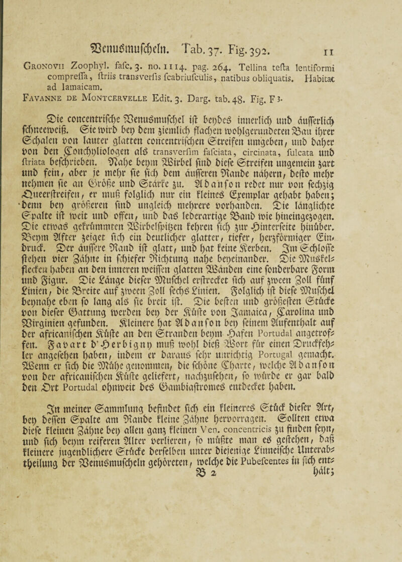 93cmi$mufd)eto. Tab. 37. Fig.392. n Gronovii Zoophyl. fafc, 3. no. 1114. pag. 264. Tellina tefta lentiformi comprelTa, ftriis transverfis fcabriufcülis-, natibus obliquatis. Habitac ad Iamaicam. Favanne de Montcervelle Edit. 3. Darg. tab. 48. Fig. Ft- Stc concentrifdje SöemiSmufdjel ift bepbcS Innerlich ttttb dufferlich fdjneeweiß. ©iewirb bet) 5cm ziemlich flache« wohlgerunbeten 33au ihrer ©chalett t>ott lautet* glatten cortccntrifchen ©treffen umgeben, unb bah er POU bett <£ottd)t)liolOgen al£ transverfim fafciata, circinata, fulcata Uttb ftriata befcf>rteben. beprn Wirbel ftnb btefe ©tretfen ungemein §art ttnb fein/ aber je mehr fte ftd) bern dufferen %tnbe nähern, befto mehr neunten fte an ©roße unb ©tdrfe du. Abattfon rebet nur oott fed)jig Äueerftreifett, er muß folglid) nur ein Heittcö (Epeittplar gehabt haben; *bemt bet) größeren ftttb ungleich mehrere porhattbett. £ie langlid)te ©palte ift weit unb offen, unb ba£ leberartige fSattb wie hineingedogett. S)ie etwas gefrümntten Sßirbelfpigen fef>ren ftd) ^ur ^interfeite hinüber. SBepm After geiget ftd) ein beutlicher glatter, tiefer, herdförmiger (Ein# bntd. S)er duffere 2iattb ift glatt, uttb hat feine Serben. 3m@chloffe ffehen Pier Sdl)ue in fchiefer Dichtung nahe bepeinanber. £>ie PftuSfeb; fleden haben an ben inneren weiffm glatten SÖSdnben eine fonberbare gönn ttnb gigtir. Oie £dttge biefer 9)Utfd)el erftredet ftd) auf dweett Seil fünf £iniett, bie freite auf dweett goll fecpS Linien, golglid) ift biefe Pftttfcbei bepnape eben fo lang als fte breit ift. Oie beftett unb großeftett ©tüde pon biefer (Gattung werben bet) bei* stifte pon Samaica, Carolina unb SSirginien gefttnben. kleinere hat Abattfott bet) feinem Aufenthalt auf bei* africanifchen Stifte au ben ©tranbett bepttt d)afen Portudai angetrof* fett, g a 0 a r t b’ e r b i g tt t) muß woi)l bieß 2Bot*t für einen Oeudfeh* ier angefehen haben, ittbem er barauS fef>r unrichtig Portugal gemacht. %ßemt er ftd) bie 9ttüf)egenommen, bie fepone ©harte, welche Abanfon pott bei* africanifchen $üfte geliefert, nachdufehen, fo würbe er gar halb ben -Ort Portudai ohnweit beS ®ambiaftromeS entbedet haben. 3'tt meiner ©ammlung beftttbet ftd) eitt HemereS ©tüd biefer Art, bet) beffen ©palte am Staube Heine gdl)ne perporragen. ©ollten etwa biefe Heilten gaptte bet) allen gattd f leinen Ven. concentricis du ßttbett fepn, ttnb ftch beptn reiferen Alter perlierert, fo müßte matt eS geftepett, baß Heinere jugenblid)ere ©tüde berfelbett unter biejettige £inneifd)e Unterab? tpeilung ber SOehuSmufcpeln geporeten, weld)e bie Pubefcentes tu ftch ent?