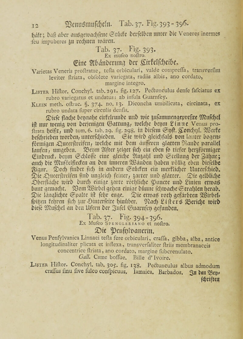 plt; baß aber atiögeivacftfenc ©tficfe bcvfclbcii unter bic Veneres inermes feu impuberes 511 rechnen mären. Tab. 37. Fig. 393. Ex mufeo noftro. Sine 3!6dnberung her fiirfelftyetöe. Varietas Veneris proftratae, tefta orbiculari, valde comprefla, transverfini leviter ftriata, obfolete variegata, radiis albis, ano cordato, margine integro. Lister Hiftor. Conchyl. tab. 291. fig. 127. Pe&unculus denfe fafeiatus ex rubro variegatus et undatus: ab infula Guarnfey. Klein meth. oftrac. §. 374. no. 13. Diconcha umbilicata, circinata, ex rubro undata fuper circulis denfis. ®iefc flache beinahe cirf eirunde und mie $ufammengepreßte ^ufc^el iff nur mettig pott derjenigen Gattung/ melche betritt £inne Venus pro- ftrata heißt/ und tom.6. tab. 29. fig. 298. in diefem Spfb gmnd)t)l. £BerFe befdmieben morden/ unterfd)ieden. (Sie mird gleichfatö i>on lauter bogen^ förmigen Äueerjtreifen, mcld)e mit dem dufferen glatten Stande parallel laufen/ umgeben. Söetjm Elfter geiget ftd> ein eben fo tiefer herdförmiger (Eindruck bepm Schlöffe eine gleiche 5lndaf)l und Stellung der gähne; auch die Sftuffelfleden au den inneren ^Bänden hüben oollig eben biefelbe gigur. £och findet fid) in andern Stücfen ein merklicher Unterfchied. 2>ie rÜueerffreifen find ungleich feiner/ zarter und glätter. SDie gelbliche .Oberfläche mird durch einige $arte rötliche $>uncte und Binien etmaS bunt gemacht. S8om ^Birbel gehen einige dünne fchmad)e (Strahlen herab. 5>ie länglichte Spalte iff fel)r enge. Oie etma£ rotl) gefärbten £Birbel* fpifien tehren fich $ur «jömterfeite hinüber. Sftacf) £ifter$ Bericht mird diefe lOUifcpcl au den Ufern der Snfel ®uarnfet) gefunden. Tab. 37. Fig. 394-396. Ex Mufeo Spengleriano et noftro. ©ie 5)enft)l»anerin. Venus Penfylvanica Linnaei tefta fere orbiculari, crafla, gibba, alba, antice longitudinaliter plicata et inflexa, transverfaliter ftriis membranaceis concentrice ftriata, ano cordato, margine fuberenulato. Gail. Came boflue. Bille d* Ivoire. Lister Hiftor. Conchyl. tab. 305. fig. 13g. Pe&unculus albus admodum craftus ünu ftve fulco confpicuus. Iamaica, Barbados, gn den [giften