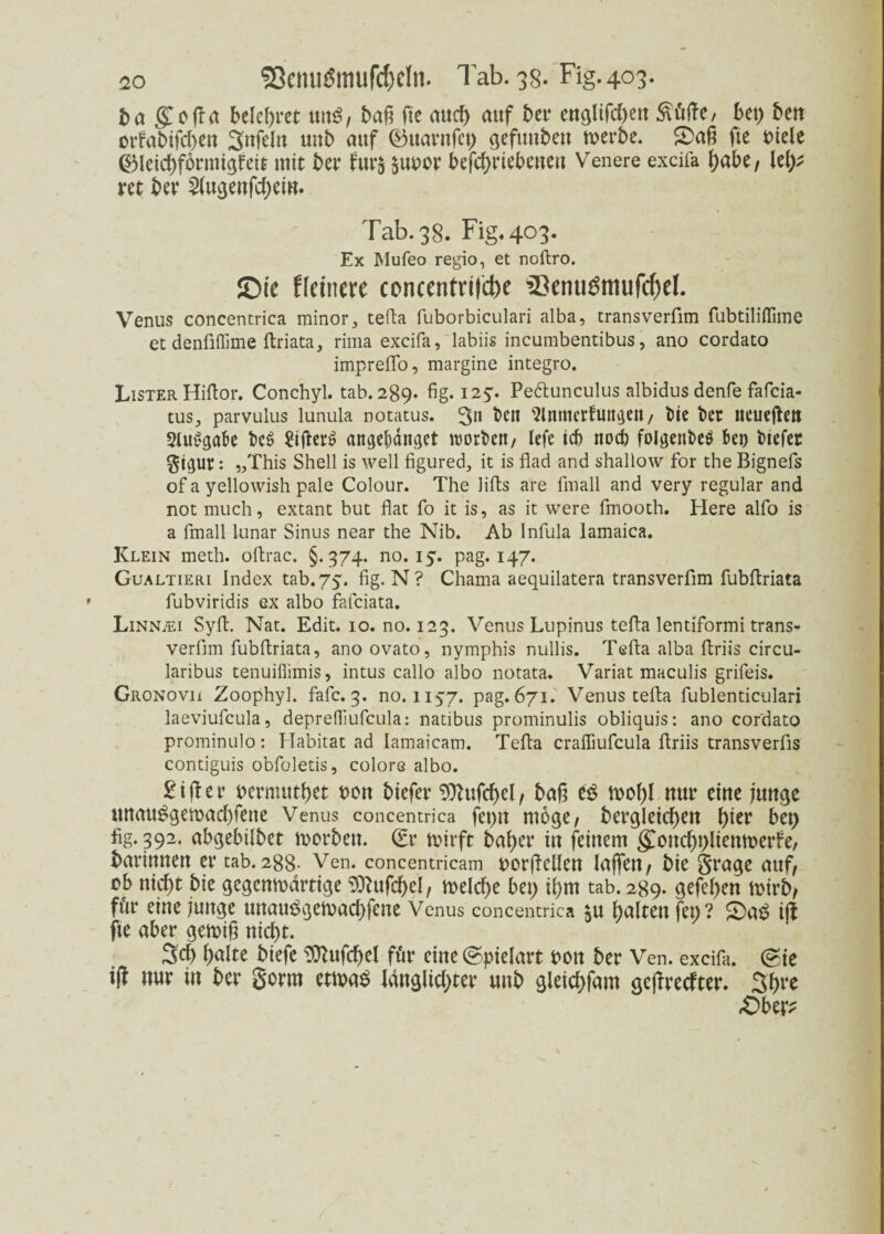 da (fofta belehret un$, daü fte auch auf ber enölifcbert $üfte, bet) berr orfadifd)en Snfelrt und auf ©ttarnfet) gefunden n>et*be. &afi fte viele ®leichformigfeit mit bei' fur$ £Ubor befcf>rtebeitcrt Venere excifa habe, lelp ret ber 2lugenfd)em. Tab.38. Fig.403. Ex Mufeo regio, et noftro. ©ic ffetnere concentritäK ’lknuömufdiel. Venus concentrica minor, tefla fuborbiculari alba, transverfim fubtiliflime et denfiflime ftriata, rima excifa, labiis incumbentibus, ano cordato impreffo, margine integro. Lister Hifior. Conchyl. tab. 289- fig. 125'. Pe&unculus albidus denfe fafeia- tus, parvulus lunula notatus. Sn ben ^tnmetduncten, tue kr neuefteti 5Ju$gabe k$ öfters angebdnget rcorkn, lefe icb noch folgenkg bet) tuefer gtgur: „This Shell is well figured, it is flad and shallow for the Bignefs of a yellowish pale Colour. The lifls are fmall and very regulär and not milch, extant but flat fo it is, as it were fmooth. Here alfo is a fmall lunar Sinus near the Nib. Ab Infula lamaica. Klein meth. oftrac. §.374. no. 15. pag. 147. Gualtieri Index tab. 75. fig. N ? Chama aequilatera transverfim fubflriata fubviridis ex albo fafeiata. LiNNiEi Sylt. Nat. Edit. 10. no. 123. Venus Lupinus tefla lentiformi trans¬ verfim fubflriata, ano ovato, nymphis nullis. Tefla alba flriis circu- laribus tenuiflimis, intus callo albo notata. Variat maculis grifeis. Gronovii Zoophyl. fafc. 3. no. 1157. pag. 671. Venus tefla fublenticulari laeviufcula, deprefliufeula: natibus prominulis obliquis: ano cordato prominulo: Habitat ad Iamaicam. Tefla crafliufcula flriis transverfis contiguis obfoletis, colors albo. £tjter bermuthet bon biefer SOhtfchel, baß es wohl nur eine junge uttauSgemachfette Venus concentrica fepn möge, dergleichen hi«* bei) fig. 392. abgebildet morden. (Sr wirft daher in feinem gCottchblienmerfe, darinnen er tab. 288- Ven. concentricam borfMen (affen / die grage auf, ob nicht die gegenwärtige SRufd&el, meld)e bet; ihm tab. 289. gefehen wird, für eine junge unau$gewad;fene Venus concentrica ju halten fep? 5)a$ ijf fte aber gewiß nicht. Sch tyaltt diefe Sttufchel für eine (Spielart bon der Ven. excifa. (Sie i(l nur in der gorm etm* Jänglid;ter und gleichfam gejfrecfter. Shre «Obe v