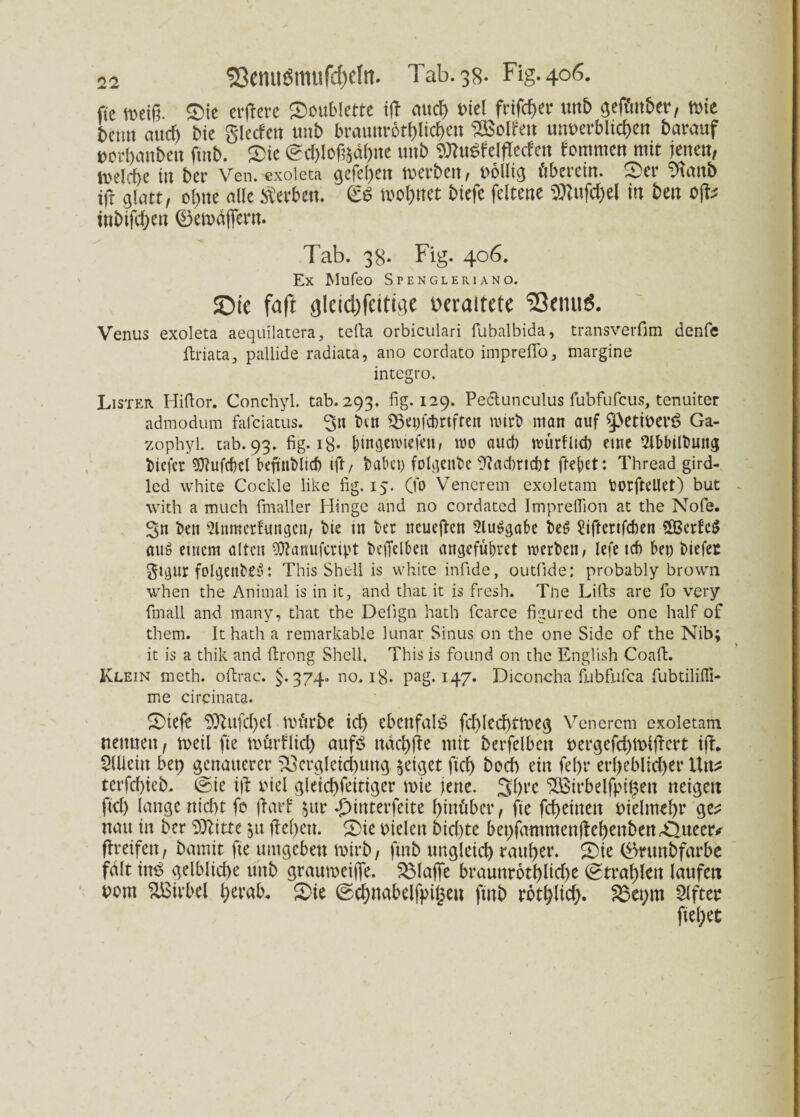 ftc meiß. Sie eifere Soublette ifl auch Diel frifcher wtb geffutber, mie Denn auch Me gletfen tmb braunrotf)ltc^eit SSSolfeu unterblieben barauf rorhanbeit fmb. Sie (Schloßfrdhne imb SRuSfelffecfett fommen mit jenen, welche in ber Ven. exoleta gefehen tverben, bollig überein. Ser Wemb ifr glatt, ohne alle Serben. & wohnet biefe feltene Sftufchel in ben oft? inbifd)en ®emdfiern. Tab. 38. Fig. 406. Ex Mufeo Spengleriano. Sie faft <)lcid}fcitii]e veraltete “Semid. Venus exoleta aequilatera, tefta orbiculari fubalbida, transverfim denfe ftriata, pallide radiatä, ano cordato impreffo, margine integro. Lister Hiflor. Conchyl. tab. 293. fig. 129. Pedunculus fubfufeus, tenuiter admodum fafeiatus. 3n tun SBepfcbnften mirb man auf ^3etioer£ Ga- zophyl. tab. 93. fig. ig. bingerotefett, mo aud) mürlitcb eine Slbbilbmig tiefer Sftufc&el bejtnblidj ift/ t>abci> folgettbc -ftflcbrtcbt freuet: Thread gird- led white Cockle like fig. 15. (fo Venerem exoletam borfteüet) but with a much fmaller Hinge and no cordated Impreflion at the Nofe. 3« ben 2lnmer!ungcn, bie in ber neueren 2lu£gaf>e beS Siftertfcben £Bedc$ au$ etiicm alten OTanufcript beffelbeit attgefübret werben, Iefe icf) bep biefet gigur folgenbeö: This Shell is white infide, outfide; probably brown when the Animal is in it, and that it is fresh. Tne Lilts are fo very fmall and many, that the Delign hath fcarce figured the one half of them. It hath a remarkable lunar Sinus on the one Side of the Nib; it is a thik and firong Shell. This is found on the English Coaft. Klein meth. oftrac. §.374. no. 18. pag. 147. Diconcha fubfufca fubtilifli- me circinata. Siefc -Sftufchd voürbe id) ebenfalls fd)lcd)tmeg Venerem exoletam neunen, meil fie mürflid) aufs ttdchfle mit berfeiben oergefd)tt>ijlcrt ifb Slliein bet) genauerer Vergleichung zeiget ftcf> hoch ein fel>r erheblicher Un? terfchieb. (sie ifi Diel gleichfeitiger mie jene. 3hre VBirbelfpipett neigen ftd) lange nicht fb jlart $ur £interfeite hinüber, fte fcheiiteu bielmehr ge^ nau in ber 9ttitte 51t flehen. Sie Dielen 6id)te bepfanmtenjlehenbenSlueer* greifen, bamit fie umgeben tnirb, fmb ungleich rauher. Sie ®nmbfarbe fdlt in3 gelbliche unb grauweiße. SMajfe braunrothlid)e (Strahlen laufen Dem Wirbel herab. Sie (Schnabelfpigeu ftnb rötl^ltcf>. 2$et)m Elfter