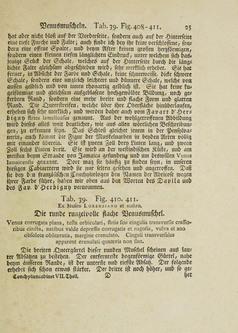 53cmi$mufcbcltt. Tab. 39. Fig. 408-411. ^5 bat aber bloß auf ber SÖorberfeite, fonberit aucf) auf ber £ütterfeite eine tiefe gurd)e unb gälte; auch ftnbe id) bet) ibr hint bcrfcbloffette, fons bent eine offene ©palte, unb beprn Elfter feinett großen herdförmigen, fottbern einen fleinen tiefen länglichen ©inbrud, unter melcbetn ftd) ba& fettige ©tücf ber ©cbale, meld)eS auf ber £>interfeite burd) bie längs liebte gälte gleicbfant abgefebieben mirb, fel)r merflid) erbebet, ©ie bat ferner, inSlbftcbt ber garbe unb ©cbale, feine febneemeiffe, biefe febtoere ©d)ale, fonbertt eine ungleich leichtere unb Muntere ©cbale, melcbe t>ott außen gelblid) unb oott imtett tbonartig gelblid) iß. ©ie bat feine fu* gelförmige unb gleicbfant aufgeblafene b°cbgemölbte Gilbung, noch ges ferbten $ianb, fottbern eine mehr breite unb flache gorm unb glatten $>\anb. ©ie £>tteerßreifen, toelcbe über ihre «Oberfläche bmüberlaufen, erbeben ftcb fef)r nterflid), unb voeroen baber aud) bom gabart b'ptxt bigttb ftries lamelleufes genannt. 2lu£ ber tooblgetroffenen Slbbilbung ibirb biefeö alles? roeit beutlicber, mie au£ allen mörtlicben 33efd)reibuns gen, $u erfennett fei>n- ©4$ ©d)loß gleichet jenem in ber $penft)lbas nerin, aud) förnmt bie gigur ber tötuöfelnarben in bepben Wirten bollig mit einanber tiberein. ©ie iß $meett goll brep Linien lang, unb $roeeu goll fecl)$ Einten breit, ©ie mirb an ber meßinbifd)en $tiße, unb am meißen beprn ©tranbe bott Santaica gefuttbettg unb um beMotllen Venus Iamaicenfis genannt. ©ort mag fte ^duftg $u ftnben fepn, in unferett bieftgen gCabinettern mirb fie nur feiten gefef>en mtb angetroffen. ©aß fte bet) b:n fran§6fifd)en (£ottd)pliologen bett kanten berSlbricofe megeu ihrer garbe föbre, haben mir oben am? ben Porten be$ ©auila unb be$ gab. b’-perbignp bernommen. Tab. 39. Fig. 410. 411. Ex Mufeo Lorenziano et notlro. ©ie ttuiDc runjelDoile flact>e SBenu$ttiufd)el. Venus corrugata plana, tefta orbiculari, ftriis feu cingulis transverfis craflio- ribus cintta, natibus valde depreflis corrugatis et rugofis, vulva et ano obfolete obliteratis, margine crenulato. Cinguli transverfales apparent crenulati quamvis non fint. ©te breiten Oueergörtcl biefer runben SDMcbel fdjetnen aus laus ter 2lbfähen $u beßeben. ©er entfernteße bogenförmige ©örtel, nahe bepm äußeren ^attbe, iß ber unterße unb tiefße 2lbfa§; ©er folgenbe erbebet ftcb fd)on etma$ ßärfer. ©er britte iß noch b%f/ unb fo ges