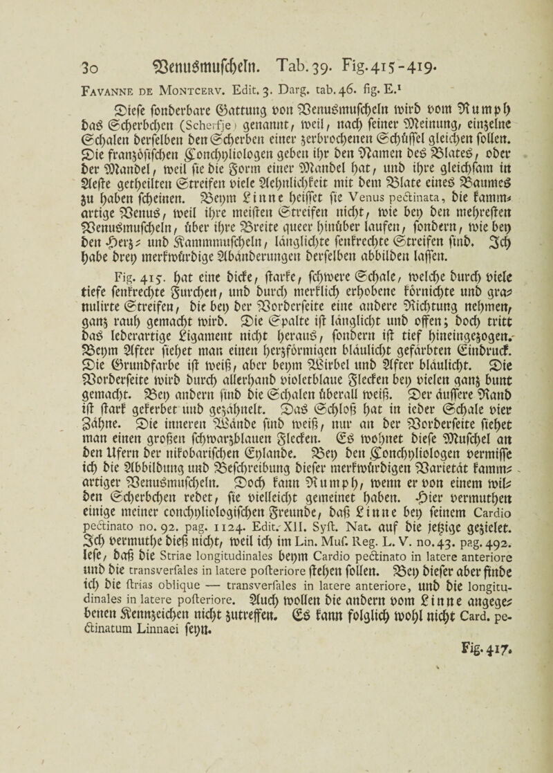 Favanne de Montcerv. Edit, 3. Darg. tab.46. fig. E.1 ©tefe fonberbare (Gattung t>ott $ßenu£mufcheln mirb Pom ^umpl) ba6 Scherbd)en (Scherfje» genannt, meil, ttad) feiner Meinung, einzelne @cf>alen berfelbett ben Scherbett einer ^erbrochenen Sd)üßel gleichen follen. ©ie fran^oftfchen gonchpliologett geben ihr ben tarnen be£ S5lateS, ober ber Pftattbel, meil fte bie Sonn einer Sttanbel hat, unb ihre gleichfam itt Sleße geteilten Streifen Piele 2lehnlid)feit mit bem SBlate eineö Raumes $u haben fcheinen. Söeptn £iittte hoffet fte Venus peclinata, bie famm* artige &>ettug, meil ihre meinen Streifen nicht, mie bet) ben mehreren fÖemtgmufcheln, über ihre Breite queer hinüber laufen, fonbern, mie bet) bett *£>erd* unb ^ammmttfcheln, länglichte fenfred)te (Streifen ftnb. Sd) habe bret) merfmürbige £lbänberungen berfelben abbilben laßen. Fig. 413. hat eine bicfe, jfarfe, fehlere (Schale, melche bttrcf> piele tiefe fenfred)te gurchen, unb burd) ttterflid) erhobene fornichte unb gra? mtlirte (Streifen, bie bet) ber SSorberfeite eine anbere $iid)tung nehmen, gand rauh gemacht mirb. ©ie Spalte ift ldnglid)t unb offen; hoch tritt ba$ leberartige Ligament nid)t h^tauS, fonbern ij! tief hineinge$ogen.' 2$et)tn Elfter ftehet man einen herdförmigen b!aulid)t gefärbten Sittbrucf. ©ie 0runbfarbe iß meiß, aber beptn Wirbel unb Elfter bläulicht, ©ie fÖorberfeite mirb burch aüerhattb oioletblaue Sieden bet) vielen gand bunt gemad)t. 33et) anbertt futb bie Schalen überall meiß. ©er duffere 9?attb iß ffarf geferbet unb gedähttelt. ©a$ Schloß hat in ieber Schale vier gähne, ©ie inneren 2£änbe ftnb me iß, nur an ber £3orberfeite ftehet man einen großen fcßmardblatten glecfen. S3 mohttet biefe 9ftufd)el an ben Ufern ber ttifobarifd)en Stßanbe. $3et) ben goncßpliologen permifife ich bie Slbbilbttttg unb 2$efd)reibung biefer merfrnürbigett Varietät famrn^ . artiger S3enu3mufd)eln. ©och fann Sftuntph/ menn erpon einem miL ben Scherbd)ett rebet, fte pielleid)t gemeinet haben. -g)ter permutheu einige meiner cond)t)liologifchen greunbe, baß £inne bet) feinem Cardio peclinato no. 92. pag. 1124. Edit.'xii. Sylt. Nat. auf bie jeldige gedielet. Sch Permuthe bieß nicht, meil ich im Lin. Muf. Reg. L. V. no.43. pag. 492. lefe, baß bie Striae longitudinales bet)tU Cardio peclinato in latere anteriore unb bie transverfaies in latere pofteriore ßeßett follen. £3et) biefer aber ßttbe td) bie ftrias oblique — transverfales in latere anteriore, Uttb bie longitu¬ dinales in latere pofteriore. £(ud) mollett bie anbem pom 2 i n n e attgege^ betten $enndeid)ett nicht dutrejfen. <E$ famt folglich ipohl nicht Card, pe- dinatum Linnaei fet)tt. Fig. 417.