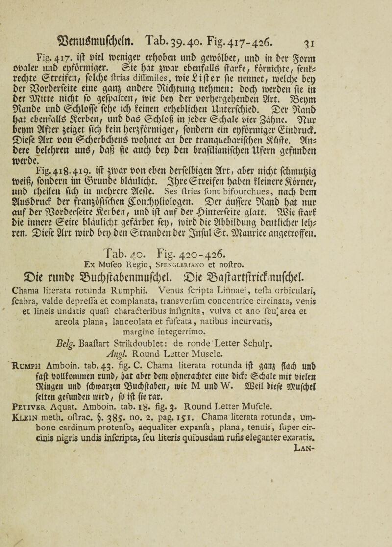 Fig. 417. iff biel weniger erhoben mtb gewolbet, unb in 5cr gorro c*i>aler un5 eiförmiger, ©ie hat dwar ebenfalls ftarfe, fornid)te, fenf* rechte ©treifen, feicf>c ftrias diffimiles, wie Ziffer fte nennet, n>eld)e bep 5er föorberfeite eine gand anbere Dichtung nehmen: bod) werben fte in 5er Witte nicht fo gefpaltctt, wie bep ber t>ori)ergei>enben 2lrt. $3et;m SHanbe unb ©chloffe fci)t icf> feinen erheblichen Unterfdhieb. 2>er 9\anb hat ebenfalls Serben, nnb baS ©chloh in jeber ©cf>ale Pier gähne, 9?ur bet;m Elfter zeiget ftd) fein herdförmiger, fonbern ein epfbrmiger ©inbrucf. SDiefe 2(rt t>on ©cherbchettS wohnet an ber tranguebarifchen Stifte. 2ln? 5ere belehren mtS, bah fte auch bt\) ben brafilianifchen Ufern gefunben Werbe. Fig.418.419. iff d^ar pon eben berfelbigen 5(rt; aber nicht fcbmugig weif, fonbern im 0runbe bldulid)t. 3hre ©treifen haben fleinere Corner, unb theilen fich in mehrere 2lefie. Ses ftries font bifourchues, nach bent 2luSbrucf ber frandoftfdten gwncbpliologen. SDer duffere ^anb hat nur auf ber 33orberfeite Serben, unb ifl auf ber ^)interfeite glatt. $8ie ffarf bie innere ©eite bldulid)t gefarbet fet;, wirb bie Slbbilbung betulicher lei)* ren. Siefe 2lrt wirb bei; ben ©tranben ber 3nful@t. Waurice angetroffen. Tab. 40. Fig. 420-426. Ex Mufeo Regio, Spengleriano et noftro. ©ie nmbc S5uc&ftabemmifd;el. ©te 55affartftricfmufd)e!. Chama literata rotunda Rumphii. Venus fcripta Liiinaei, tefta orbiculari, fcabra, valde deprefla et complanata, transverfim concentrice circinata, venis et lineis undatis quafi charadteribus infignita, vulva et ano feu^area et areola plana, lanceolata et fufcata, natibus incurvatis, margine integerrimo. Belg, Baaftart Strikdoublet: de ronde' Letter Schulp. Angl, Round Letter Muscle. Rumph Amboin. tab. 43. fig. C. Chama literata rotunda ijt gaitj fladj Unb fajl boüfommen runb, bat aber t>em obneracbtet eine bicfe ©cbale mit btelett Gingen unb fcbroarjen 33ucbftaben, roie M unb W. SOBeil btefe OTufchcl feiten gefunben wirb, fo ift fte rar. Petiver Aquat. Amboin. tab. 18. fig. 3. Round Letter Mufcle. Klein meth. ofirac. §. 385. no. 2. pag. 151. Chama literata rotunda, um- bone cardinum protenfo, aequaliter expanfa, plana, tenuis, fuper cir- ciuis nigris undis infcripta, feu literis quibusdam rufis eleganter exaratis. Lan- 1