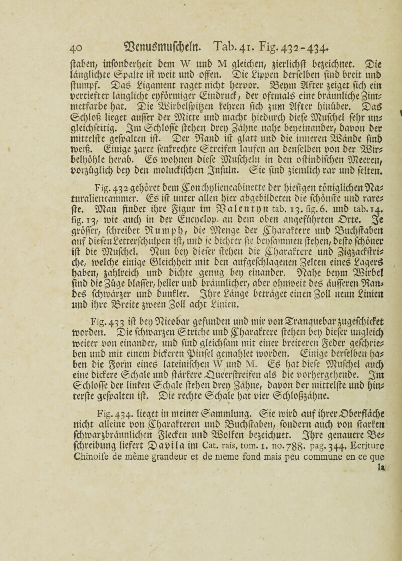 ffabett/ infonberbeit bem W unb M c^letcf;en, $ierlid)ff be§etcf>net. ©ie iänglid)te Spalte iff mcit unb offen. ©ie £ippen betreiben ftnb breit unb ffttntpf. ©a$ Ligament raget itid)t hervor. 83epm Elfter geiget ftd) ein vertiefter länglicf>t eiförmiger Sinbrucf/ ber oftmals eine bräunliche gint; ntetfarbe hat. ©ie SÖStrbelfpihen feeren fid) §um Elfter hinüber. ©aS Schloff lieget auffer ber Sftitte unb mad)t hieburd) biefe 9ttufd)el fel)r mv gleichfeitig. 3m Sd)leffe ffebett bret; gähne nahe bepeittanber, bauen ber mittelffe gefpalten iff. ©er $tanb iff glatt unb bie inneren äßänbe ftnb toetff. Einige §arte fenfred)te «Streifen laufen an benfelben von ber Höir^ beihöhle herab. (££ mobnett biefe SOtufc&eln in bett offinbifdjen Leeren, vorsüglid) bei; ben moludifdjen 3nfuln. Sie ftnb ^ientlid) rar unb feiten. Fig. 432gehöret bem (£ond)pliencabmette ber hiepgeit töniglicheu^a^ turaliencammer. & iff unter allen hier abgebilbeten bie fd)önffe mtb rare? ffe. 9ftatt ftnbet ihre gigur im ^ßalentpit tab. 13. fig.6. unb tab. 14. fig. 13, mie aud) in ber (gncpclop. an bem oben angeführten ©rte. 3e gröffer, fd)reibet Sftumpbr bie Sftenge ber g'ffaraftere unb S3ttcbffabett auf biefen£etterfd)itlpen iff/ unb je bid>ter ffe bepfammen ffef>en, beffo febötter iff bie 9ftttfd)el. 2Run bet; biefer ffehett bie «£baraftere unb gig&acfffri* d)e, melcffe einige ÖMeicbb'eit mit ben aufgefdffagencn gelten eines £ager$ haben/ zahlreich unb bicf;te genug bet; einanber. 9?abe bepm Wirbel ftnb bie güge blaffet; heller unb bräunlicher/ aber ohnmeit be£ dufferen SRan* be^ febmär^er unb bunfler. 3bre &foge betraget einen goß neun £inien unb ihre Breite §meen goß acht £inien. Fig. 43 3 iff bep^Ricobar gefunben unb miruon©ranguebar^ugefd)idet morbert. ©ie fdtmar^en Striche unb $haraftere ffel)en bep biefer ungleich meitcr von einanber, unb ffttb gleichem mit einer breiteren gebet4 gefebrie? ben unb mit einem bieferen spinfei gemahlet morben. Sittige berfelbett ha? ben bie gorm eines latcintfcf>en W unb M. & hat biefe 9Rufd)el and) eine bicFere Schale unb ftätfere Äue'erffreifen als bie vorbergebenbe. 3m Sd)loffe ber littfen Schale ff eben brep gähne/ bavon ber mittelffe unb l;w* terffe gefpalten iff. ©ie rechte Sd)ale hat Pier Sd)loff$äbtte. Fig. 434. lieget in meiner Sammlung. Sic mirb auf ihrer £)berfläd)e uid)t alleine von Sharafterett unb ^3ttd;ffaben/ foitbertt and) von Rarfett fd)mar^bräunlichen gledeit unb Rolfen be^eid)uet. 3hre genauere 23e? fchreibung liefert ©avila im Cat. rais. tom. 1. no.788. pag.344. Ecriture Chinoife de meme grandeur et de meme fond mais peu commune en ce que