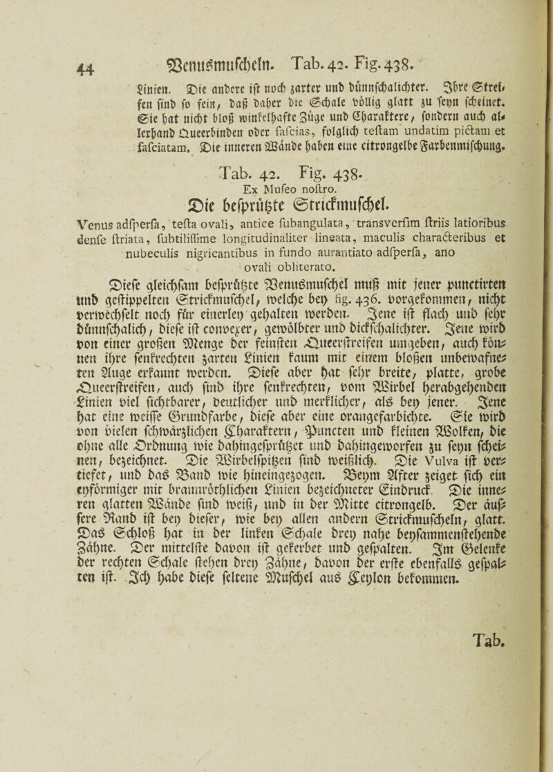 Sinicit. SDtc andere tft noch sartcr unb bümtfc&ölic&ter. 35« (Streb fen fi'nb fo fein, t>aß Da^er bic Schale bollig glatt zu Tcpit feinet, ©te 5at ntebt bioü wittfcl^afte güge uni) eijöraftere, fonbet» aud) ab Ier^anb aueerbittbe» ober fafeias, folglich teftam undatim pictam et fafeiatam. £>ie inneren 2Bdnbe haben eine citrongelbe garhenmifebung. Tab. 42. Fig. 438. Ex Mufeo noilro. £>ic bcipn'iipfe 0mcfimifd)el. Venus adfperfa, tefta ovali, antice fubangulata, transverfim ftriis latioribus denfe ftriata, fubtiliflime longitudinaliter lineata, maculis chara&eribus et nubeculis nigricantibus in fundo aurantiato adfperfa, ano ovali obliterato, £tefe gleichfant befprfi£te ^Senugmufchel muß mit jener punctirten ttttb getippelten (Stricfmufchel; melche bet) fig. 436. oorgefontmen; ntef>t uermechfelt nod) für einerlei) gehalten werben. Seite it find) unb feßr t>fntnfcf)alicf>, biefe it conoe^er; gewölbter unb bicffd)alicf)ter. 3tene tt>it& oon einer großen Stenge ber feinten «Oiteertreifen umgeben f and) Uw neu il>re fenfrecßteit garten £inien faum mit einem bloßen unbemafne* ten 2luge erfannt werben. 5)iefe aber f>at fel)r breite; platte, grobe 4Sueerjfreifen, and) ftitb if>re fcnfred)ten; tont Wirbel herabgehenben £inien t)iel ftcbtbarer, Deutlicher unb merflid)er; al£ bet> jener. Stue hat eine weiße ©runbfarbe/ biefe aber eine orangefarbige. (Sie wirb oon Dielen fcbwarzltd)en gdiaraftern, 9)uncten unb fleinen Rolfen; bie ol)ne alle £)rbnung wie bahingefprülzet unb baßingemorfen zu fepn fd)d* neu, bezeichnet. SDie ^Birbelfpigett fmb weißlich. S)ie Vulva it oer* tiefet; unb baß 35anb wie hineingezogen. SÖepm Elfter zeiget ftd) ein eiförmiger mit braunrotljlichen £inien bezeid)neter (ginbruef £>ie iitne^ ren glatten SBänbe fmb weiß; unb in ber 9ftitte citrongelb. 5)er duj> fere %mb it bet) btefer; wie bet) allen anbern (Stricfmufdjeln; glatt. 5Da£ Schloß hat in ber linfen @cf>ale brep nahe bepfammentehenbe Sdßne. 2)er mittelte baoott it geferbet unb gefpalten. (Belenfe ber rechten (Schale tehen brep gähne, bauen ber erte ebenfalls gefpafc ten it- Sei) habe biefe feltene 9)Zufd)el auß gdplon bekommen. Tab.