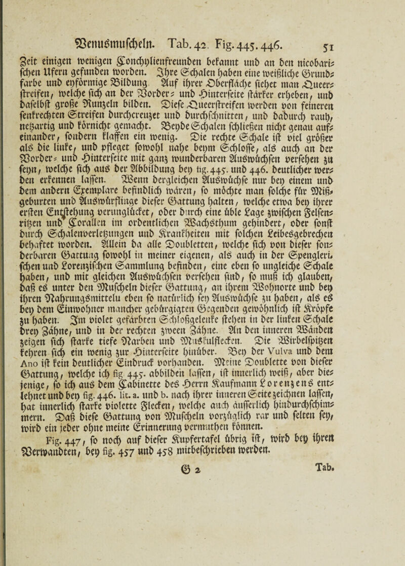 Seit einigen wenigen gottcgplienfreunben befannt uttb an bett tticobart* fd)en Ufern gefunden worben. S^re @cf)alen f)aben eine weiglicge (örunb* färbe unb er)förmige Gilbung 2lttf tf>rer Oberfläche fielet man ^Oueer^ greifen/ welche fid) an ber Korber* unb £mterfeite fldrfer ergeben, unb bafelbfr groge 9iun$eln bilben. Oiefe £>tteerfrreifen werben pott feineren fenfrechtcn (Streifen burd)creu£et unb 5urd>fd>nttten, unb batmreg raub, neuartig unb fornicht gemacht, föe^be (Schalen fcbliegett nicht genau auf* eittattber, fonbern Haffen ein wenig. Oie rechte (Schale ifr Piel gröger ah? bie littfe, unb pfleget fowol)l nahe bet)tn (Schlöffe, aß auch an ber Korber* unb *J)interfeite mit gan& wunberbareu 2luSwücgfen perfegett $u fet)n, welche ftcgjtug ber 5lbbilbuttg bet) tig. 445. unb 446. beutlicger wer* bett ernennen lagen. 2£ettn bergleichen 2luSwücgfe nur bet) einem unb bem anbern (Epemplare befrnblicg wären, fo möchte man folcge für 9)tig* gebürten unb $lttgmürfliage biefer (Gattung halten, welche etwa bet) ihrer erfreu (Entstehung pentttglüdet, ober bureb eine üble £age jwifchen Seifen* rigett uttb gCorallen im orbentlichen $ßad)3tf)um gegittbert, ober fonfr burch ©djalettoerlegmtgen uttb Trautheiten mit folcgen £eibe£gebrechett 6ef)aftet worben. Allein ba alle Ooubletten, welche ftd) Pott biefer fott* berbaren (Gattung fowogl in meiner eigenen, als auch in ber ©pengleri. fchen unb £oreit$ifcben (Sammlung beftnbett, eine eben fo ungleiche (Schale haben, unb mit gleichen 2lu3wüd)fett perfehen ftttb, fo mug ich glauben, bag eg unter bett 9)tufcheln biefer (Gattung, an ihrem Wohnorte unb heg ihren ‘Sfrabrunggmittelu eben fo natürlich fet) 2lugwüd)fe $u haben, alg eg bet) bem (Einwohner mancher gebürgigtett ©egettben gewöhnlich ifr Tröpfe $u haben. 3m Piolet gefärbten (Schloggelettfe (fegen in ber linfett ©egale bret) gähne, unb in ber rechten $meett 3df>ne. 2ln bett inneren HBänben geigen ftd) fratde tiefe Farben unb 3)tu$!ulfleden. Oie 2öirbelfpi($en legren ftd) ein wenig $ttr *£)interfeite hinüber. 33et) ber Vulva unb bem Ano ifr fein beutlid)er (Einbruch porbattbett. Steine Ooublette Pott biefer ©atttutg, welche id) fig 445- ubbilbeit laffen, ifr innerlich weig, aber bie* jenige, fo ich au$ bem Kabinette be$ <E>ernt Taufmattn £oren§ett^ ent* iegnetttnbbet) fig. 446. lit.a. unb b. nach igrer inneren ©eite ^eiegnen laffen, gat innerlich frarfe Piolette Sieden, welche auch ättfferlicg hinburd)fcgim* mertt. Oag biefe (Gattung pon ^ufcgeln por&üglid) rar unb feltett fet;, wirb eitt jeber ogtte meine (Erinnerung permutgen fömten. Fig. 447, fo noch auf biefer Tupfertafel übrig ifr, Wirb beg ihren SQerwattbten, beb fig* 457 «nb 458 ntitbefd)rieben werben. © 2