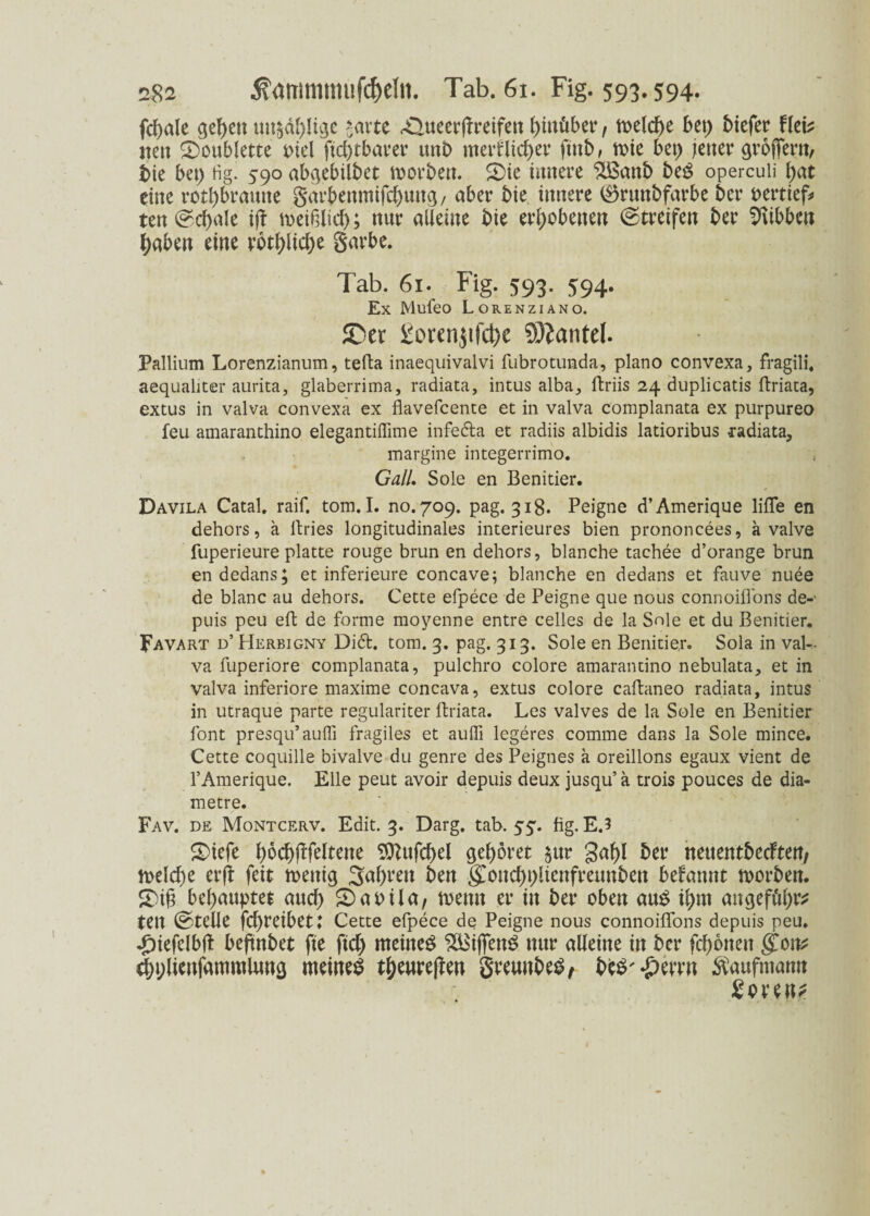£82 5\<mimmufd)eltt. Tab. 61. Fig. 593.594. fc-ale qe-en *avte Äueerflreifeit hinüber f ft>eld)e bet) biefer Heb nett 2)oublette otel fic-tbarer imt> merf lic-er fttib, votc bet) jener großem, bie bet) Hg. 590 ab^cbtlbct rnorbeu. £>ie innere $Banb beS operculi -at eine rotl)brmute garbenmifc-uuq/ aber bie innere $runbfarbe ber vertief» ten^c-ale ijf toeiffttd); nur alleine bie erhobenen ©treifen ber Hibben -aben eine röt-ltc-e garbe. Tab. 61. Fig. 593. 594. Ex Mufeo Lorenziano. ©er Üoren$ifd)e 9)iantel. Pallium Lorenzianum, tefta inaequivalvi fubrotunda, plano convexa, fragili, aequaliter aurita, glaberrima, radiata, intus alba, ftriis 24 duplicatis ftriata, extus in valva convexa ex flavefcente et in valva complanata ex purpureo feu amaranthino elegantiiTnne infedta et radiis albidis latioribus radiata, margine integerrimo. Gail, Sole en Benitier. Davila Catal. raif. tom. I. no. 709. pag. 318. Peigne d’Amerique lifTe en dehors, ä ftries longitudinales interieures bien prononcees, a valve fuperieure platte rouge brun en dehors, blanche tachee d’orange brun endedans; et inferieure concave; blanche en dedans et fauve nuee de blanc au dehors. Cette efpece de Peigne que nous connoillons de-' puis peu eft de forme moyenne entre celles de la Sole et du Benitier. Favart d’ Herbigny Didt. tom. 3. pag. 313. Sole en Benitier. Sola in val¬ va fuperiore complanata, pulchro colore amarantino nebulata, et in valva inferiore maxime concava, extus colore caftaneo radiata, intus in utraque parte regulariter ftriata. Les valves de la Sole en Benitier font presqu’auffi fragiles et aulfi legeres comme dans la Sole mince. Cette coquille bivalve du genre des Peignes a oreillons egaux vient de l’Amerique. Elle peut avoir depuis deux jusqu’ a trois pouces de dia- metre. Fav. de Montcerv. Edit. 3. Darg. tab. 55. fig. E.3 SMefe -oc-fifeltette ^ufc-el gehöret $ur ga-l ber nettentbecften, toelc-e erfl feit toettiq 3a-ren ben gCone-plienfreunben begannt toorben. S)iß behauptet aud) £>aoila, voemt er in ber oben au$ i-m angefü-r* tett ©teile fc-reibett Cette efpece de Peigne nous connoiftons depuis peu. ^iefelbd befinbet fte ftd) meineg ^Bijfeng nur alleine in ber fc-onen $0w c-plieufammUwg meinet t-enrepen greuubeg, beg'£erm Kaufmann Sovens