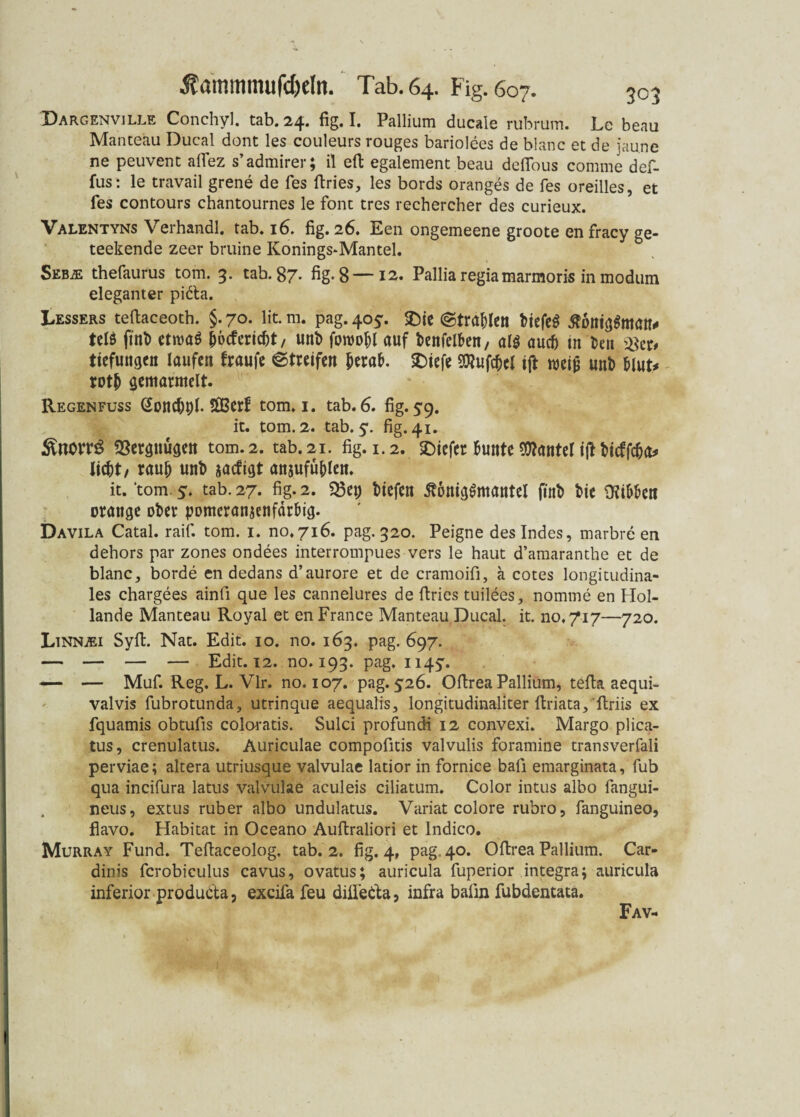 Dargenville Conchyl. tab. 24. fig. I. Pallium ducaie rubrum. Le beau Manteau Ducal dont les couleurs rouges bariolees de blanc et de jaune ne peuvent aiTez s’admirer; il eft egalement beau defious comrne def- fus*. le travail grene de fes ftries, les bords oranges de fes oreilles, et fes contours chantournes le font tres rechercher des curieux. Valentyns Verhandl. tab. 16. fig. 26. Een ongemeene groote en fracy ge- teekende zeer bruine Konings* Mantel. Sebal thefaurus tom. 3. tab. 87- fig. 8—12. Palliaregiamarmoris in modum eleganter pid'ta. Lessers teftaceoth. §.70. litm. pag.405. SDic ©tragen tiefes ßöntggman* telö fmt> cttvaö jjocferidfi, unt foroo^l auf t>enfelben/ als aucfj tu fcen mu tiefungen laufe« fraufe ©treifen beraL SDiefe Sttufcbcf ift mi$ unb biuU rot& gemarmelt. Regenfuss Goncbpl. SÜBcrf tom. i. tab. 6. fig. 59. it. tom. 2. tab. y. fig. 41. Änorr£ Vergnügen tom.2. tab.21. fig. 1.2. SDtefcr tunte9ftantelijfbicffc&a* Iid^t/ rauf) unt) aaefigt anjufü&Ien. it. 'tom. y. tab. 27. fig. 2. 33et) tiefen ßonigSmantel jinb tie ütibten orange ober pomcranjenfdr&ig. Davila Catal. raif. tom. 1. no.7i6. pag. 320. Peigne des Indes, marbre en dehors par zones ondees interrompues vers le haut d’amaranthe et de blanc, borde en dedans d’aurore et de cramoifi, a cotes longitudina¬ les chargees ainfi que les cannelures de firies tuilees, nomme en Hol¬ lande Manteau Royal et en France Manteau Ducal. it. no.717—720. Linnjei Sylt. Nat. Edit. 10. no. 163. pag. 697. — — — — Edit. 12. no. 193. pag. ii4y. — — Muf. Reg. L. Vir. no. 107. pag. y26. Ofirea Pallium, tefia aequi- valvis fubrotunda, utrinque aequalis, longitudinaliter firiata, ftriis ex fquamis obtufis coloratis. Sulci profundi 12 convexi. Margo plica- tus, crenulatus. Auriculae compofitis valvulis foramine transverfali perviae; altera utriusque valvulae latior in fornice bafi emarginata, fub qua incifura latus valvulae aculeis ciliatum. Color intus albo fangui- neus, extus ruber albo undulatus. Variat colore rubro, fanguineo, flavo. Habitat in Oceano Auftraliori et Indico. Murray Fund. Tefiaceolog. tab. 2. fig. 4, pag. 40. Ofirea Pallium. Car- dinis fcrobiculus cavus, ovatus; auricula fuperior integra; auricula inferior produdta, excifa feu difiedta, infra bafin fubdentata. Fav-