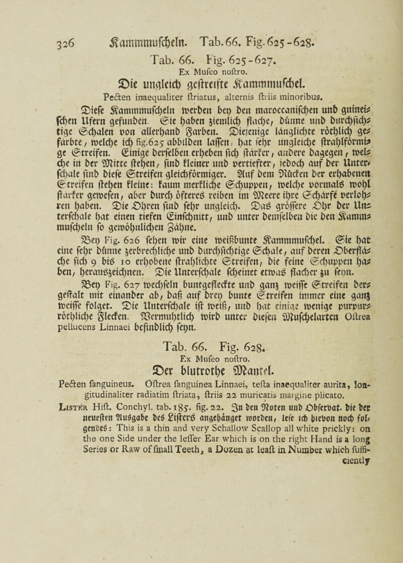 Tab. 66. Fig. 625-627. Ex Mufco noftro. ©ie unflkid) gcflreiftc Äammmufcbcl. Pe&en inaequaliter ftriatus, alternis ftriis minoribus. £>iefe $ammmufd)eln merben bep beit maroccattifchen unb gutnet* fcflen Ufern gefunben. (Sie haben ziemlich flact>e, bflmte unb bnrchftd)* tige (Schalen von allerhanb garbett. ^Diejenige langlichte röthlich ge* färbte, melche id) fig.625 abbtlben laffen, hat fri)r uttgleid)e flrahlförmb ge Streifen. (Einige berfelbett ergeben ftd) fldrfer, anbere bagegen, mel* d)e tn bcr Witte flehen, ftnb kleiner unb vertiefter, ieboch auf ber Unter# fchale ftnb biefe (Streifen gleichförmiger. Slitf bem blöden ber erhabenen (Streifen flehen Heine: faum merHicfle (Schuppen, meld)e vormals moht flarfer gemejen, aber burd) öfteres reiben im 93?eere ihre (Schärfe verleg ren höben. 2>ie 43hren ftnb fehr ungleid). 5)aS gröffere £)hr ber Uns terfchale hat einen tiefen (Einfcpnitt, unb unter bemfelben btc ben Datums mufcheln fo gemöhulid)eu Sdptte. S3et) Fig. 626 fehen mir eine meißbunte ^ammmufcpel. (Sie hat eine fehr bftmte zerbrechliche unb burdfl'tchtige (Schale, auf bereu £)berflä* d)e fleh 9 bis 10 erhobene flraplidite (Streifen, bie feine (Schuppen pa* ben, perauSzeid)nen. S)ie Unterfd)ale fcheinet etmaS flacher zu fet>n. S53et> Fig. 627 mecpfeln buntgefledte unb ganz meiffe (Streifen ber* geftalt mit einanber ab, baß auf bret) bunte (Streifen immer eine ganz meifle folget. 2)ie Uttterfchale ifl me$, unb hat einige menige purpur* rötl)lid)e gleden. $3crmuhtlich mirb unter biefen s$?ufcpelarten Oftrea pellucens Linnaei beftnblich fet)U. Tab. 66. Fig. 628* Ex Mufeo noftro. ©tt blutrote SEkantd. Pe&en fanguineus. Oftrea fanguinea Linnaei, tefta inaequaliter aurita, Ion* gitudinaliter radiatim ftriata, ftriis 22 muricatis margine plicato. Listkr Hift. Conchyl. tab. 185. fig. 22. 3« ben 9?oten unb Obferbat. bie ber neueflen 5luSgabc be$ £iflerS ansebanget worben, leie teb btebon noch foU gen'CCö: This is a thin and very Schallow Scailop all white prickly: on the one Side under the lefler Ear Avhich is on the right Hand is a long Series or Raw offmall Teetha a Dozen at leaft in Number which fuffi- ciencly