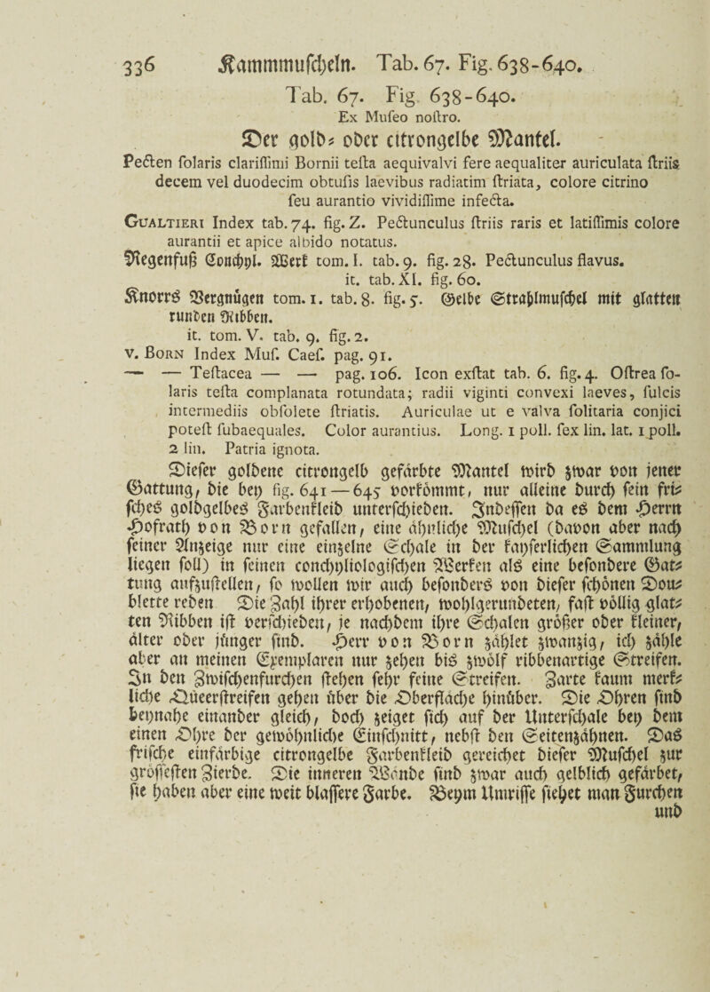 7'ab. 67. Fig, 638-640. Ex Mufeo noftro. JDcr <joIt>s ober cttvomjelbe Sftantef. Pedten folaris clariflimi Bornii tefta aequivalvi fere aequaliter auriculata ftriis decem vel duodecim obtufis laevibus radiatim ftriata, colore citrino feu aurantio vividiflime infeefta. Güaltieri Index tab. 74. fig. Z. Pe&unculus ftriis raris et latiflimis colore aurantii et apice albido notatus. fftegenfuß Goncbpl. Sßßerl tom. I. tab. 9. fig. 2g. Pe&unculus flavus. it. tab. XI. fig. 60. ÄnorrS SSergtiügett tom. 1. tab. g. fig. 5. (Selbe (Stra&lmufcbel mit glatte» runt-en ?Mf>en. it. tom. V. tab. 9. fig. 2. v. Born Index Muf. Caef. pag. 91. — — Teftacea — — pag. 106. Icon exftat tab. 6. fig. 4. Oftrea fo- laris tefta complanata rotundata; radii viginti convexi laeves, fulcis intermediis obfolete ftriatis. Auriculae ut e valva folitaria conjici poteft fubaequales. Color aurandus. Long. 1 poll. fex lin. lat. 1 poll. 2 lin. Patria ignota. tiefer golbette citrongelb gefärbte Hantel mirb $mar t>ott jener ©attung, bie bet; fig. 641 — 645- uorfommt, nur alleine burd) fein fri* fd)t$ golbgelbeS gavbeufleib unterfd)ieben. Snbeffett t>a e$ bem ^)errn Refrath t>on $$orn gefallen, eine dl;nlid;e <D3hffd)el (bauen aber nach feiner Steige nur eine einzelne (Schale in ber fat;ferlid>en (Sammlung liegen foü) in feinen cond)t;lioIogifd)cn Werfen al$ eine befonbere ©afc? tung anftuftellen, fo mellen mir and; befenben? uett biefer febotten Oott* blette reben Oie gabl ihrer erbebenen, moblgerttnbeten, fajl uollig glafc; ten Hibben iff uerfdfieben, je nad)bem ihre (Schalen großer ober deiner, alter ober jünger ftnb. 4E>err £3orn gablet ^man&ig, id) §dl>le aber an meinen €yemplaren nur $ebett bis &m6lf ribbenartige Streifen. Sn ben gmtfd)enfurd;en flehen febr feine (Streifen, garte faum merfc liebe Olüeerffreifen geben über bie Oberflad)e hinüber, Oie Obren ftnb bepnaße einanber gleich, bod) geiget ficb auf ber Unterfd)ale bet> bent einen .Obre ber gemebnlidie (£infd)nttt, ttcbff ben (Setten&dbnen. OaS frifebe einfarbige citrengelbe garbenfleib gereichet biefer $)}ufd)el $ur groffeffen gierbe. Oie inneren ^Brnbe finb $mar auch gelblich gefdrbet, fte haben aber eine mett blajfere garbe. SSepm Umriffe flehet man gurrben