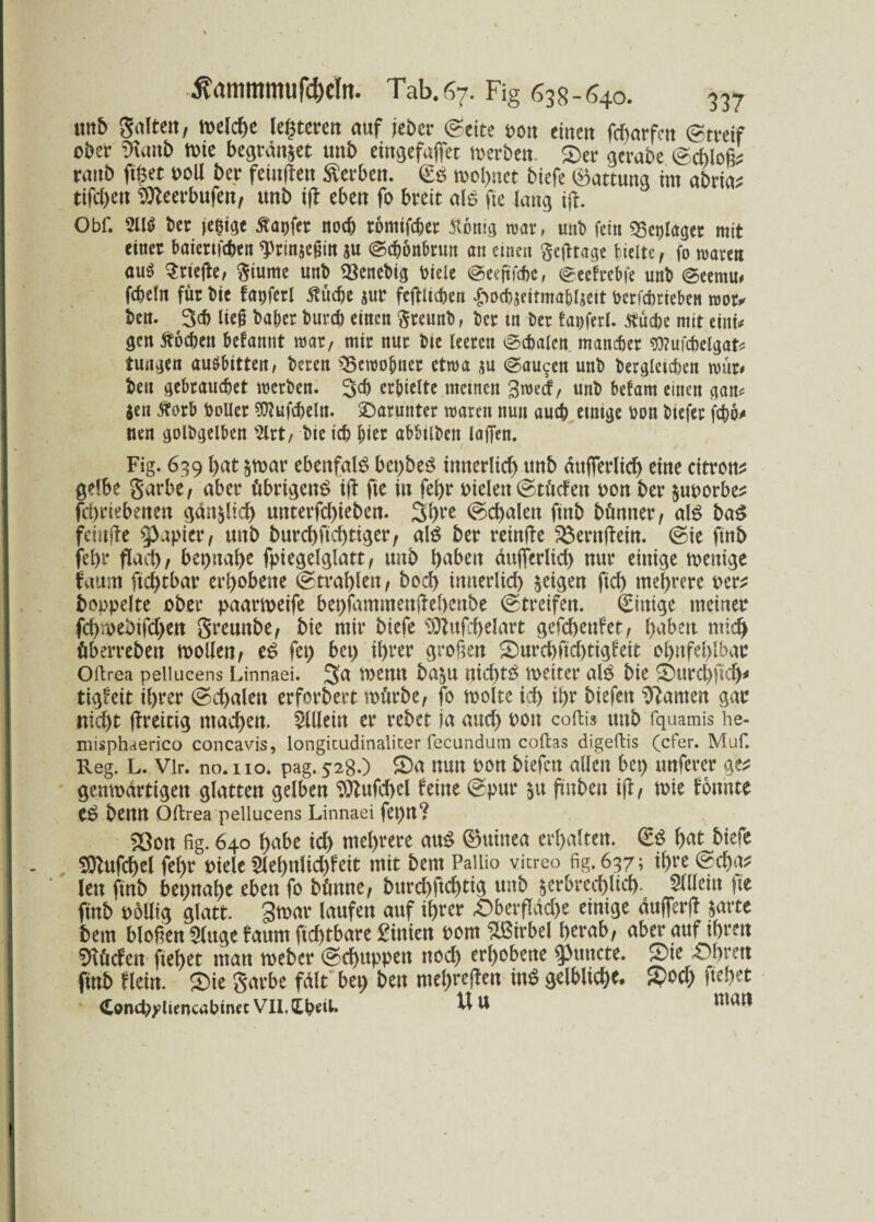 unb Saltert; melche Unteren auf jeber ©eite sott einen fdjarfen ©tretf ober Vianb toie begrabet unb eingefaßt Serben. 2)er gerabe ©cfolcßi raub filzet poll ber feinjlen Serben. (£ß moi>net biefe Gattung im abria* tifeben 9tteerbufen, unb i)f eben fo breit als fte lang ift. Obf. 211$ ber ledige Äapfer noch romifeber ftottig mar, unb fein plaget mit einer baienfeben f rinje^in ju (Scbotthrmt an einen gefttage hielte, fo mären auö triefte, giume unb 23enebig biele ©eejtfdm, ©eefrebfe unb ©eemu# fcbeln für bie fapferl ßücbe jur feftlic&en £ocbjetfma&ljeit berfebrieben mor* bcn. 3<b lieft baber bureb einen greunb, ber tn ber fa^ferl. fluche mit eint* gen floebett begannt mar, mir nur Die leeren (Schalen, mancher 90?ufcbetgat* tunken auöbitten, beren 33emo&tier etwa $u (Saugen unb berglctcben mür* beu gebrauchet merben. 3$ erhielte meinen %mä, unb befarn einen gan* $en florb Poller ^ufcbeln. darunter mären nun auch erntge bon biefer febo* tten goldgelben 2lrt, bie icb hier abbilben lafien, Fig. 639 l)at zrnar ebenfalls bepbeS unterlief) unb dufferlid) eine citron* gelbe garbe, aber übrigen^ ijt fie in fef>r Pielett (Stücfett non ber zuporbe* fepriebenen gänfclicf) mtterfchieben. 3hte ©egalen finb bümter, al£ baS feütjle Rapier, unb burebfieptiger, aß ber reinfte 33ernfhin. (Sie ftnb jepr fl ad), bet>uaf>e fpiegelglatt, unb haben dujferlicf) nur einige mettige iraum ftd)tbar erhobene ©traf>len, boep innerlid) geigen fiep mehrere per* hoppelte ober paarmeife bepfamntenftepenbe (Streifen. Einige meiner fcpmebifdjen greunbe, bie mir biefe ^ttufcpelart gefebenfetf haben mich überreben mollen, e$ fep bei) ihrer großen Smrcpficptigfeit ohnfehlbar Oltrea peliucens Linnaei. 3a menn bazu nichts weiter al$ bie ©ttrcpftd)* tigfeit ihrer ©d>aleu erforbert mürbe, fo molte ich ihr biefeit tarnen gar nid)t jtreirig machen. Allein er rebet ja and) pon coftis unb fquamis he- misphaerico concavis, longitudinaliter fecundum coftas digeftis (efer. Muf. Reg. L. Vir. no. 110. pag. 528.) 5)a nun pon biefett allen bep uttferer ge* gemoartigen glatten gelben ^ufchel feine (Spur ju ftubeit ijf, toie fonnte betttt Oltrea peliucens Linnaei feptt? 53on fig. 640 habe id) mehrere auS Guinea erhalten. <£$ hat biefe SDtufcpel fepr piele 2lepttlid)feit mit bern Pailio vicreo fig. 637; ihre (Scha* len finb bepnapc eben fo bfmne, burd)ftdf>tig unb zerbrechlich. Allein |te ftnb p6llig glatt. 3mar laufen auf ihrer £>berfläd)e einige dufferjt zarte bem bloßen Sfuge faum fidttbare £inien Pom Wirbel herab, aber auf ihren SKMen fiehet man rneber (Schuppen noch erhobene 3>uncte. $te: £pren finb flein. ®ie garbe fdlt bep ben mehreren in^ gelbliche. S?od) liehet Conchyliencabtnec Vll.dbeil.