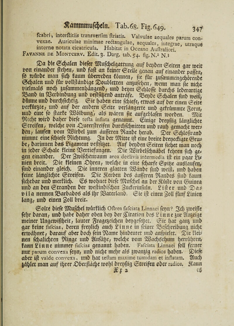 $ammmufcf>eln. Tab. 6s. Fig.s49. 347- fcabri, interfticiis transverlim ftriatis. Valvulae aequales parum con- vexae. Aunculae minimae rechngulae, aequales, integrae. utraque interne notata cicatricula. Habitat in Oceano Auftraliori. Favanne de Montcerv. Edit.3. Darg. tab. 54. fig.N.2 N.3 .©<* Me Skalen tiefer jOlufc^e^attung auf behext Seiten gar wett *>on emanber liefen, unt faff an feiner Stelle genau auf einander raffen, (b trörte man fä tarni ftberrebe» lonnen, fte för-iufammengetorente @cfjaien unt für uolljfdnbtge ©oubletten angufehen, trenn man fte nicht t>ieImaB noch $ufammenhdngenb, unt bepm Schlöffe burdB leberartige töant in Verbintung unt oefffifcenb antrdfe. föepte Schalen ftnt weil, tönne unt burchftd)tig. Sie haben eine fchiefe, etwas auf ter einen «Seite »erfüllte, unt auf ter antern Seite verlängerte unt gefrdmmte gorrn, unt eine fo jfarfe Wölbung, aB waren fte aufgeblafen worben. mt 9M)t Wirt baher tiefe tefta inflata genannt. Sinige brepfng Idnglicbte Streifen, weld>e von Oueerffreifen turd)fd)ttitten unt raut gemad)t wer* ten, laufen vom Wirbel §um dufferen SKanbe herab. ©er Sd)logranb nimmt eine fd)iefe Rettung. 3« ter ^itte ijf eine breite beendigte 0ru* be, bartmten tag Ligament veffftpet. Sluf besten Seiten fielet man noch in jeber Schale Heine Vertiefungen. ©ie 2Btrbelfd)ndbel feigen ftd) ge* gen einanter. ©er 3wtfd)enraum area declivis intermedia ijf ein paar £i* nien breit, ©ie fleinen -Obren, welche in eine fdjarfe Spipe auölattfen, ftnt einanter gleich, ©ie inneren glatten Sßdnbe ftnt weil, unt haben feine langlichte Streifen, ©ie Serben be$ dufferen Nantes ftnt faum ftd>tbar unt merflid). wohnet tiefe 9ttufd)el an ter $fcffe von Guinea unt an ten Stranten ter weffinbifdjen gucfermfuln. £ifter unt ©a* vüa nennen 23arbabo6 aB ihr Vaterlaut. Sie iff einen Soll föttf £iuien lang, unt einen Soll breit. Solte tiefe SOlufcfyef Wdrflid) Oftrea fafeiata Linnaei fepit? 3d) zweifle fehr taran, unt habe taher oben bep ter gntation bed 2 i n n e $tir 2ltt§eige meiner Ungewißheit, lauter grage$eid>en bepgefeget. Sie hat gan& unt gar feine fafeias, teren freplich auch Sinne in feiner Beitreibung nicht erwähnet, tarauf aber bod) fein 9?ame hinteutet unt anfpielet* ©ie flei* nen fchalichten klinge unt 5lnfd§e, welche vom SBacfBthura herrdhrett, fann Sinne nimmer fafeias genannt haben. Fafeiata Linnaei foll ferner nur parum convexa fepn, unt nicht mehr aB $wan&ig radios haben, ©ieft aber ift valde convexa, mit hat tertam maxime tumidam et inflatam. Sluch $dhlet man auf ihrer Oberfläche wohl trepgig Streifen ober radios» $ann
