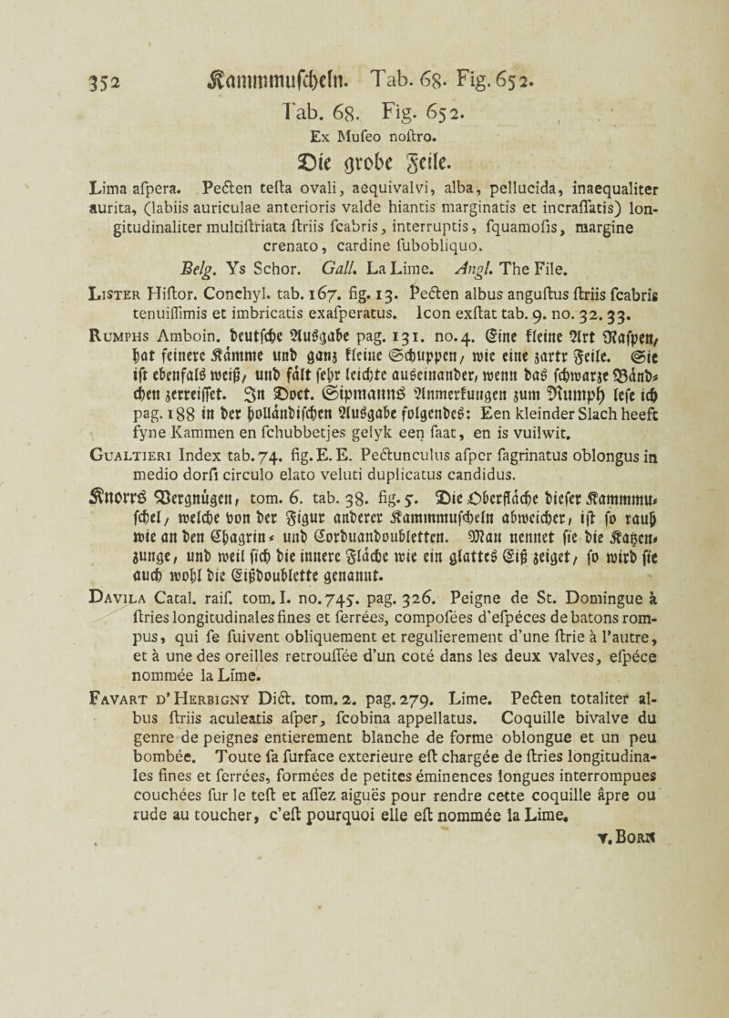 Tab. 6g. Fig. 652. Ex Mufeo noftro. ©ie grobe geile. Lima afpera. Pe6len tefta ovali, aequivalvi, alba, pellucida, inaequaliter aurita, (labiis auriculae anterioris valde hiantis marginatis et incraffatis) Ion- gitudinaliter raultiftriata ffcriis fcabris interruptis, fquamofis, margine crenato, cardine fubobliquo. Belg. Ys Schor. GalL La Lime. Angl. The File. Lister Hiftor. Conchyl. tab. 167. fig. 13. Pe<5ten albus anguftus ffcriis fcabris tenuiflimis et imbricatis exafperatus. Icon exftat tab. 9. no. 32. 33. Rumphs Amboin. deutfcdc Aufgabe pag. 131. no.4. (fine fletne 3lrt Ü?afpctt/ $ot feinere $dmme und ganj fleine ©ebuppen, wie eine $artr $eile. @ic ift ebenfalf weiß/ und fdlt febr leiste aufeinander, wenn daf febwarje $3änd* eben serreiffet. 3n Sdoct. ©tpmamtö Slnmerhwgen jum fftumpl) lefe icd pag. 188 in der boUdndifcben Aufgabe folgende^: Een kleinder Slach heeft fyne Kämmen en fchubbetjes gelyk een faat, en is vuilwit, Gualtieri Index tab. 74. fig.E. E. Pe&unculus afper fagrinatus oblongusin medio dorfi circulo elato veluti duplicatus candidus. $norrS Vergnügen, tom. 6. tab. 38. fig.5. 2)ie Oberfläche diefer ßammrnu* fcdel/ welche don der gigur anderer 5?ammmufcdefo abweicber, ift fo raub wie an den @bagrin * und ßorduandoublettcn. Oftan nennet fie die $a$cn* aunge, und weil ft'cd die innere Sldcde wie ein glattef (fifi jeiget/ fo wird fte aued wodl die (figdoublette genannt. Davila Catal. raif. tom. I. no.74y. pag. 326. Peigne de St. Domingue a ftries longitudinales fines et ferrees, compofees d’efpeces debatons rom- pus, qui fe fuivent obliquement et regulierement d’une ffcrie a l’autre, et a unedes oreilles retroufiee d’un cote dans les deux valves, efpece nornmee laLime. Favart d'Herbigny Di6t. tom. 2. pag. 279. Lime. Peften totalitef al¬ bus ffcriis aculeatis afper., fcobina appellatus. Coquille bivalve du genre de peignes entierement blanche de forme oblongue et un peu bombee. Toute fa furface exterieure eft chargee de ftries longitudina¬ les fines et ferrees, formees de petites eminences longues interrompues couchees für le teil et afiez aigues pour rendre cette coquille äpre ou rüde au toucher, c’eft pourquoi eile eft nommee la Lime* t. Bor»