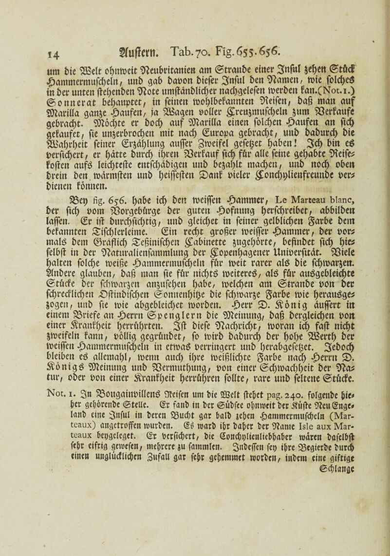 um bte SBelt 0bnmit Sfteubritanien am (gtranbe einer 3«f«l §et)en (Stütf £ammermufcheln, unb gab bapon biefer 3«ful ben tarnen/ wie fold)e$ inber unten ftehenben 9?ote um(lanblid)er nad)gelefen werben fan.(Not.i.) ©onnerat behauptet, in feinen wohlbekannten Reifen/ baß man auf SObarilla gan^e Raufen, ja 2Bagen votier $reu$mufd)eln $um Verkaufe gebracht. flöchte er bocf> auf Manila einen folehen Raufen an ftd> gefaufet, fte unterbrochen mit nad) Europa gebracht/ unb baburd) bie Wahrheit feiner Zahlung außer gweifel gefeget h^cn! ,3d) bin eS perftchert/ er hatte burch ihren Verkauf ftch für alle feine gehabte SHeife* hoffen aufs leichtere entfd)dbigen unb befahlt machen/ unb nod) oben brein ben.wdrmften unb heißeßen £>ank Picler $ond)t>lienfreuttbe per* bienen können. 33ep fig. 656. habe ich bm weißen Jammer/ Le Marteau bianc, ber ftch Pom 33orgebürge ber guten «pofnuttg h^fthveibet/ abbilbett laßen. (Sr ijt burchftchtig / unb gleidyet in feiner gelblichen garbe bem befannten £ifd)lerleinte. (Ein recht großer weißer Rammet*/ ber por* mais bem 0rdflid) £eßinifd)en Kabinette tugehorte/ beßnbet ftch W* felbß in ber ^aturalienfammlung ber glopenhagetter Uniperfttdt. 33iele halten folche weiße *£)ammermufchelrt für weit rarer als bie fd)War$en. 3lnbere glauben, baß man fte für nichts weiteres, als für auSgebleid)te ©tücfe ber fdjwarben an&ufeben f>abe, welchen am @tranbe pon ber fdjrecflidjen £)flinbifd)en ©onnenhiße bie fchbarje garbe wie herauSge^ $ogen/ uitb fte wie abgebleid)et worben. *£>err £>. $onig äußert in einem 33riefe an ^ernt (Spenglern bie Meinung/ baß bergleichen pon einer Krankheit herrührten. 3(1 biefe Nachricht/ woran ich fafk nicht zweifeln kamt/ pollig gegrünbet/ fo wirb baburd) ber hohe 3Berth ber weißen £ammermufcheltt in etwas perringert unb herabgefeget. Seboch bleiben es allemahl/ wenn auch ih?e weißlichte garbe nach dperrtt 2). Honigs Meinung unb 33ermuthung/ pon einer @d)Wachheit ber Sfta* tut*/ ober pon einer Krankheit t>crrühren folfte / rare unb feltene (Stücke. Not. 1. 3n 33ougaittPilleuS Steifen um bie $Belt ßefjct pag. 240. folgenbe &ie* ber gehörende ©teile. @r fanb in ber ©übfce obnmeit ber $üße *fteu(5ttge* laiib eine 3ttful in beren 33ucf)t gar halb gehen £ammermufd)eln (Mar- teaux) angetroffen mürben. @3 warb ihr baher ber 9?ante Isle aux Mar- teaux besieget. (Sr bcrficbert, bie Gonc&plienlie&ba&et n>drcn bafelbft febr eifrig gemefen/ mehrere su fammlen. gnbefien fep ihre 33egierbe burdj einen unglücklichen Sufall gar febr gebemmet morben, inbem eine giftige ©chlange