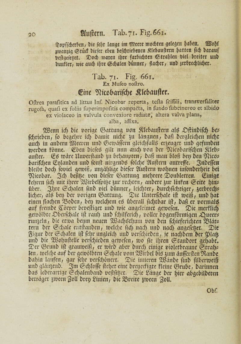 SDpfK&etkit, feie fefjr Ictn^e im Wccrc mosten gelegen 23ßo$f tnxuistg ©tuet tiefer cfcen tefetrietenen Getauftem Ratten ficb Darauf feeftgefeget 2>od) rcarett kn farbicbtett ©tragen feiet breiter uttfe fewtfler, wie au# ipre ©#alei! Dünner, flacher / unD jerDrecljlicber. Tab. 71. Fig. 661. Ex Mufeo noftro. €ine 9?iccl>arifd>e ^lebauft«. Oftrea parafitica ad littus Inf. Nicobar reperta, tefta feiffili, transverfaliter rugofa, quafi ex foliis fuperimpofitis compafta, in fundo fubeinereo et albido ex violaceo in valvula convexiore radiata, aitera valva plana, alba, affixa. SBemt id) bie Porige ©attung oon ^lebaitjlem als £)Sirt5ifc^ be* fcf>rteben, fo begehre tcl> bannt nicht $u Idugnett, baß Dergleichen nicht auch in anbern Leeren mit) ©emdffern glcid)falB erzeuget unb gefnnbett werben fotme. £ben biefeg gilt nun auch reu ber ‘D'ticobarifdjen Sikh? außer. & wäre Unoerßanb &tt behaupten, baß man bloß bet; ben SRico* bartfehen (Splanbett unb fonß ntrgenbS fold)e Slußern autreffe. Snbefie« bleibt boct; fopiel gewiß, unzählige biefer Slußerti wohnen infonbert;eit bei SRicobar. 3d) be(t§e Pott biefer Gattung mehrere SWublettett. Einige fehlen ftd) mit ihrer 2£irbelfpil;e fcur rechten , anbere $ur Kufen (Seite hin* über. 3hre (Schalen ftnb riet bünner, leichter, bttrchftdjtiger, jetbrech* lieber, alg bet) ber porigen (Gattung. £>te Uttterfchale iß weiß, nnb h<*t einen flachen 33oben, bet) welchem eö überall ftchtbar iß, baß er PormalS auf frembe Körper beoeßiget unb wie angclämet gewefen. £)ie merHid) gemolbteOberfchale iß rauh unb fd)ilfericf), Poller bogenförmigen Äueer* runzeln, bie etwa bet)tu neuen $£ad)£tf)mn pon ben fd)ieferid)tett S8lät* tern ber (Schale erttßanben, welche ftch nach unb ngd) angefel;et. £>ie gigur ber (Schalen iß feßr ungleich unb perfchieben, je rtadjbem ber gMa$ unb bie SBohnßelle perfchieben gewefen, wo ft'e ihren (Stanbort gehabt. Ster ©ruttb iß grauweiß, er wirb aber bnrd) einige pioletbrattne (Straf)* len, welche auf ber gewölbten (Schale Pont Wirbel bi£ jttrn dttfferßen^anbe t>af)in laufen, gar fcl;r perfeßonert. 2>ie inneren SÖänbe ftnb ftlberweiß unb glänjeitb. 3m (£d)lojfe ßcl>ct eine bret;ecfigte Heine 0rube, Darinnen baS leberartige (Schalenbanb peßft^ct* S)te £dttge ber hier abgebilbeten betraget jweeit Soll bret; Linien, bie Breite jween Soll. Obf.
