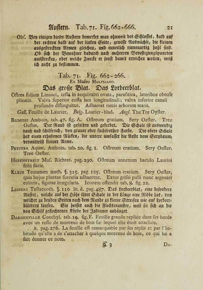 Obf. 23ep einigen liefet 2luftetit bemerket man o&ttweit beß Schlofteß, halb auf bet rechten halb auf ber linfen Seite, öewifle Slußwuchfe, bie deinen außgeftreeften Firmen öletcf>eit, uwb innerlich rinnenartig hohl finb. Ob fich ber 33ewobner baburch nach mehreren 93ebeftigungßpuncten außftreefen, ober welche Swecfe er fonft bamit erreichen wollen, weijj > ich nicht au beftimmen. f j s . . .. '■ Tab. 71. Fig. 662-266. Ex Mufeo Moltkiano. ©a0 große SMat. ©«0 gotbeerblaf. Ofirea foliutn Linnaei, tefia in aequivalvi ovata, parafitica, lateribus obtufe plicatis. Valva fuperior cofta lata longitudinali; valva inferior canali profundo difiinguitur. Adhaeret ramis arborum maris. Gail. Feuille de Laurier. Belg. Laurier-blad. Angl TheTre Oyfier. Rumphs Amboin, tab. 47. fig. A. Ofireum gratium. Sery Oefier. Tree Oefier. 3ber SKanb ift gefallen uttb geferbet. Sbie Schale ift außwenbig rauh unb fcpilferich/ Dort grauer ober fucpßrotber ftarbe. &ie obere Schale hat einen erhabenen Otucten, bie untere umfatTet bie 2lefte bom Serpbaum, bermitteljf Keiner 2lrme. Petiver Aquat. Amboin. tab. 20. fig. 1. Ofireum cratium. Sery Oefier. Tree Oefier. Hebenstreit Muf. Richter, pag. 290. Ofireum annexum baculo Laurini folii facie. Klein Tentamen meth. §. 325. pag. 125. Ofireum cratium. Sery Oefier, quia hujus plantae furculis adhaerent. Extus grifei pulli nunc argentei coloris, figurae irregularis. Iconem ofiendit tab. g. fig. 22. Lessers Tefiaceoth. §. 110. lit.d. pag.487. 2)aß Sorbeerblaf, eine befonbere Sluftcr, welche auf ber &obe ihrer Schale in ber $ange eine SKibbe hat, bon welcher su bepben Seiten nach bem üfanbe fleitie »Streifen wie auf Lorbeer* blättern laufen. Sie ^ciffet auch bie ftlechtenaufter, weil fte fich an bie bon Schilf geflochtenen ßörbe ber ^nbianer anbditget. Dargenville Conchyl. tab. 19. fig. F. Feuille grande repliee dans fes bords avec un refie de morceau de bois für lequel eile etoit attachee. . it. pag.276. La feuille eft remarquable par fes replis et par l’ha- bitude qu’elle a de s’attacher ä quelque morceau de bois, ce qui lui a fait donner ce nom. » Da-