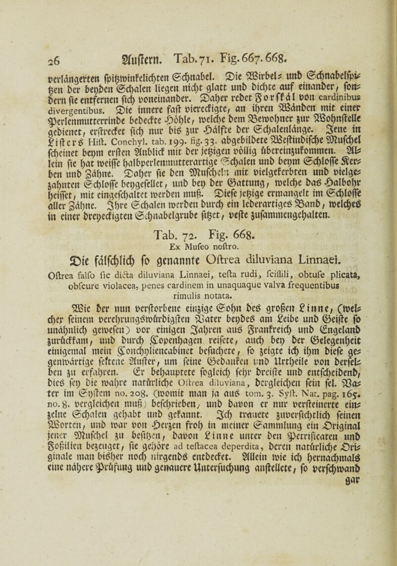 rerlängeften fpifetrinfelichten (Schnabel. Sic Wirbel? unb ©chnabehpt; ßcn bet' bepiben (Schalen liegen nid)t glatt unb bici)te auf emmtber, fon? bernfieentfernen ftd) roneinanber. Saher rebet gorffäl üon cardinibus divergentibus. Sie innere fall rierccfigte, an ihren 3Bdnbcnimit einer «ßerlenmutterrinbe beberfte -Döf>le, treidle bem 58emcl)ner Jur 2ßof)tt (feile gebienet, erffreefet fiel) nur big jur Hälfte ber <Sd)alenlänge. Seite in gifierö Hift. Conchyl. tab.199. fig.33. abgebilbeteXßeftmbifcheSJlufchel febeinet bet>m erften Slnblicf mit ber jegigeit rollig öbereinäufoiumen. 3(1; lein fie hat treiffe halbperlenmutterartige ©cf)alen unb bepm ©chlolfe Sers ben unb Sahne. Sah«' fie ben 9ttufcf>ch mit pielgefcrbteit nnb neige; Sahnten ©chlojfe bepgefellet, unb bet; ber (Haftung, »eiche bac -Salboln' heijfet, mit eingefd)a(tet »erben muß. Siefe jeßige ermangelt im ©d)Io|Te aller gähne. 3hre ©chalen »erben burch ein leberartigeg Söanb, »eld)eg in einer brepeefigten ©chnabelgrube ft|et, reffe jufantmengehalten. Tab. 72. Fig. 66g. Ex Mufeo noftro. ©ie fä(fcf)Iid) fo genannte Oftrea diluviana Linnaei. Oftrea falfo fic ditta diluviana Linnaei, tefta rudi, feiilili, obtufe plicata, obfeure violacea, penes cardinem in unaquaque valva frequentibus rimulis notata. $Bic ber mm oerjiorbene einige Sohn be£ großen Binne, (ml* d>e,r feinem oerehrungömürbigßen ?Gater bepbeS am Betbe unb Getffe fo unähnlich gemefeu) oor einigen 3al)ren au£ granfreid) unb (Sngelanb juröeffam, unb burd) Kopenhagen reifete, auch bet) ber Gelegenheit einigemal mein gTonc^pltencabinet befuchete, fo geigte ich tyro biefe ge* genmärtige feftene Puffer, um feine Gebauten unb Urteile oon berfefc ben $u erfahren. (Sr behauptete fogleid) (ehr breifxe nnb entfd)eibenb, bieS fet) bie maf)re natürliche Oftrea diluviana, begleichen fein fei. 23a* ter im Spfiem no. 20g. (momit man ja aus? tom. 3. Sylt. Nar. pag. 16^. no. g. oergleid)en muß; bcfd)rieben, unb baoon er nur oerßeinerte ein* jelttc (Schalen gehabt unb gefannt. 3d) trauete 5M>erftd)tlid) feinen ^Borten, unb mar ooit Jherjen froh in meiner Sammlung ein .Original jener ^ufcßcl &u beugen, baoott Bitttte unter ben Spetrißcaten unb goßilten bezeuget, fie gehöre ad teftacea deperdita, bereu natürlidje Ort* ginale man bisher nod) nirgenbö entbeefet. Allein tote td) hentad)malö eine nähere Prüfung unb genauere Unterfuchung anßellete, fo perfchmanb