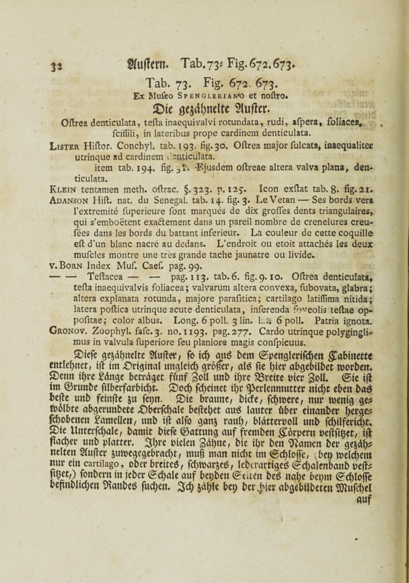 Tab. 73. Fig. 672. 673. Ex Mufeo Spenglerian*o et noftro. ©ie gestielte 2lu|ier. Ofirea denticulata, tefia inaequivalvi rotundata, rudi, afpera, foliacea, , fciflili, in lateribus prope cardinem denticulata. Lister Hifior. Conchyl. tab. 193. fig. 30. Ofirea major fulcata, inaequalitec utrinque ad cardinem denticulata. item tab. 194. fig. Ejusdem ofireae altera valva plana, den¬ ticulata. Klein tentamen meth. ofirac. 5.323. p. 125. Icon exfiat tab. 8. fig.sr. Adanson Hifi:, nat. du Senegal, tab. 14. fig. 3. LeVetan — Ses bords vera l’extremite fuperieure Tont marques de dix großes dents triangulaires, qui s’emboetent exa&ement dans un pareil nombre de crenelures creu- fees dans les bords du battant inferieur. La couleur de cette coquille- eft d’un blanc nacre au dedans. L’endroit ou etoit attaches les deux mufcles montre une tres gvande tache jaunatre ou lividc. V.Born Index Muf. Caef. pag. 99. — *— Tefiacea — — pag. 113. tab. 6. fig. 9.10. Ofirea denticulata, tefia inaequivalvis foliacea; valvarum altera convexa, fubovata, glabra; altera explanata rotunda, majore parafitica; cartilago latiflima nitida; latera pofiica utrinque acute denticulata, inferenda foveolis teftae op« pofitae; color albus. Long. 6 poll. 3 lin. 1.J; 6 poll. Patria ignota. Gronov. Zoophyl. fafc.3. no. 1193. pag. 277. Cardo utrinque polyginglL mus in valvula fuperiore feu planiore magis confpicuus. SDtefe ge^dbuelte Slttffer, fo td) aug t>em ©pertölcrifc^eit £abittette entlehnet, i(I tm -Original ungleich großer, als fte ()ier abgebilbet Norbert. S)cnn tf)re £dttge betraget fünf gell unb tf>re Breite t>ier goU. @ie t(l tm ®runbe ftlberfarbid)t. S)ocb fcbeinet ibr $>erlenmutter nid)t eben baö befle unb fetnffe 5« fepn. £>ie braune, bide, fehlere, nur rnenig ge* foolbte abgerunbete Oberfcbale behebet au£ lauter über einanber b^ge* febobenen Lamellen, unb i|t alfo gan& raub/ bldtteruoH unb fd)ilferid)t. 5)ie Unterfcbale, bamit biefe Gattung auf fremben gorpertt Peftftgct, i(t flacher uttb platter. 3br^ Geleit Sdpne, bie ipr bett tarnen ber ge&dp* neltett 51u(Ier $utt)egegebracf)t, muß man ntebt tm <gd)loffe, (bep melcbem nur ein cartilago, ober breitet, fd)mar$eg, leberartiges (gd)alenbattb t>ejf* ftget,) fonbern in jeber @d)ale auf bepben betten beS nabe bepnt (^cblojfe bejtnbltd;en Raubes fueben. 3d) bep berjuer abgebilbeten Sttufcbel auf