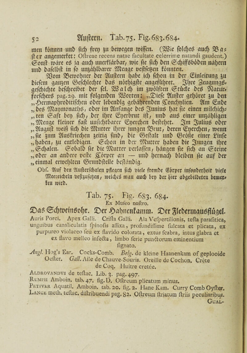 inen fötmett tutö ficf> frei) 51» bewegen wijfeit. (SSBie foldjeS aud) 58 as ff er attgettterfCt .* Oftreae recens natae facultate celerrime natandi gaudent.) 0ottjf mare e$ ja au# uiterflarbar, mie fte ft# bett ©d>tff^bot>en nähern tmt> bafelbjt in fo unzählbarer 9ttettge oeßfegen tonntett. ?8ont 2$etoohner ber SCuf^em habe i# fcf>oit ttt ber (Einleitung zu biefent gatten ©ef#le#te baS nötl)igfle angeff#ret. 3l)re 3eugung& gef#id)te bef#reibet ber fei. 2£al# im zwölften @tMe beg SftaturT forfc^cr^ pag. 29. mit folgenbcn Lotten; „S)iefe 2luj?er gehöret zu bett „*f)ermapl)robitifd)eu ober lebettbig gebährenben (£ott#t)lien. 5lm (Enbe „ be£ $}bat)monatl)S, ober im Anfänge be£ SuniuS l)at fte einen mtld)id)^ „ten @aft bet> ftd>, ber it>re (Et)erbrut iff, tmb au£ einer unzähligen „Sftenge Heiner faß unft#tbarer (St>ercf>en befielet. 3m SuliuS ober „5luguß weiß fiel) bie Butter #rer jungen £>rut, bereit (Et)er#ett, wenn „fte zwn 2luSfried)ett zeitig fmb, bie ©eßalt itnb ®roße einer £infe „haben, $u entlebigett. @d)Ott in ber Butter haben bie Sttugen ihre „@d)dett. (?obalb fte bie Butter perlaßen, hängen fte ftcb an (Steine „ober an anbere oefte güorpcr an — unb hema# bleiben fte auf ber „einmal erneuten ©runbßelle beßanbig. Obf. 5luf bett 2lufterfdjaten pfTeactt ftcb riele frentbe Körper infonberbeit biele ^eeretcbeln befoufetjctt, roelcbcS matt auch bei; ber bin abgebilbetcu bemer* feit nurt>. Tab. 75. Fig. 683. 684- Ex Mufeo noftro. ©as @cf)ft>emöi>f)r. 5Der .pabnenfamm. ©er Slebermauöftügel. Auris Porci. Apex Galli. Crifta Galli. Ala Vefpertilionis, tefta parafitica, unguibus canaliculatis fpinofis affixa, profundiftime fulcata et plicata, ex purpureo violaceo feu ex fiavido colorata, extus feabra, intus glabra et ex flavo melleo infedta, limbo ferie pun&orum eininentium fignato. Angl. Hog’s Ear. Cocks-Comb. Belg, de kleine Haanenkam of geplooide Oefter. Gull. Aile de Chauve-Souris. Oreille de Cochon. Crete de Coq. Huitre cretee. Aldrovandvs de teftac. Lib. 3. pag. 497. Rumlti Amboin. tab. 47. fig.D. Oftreum plicatum minus. Petjvkr Aquatil. Amboin. tab. 20. fig. 2. Hane Kam. Curry Comb Oyfter. Lange meth, teftac. diftribuendi pag. 32. Oftreum ftnatuin ffcrüs peculiaribus. Güal->