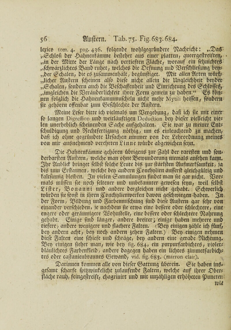 lepico tom. 4. pag. 436. folgettbe tDof>fge^rönbete Nachricht: ,,Sa$’ „Sd)loß ber ^ahnenftmtme befielet cmß einer platten/ queergeffreiften, „in ber SÜlitte ber £dnge nach vertieften gldcf)e, worauf ein fel)nichte$ „fchwdrzlichteg 3S.anb ruhet, weld)eS bie £)efmtng unb Werfel)ließtmg bet>^ „ber Schalen / bie e$ zufammenhölt, begünffiget. Sttit allen 3(rten würfc „lieber ändern fefeeinen alfo biefe nid)t allein bie Ungleichheit bepber „Schalen ^ fonbern and) bie S3efd)affenheit nnb €inrichtung beS Schlöffe^, „imgleidffn bie 23erdnberlid)fett ihrer gorm gemein zu haben.“ (£$ font nen folglich bie £al)nenfammmufd)eln nicht mel)r Mytili l;eiffen, fonbem fte gehören offenbar zum ®efd)led)te ber Puffern. ^eine £efer bitte id) vielmals um Vergebung, baß id) fte mit einer fo langen Digreffion unb weitläufigen Dedudion bet) biefer vielleidff vies len unerheblich fcheinenben Sache aufgehalten. Sie mar zu meiner Snts fd)ttlbigung unb Rechtfertigung nothig, um eö einlcuchtenb zu machen/ baß id) ol)ne gegrüubete Xlrfachen nimmer von ber £ehrorbmmg meinet von mir amSnehmenb verehrten £ in ne mürbe abgcwichett fet)n. Sie £ahnenfdmme gehören übrigeng $itr gal)l ber rareffen unb forn berbarffen SXttflern, weld)e man ohne$3emunberttng niemals anfehett fann. 3hr 5fnblicf bringet felbff folche £eute big §ur ffdrfffen Qlufmerffamf eit, ja big zum Srffaunen, welche bet) anbern gConcffplien dufferff gleichgültig unb faltftnnig bleiben. 3n vielen (Sammlungen ftnbet man fte gar nicht. SSor* ntalg müffen fte noch fcltener unb unbekannter gewefen fci)\x, weil felbff £iffer/ fö0nanttt unb attbere bergleichen nicht gehabt. Schtoerlich Wörben fte fonff in ihren <£ottcbt)lienmcrfen bavon gefcl) wiegen 4)aben. 3« ber gorm, Gilbung unb gdrbenmifchung ftnb biefe puffern gar fef)r von einanber verfchieben, je nad)bem fte etwa eine beffere ober fd)led)tere/ eine engere ober geräumigere 2£ohnffelle/ eine beffere ober fd)led)tere Nahrung gehabt. (Tätige ftnb langer, anbere breiter; einige haben mehrere unb tiefere, anbere wenigere unb flachere galten. (S8et; einigen zahle id) fünf, bet) anbern acht/ bet) ttod) anbern $ef)en galten.) SSet) einigen nehme« biefe galten eine fclffefc unb fd)rdge, bet) anbern eine gerabe Dichtung. S3et) einigen fiel)et matt/ tote bet) fig. 684, ein pttrpurfarbichteg, violett blattlidffeg garbenfläb, anbere bagegen haben ein lid)teS §immetfarbich^ teg ober caffanienbrauneg ®emanb/ vid. fig. 683. (marron clair). Sarimtett kommen alle von biefer ©attung überein. Sie haben mg* gefamt fd)arfe fpi^minfelicht julanfenbe galten/ welche anf ihrer £>ber* flache rauh; feingeffreift, d)agrinirt unb mit unzähligen erhbheten ^wteten wie