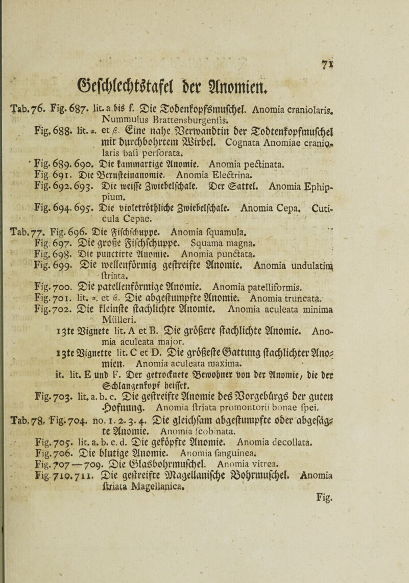 ®efd)(ccf)t$tafe( kr Hnomien. Tab, 76. Fig. 687- lfoabiSf. Sie £obenkopf$mufc()el. Anomia craniolaris. Nummulus Brattensburgeniis. Fig. 688- lit. *. et ß. (Eine na()e i^emcmbtm 5er Sobtenfopfmufcbel mit 5urcf)5ol)rtem Wirbel, Cognata Anomiae craniQe laris ball perforata. ' Fig. 689.690. Sie fammartige Anomie. Anomia pe&inata. Fig 691. Sie $3ernfteinanomie. Anomia Ele&rina. Fig. 692.693. SDte rueiffe 3wie5elfdbalc. Ser ©attef. Anomia Ephip- pium. Fig. 694.695. Sie bioletrot&lic&e 3roie&elfcbale. Anomia Cepa. Cuti- cula Cepae. Tab. 77. Fig. 696. Sie ^ifcfftcbuppe. Anomia fquamula. Fig, 697. Sie große Stfcf)fcf)ltppe. Squama magna. Fig. 698» Sie punctirtc ?lttpmte. Anomia pun&ata. Fig. 699. Sie wellenförmig gereifte 2lnomie. Anomia undulatim ftriata. Fig. 700. Sie pateüenformige 2ln0tttie. Anomia patelliformis. Fig. 701. lit. *. et ß. Sie abgejlumpfte Anomie. Anomia truncata. Fig. 702. Sie fleinße ßaa)lici)te 2ln0lttie. Anomia aculeata minima Mülleri. i3te Eignete lit. A et B. Sie größere |facf)licf)te Anomie. Ano¬ mia aculeata major. i3te Vignette lit. C et D. Sie großeße ®attung (facf)licf)ter 5(tto^ mieit. Anomia aculeata maxima. it. lit. E unb F. Ser getrocknete $3eroo&ner Don ber Anomie, bie ber (gcblaiigenfopf beitTet. Fig. 703. lit. a. b. c. Sie geßreifte Slnomie be3 23orgebürg$ ber gute« *£)Ofmtltg. Anomia ftriata promontorii bonae fpei. Tab.78» Fig. 704. no. 1.2.3.4. Sie gleid)fam abgeftumpfte ober abgefags te Anomie. Anomia fcobinata. Fig. 705'. lit. a. b. c. d. Sie geköpfte 5inomie. Anomia decollata. Fig. 706. Sie blutige Shtomie. Anomia fanguinea. Fig. 707 — 709. Sie liMa£bot)rmufd)el. Anomia vitrea. Fig.7iQ.7n. Sie gejlreifte $)Zagellanifcfye Söofyrmufcfyel. Anomia ftriata Magellanica* Fig.