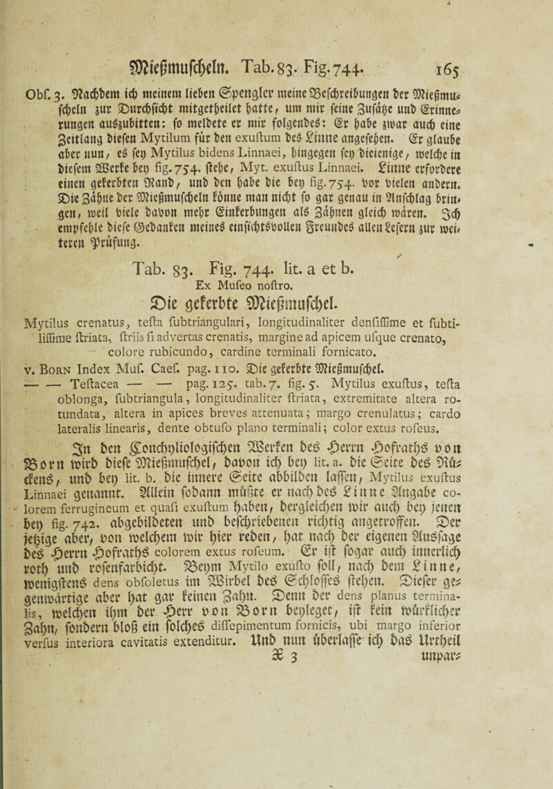 Obf. 3. bladjkm ich meinem liehen ©penglet* meine SBefchreihuitgen kt iSftiejjmu* fcheln aur SDurchftcht mitgetheilet ^atte, um mit: feine 3ufd$c unt> (grtnne* runden au^uktten: fo melkte et mir folgettkS: @r hak $wat auch eine ^eitlang kefen Mytilum für kn exuftum k$ £imte angefehen. (gr glaube aber nun/ e» fei) Mytilus bidens Linnaei, hingegen fet) keientge / welchem tiefem SBcrfe bet) fig. 754. fick/ Myt. exuftus Linnaei. £inne erforkre einen geferken Ütani), uni) kn höbe bie kp fig. 754. bor kelen ankrn. SDie Sahne ber 93?icjmtufcheln fönne man nicht fo gar genau in Slnfdjlag hin* gen, weil kele babon mehr (ginferktngen al$ Seiten gleich waren. 3ch empfehle kefe ©ebanfen meinet einftchtkwllen SreuukS allen kfern sur web teren Prüfung. / Tab. 83. Fig. 744. lit. a et b. Ex Mufeo noftro. £>ie <]cfetbte 9JJiejjmufd)el. Mytilus crenatus, tefta fubtriangulari, longitudinaliter denfiflime et fubti- liffime ftriata, ftriis fi advertas crenatis, margine ad apicem ufque crenato, colore rubicundo, cardine terminali fornicato. v. Born Index Muf. Caef. pag. 110. SDte geferbte 9ttte0mufchel. -Teftacea — — pag. 125. tab.7. fig. 5. Mytilus exuftus, tefta oblonga, fubtriangula, longitudinaliter ftriata, extremitate altera ro- tundata, altera in apices breves attenuata; margo crenulatus; cardo lateralis linearis, dente obtufo plano terminali; color extus rofeus. 5tt bett goncbbltologifchen SBerfen be$ *£)errn Refraths bott $$orn mirb btefe ^Dbteßmufcf)el / babon icf) bet) lit. a. bie ©eite be£ cf en<? , unb bet) lit. b. bie innere ©eite abbilbett laffett/ Mytilus exuftus Linnaei genannt. SiUein fobamt müßte et nachher Sinne Angabe co- lorem ferrugineum et quafi exuftum habet!/ bergleicf)en mit auch bet; jenen bet; fig. 742. abgebilbeten unb befcl;riebenen richtig angetroffeu. £)er je£tge aber, bon welchem mir hi^’ reben, tyat nach ber eigenen ?iu3fage bet? #errn *£)ofrath3 eolorem extus rofeum. ©t ijf fogar auch innerlich roth unb rofenfarbicht. S8et;m Mytilo exufio feil, nach &cm Sinne, menigftenS dens obfoletus int Wirbel bet? ©chlofleS flehen, tiefer ge? gettmartige aber hat gar feinen gähn. 5)enn ber dens planus termina- lis, melden ihm ber #err bon feorn besieget, ift fein mürflicher gahm fonbern bloß ein folche^ diflepimentum fornicis, ubi margo inferior verfus interiora cavitatis extenditur. Unb UUU überh# icf; ba$ Urtheil £ 3 unpar*