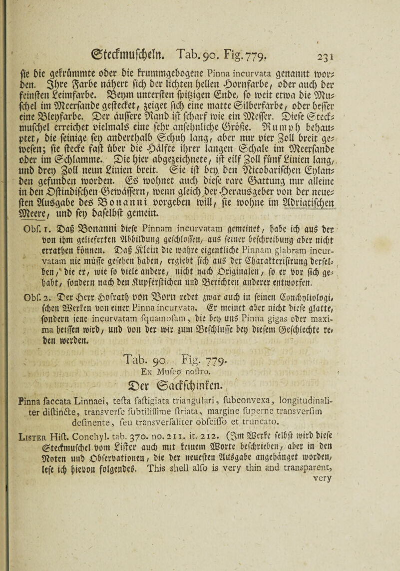 fte bie gefrümmte ober bie frummgebogene Pinna incurvata mor? beit. 3l)re $arbe ndbert fiel) ber liebten bellen Horttfarbe, ober auch ber fünften Leimfarbe. 23et>m unterften fpi^t^en £nbe, fo meit etloa bie frf>ei int‘Dftecrfanbe gefted'et, zeiget ftd) eine matte ©ilberfärbe, oberheffer eine 25let)farbe. S)er duffere 3ianb ift febarf \m ein Sttejfer. S>iefe (St cd? niufcbel erreichet PielntalS eine febr anfebnlicbe (örofte. u m p b bebau? ptet, bie feinte fei) anbertf)alb ©d>ub lang/ aber nur Pier Soll breit ge? toefen; fte ftede faft über bie Hälfte ihrer laugen ©cbale im $fteerfanbe ober im Schlamme. Sie f)ter abge^eiebnete, ift eilf Soll fünf £iitien lang,, uttb bret) 3^* neun Linien breit. @ie ift bei) ben ^Ricobarifcben (Splan? ben gefunben toorben. (ES toobnet auch biefe rare Gattung nur alleine tnben£ftinbifd)en ©emdffern, toenn gleid) ber Herausgeber pon ber neue? ften Ausgabe beS 23onanni porgeben toill, fte toobne im Slbriatifcben Sfteere, unb fei) bafelbft gemein. Obf. i. Safi S3onaitni biefe Pinnam incurvatam gemeinet, habe ich au$ ber Pon tbm gelieferten 5lbbilbutig gefchloiJen, au£ feiner befchreibung aber nicht erratben tonnen. SDa§ Stleiu bte wahre eigentliche Pinnam glabram incur¬ vatam nie müiTe gefebcit haben/ ergiebt fich au$ ber @harafterifirung berfel* ben/' bie er/ wie fo Picleanbere, nicht nach Originalen, fo er Por fich ge* habt, fonberit nach ben ^upferftichcn unb Berichten anberer entworfen. Obf. 2. ‘Oer Herr £ofrath Pon 53ortt rebet swar auch in feinen Sombtjliologi# fchen ^Berten Pon einer Pinna incurvata. (Sr meinet aber nicht biefe glatte, fonbern jene incurvatam fquamofam, bie bei) uit$ Pinna gigas ober maxi- ma heiiTen wirb, unb Pon ber nur junt Sßefchlujfe betj biefent ©efchlechte re# ben werben. Tab. 90. Fig. 779. Ex Mufeo' noilro. r S>er ©iuffcl)mfcn. Pinna faccata Linnaei, tePa faPigiata triangulari, fubconvexa, longitudinali- ter diPin&e, transverfe fubtiliflime Priata, margine fuperne transverfim definente, feu transverfaliter obfciflo et truncato. Lister HiP. Gonchyl. tab. 370. no. 211. it. 212. (3m SBcrfc felbft wirb biefe @tecfmufchel Pom £iftcr auch mit feinem ÜBorte betrieben, aber in ben SRoten unb ObferPattonen, bie ber neueften Ausgabe angehdnget worben, lefe ich hitPPH folgenbeS. This Shell alfo is very thin and transparent, very