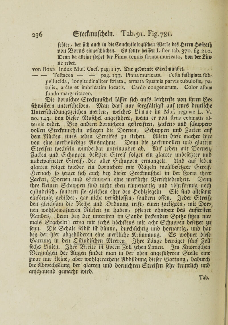 fehler, ber fic& auch ttt bieGoncboliologifc&ert SBerfe bc$ $txtn£>ofratb *>on 2Sorn£ ctnaefdjlicbeit. follte beiden Lilfer tab. 370. fig.210. SDcnn ba alleine fielet bie Pinna tenuis ftriata muricata, Don betritt? ne rebet. von Born Index Muf. Caef. pag.117. &ic gehörnte ©tecfmufcbel. --Teftacea — — Pag*x33’ Pinna muricata. Telia faftigiata fub- pellucida, longitudinaliter ftriata, armata fquamis parvis tubulofisy pa- tulis, ardle et imbricatim locads. Cardo congenerum. Color albui fundo margaritaceo. Sie bornierte ©tecfmufd)el laffet fid) aufö leid)tef!e non it>rcn ®e? fchtoiftern unterfd)eiben. $ttan barf nur forgfältigfl auf jette# beutltcf)c tfnterfd)eibuttgg$eichen merfen, toelcheS £inne im Muf. reginae L. V* so. 143. non biefer $)lufd)el angeführt, toeitn er non ftriis echinatis al- ternis rebet. 23ei) anberit bornierten geftreiften, jaefen? unb febuppen? Pollen ©tecfmufcheln pflegen bie Sorneit, ©chuppen unb gaefen auf bem $U‘icfeit eine£ jeben ©treifeS 511 flehen. Allein biefe mad)et f)iet non eine merfnn'irbige 2lu£nal)me. Senn bie jacfatoollen unb glatten Streifen tnecl)feln munberbar miteinanber ab. 2(uf jeben mit Spornen, gaefen unb ©dwpett befegen ©treif folget ein glatter unbefe^ter unb unbetnafiteter ©treif,. ber aller ©d>uppcn ermangelt, ttnb auf jeben glatten folget tnicber ein bornid>ter mit Sftdgeltt mof>Tbefe^ter ©treif. ipernad) fo geiget ftcf> and) bet) biefer ©tecfmufchel in ber gorm if>rcr gaefen, Sornen unb ©chuppen eine merfliche 2Serfd)iebenl)eit. Senn ihre fleinen ©chuppen ftub nicht eben rinnenartig unb röl)rfcrmig noch cplinbrifch, fonbern fte gleichen el>er ben £ol)l$iegeln ©ie finb aüefamt einförmig gebilbet, gar nicht nerfchloffeit, fonbern offen. Seber ©treif, ben gleichfam bie ?Heü)e unb £)rbmmg trift, einen jacfigteit, mit Sor? neu n>ol)!bcmafncten 3fäcfen |u haben, pfleget ohmoeit be# äujferffen %mbc#, 1 beim bei) ber unterffen im ©anbe fteefenben ©pi£e ft£en nie? mal£ ©fächeln) etroa mit fecf)$ l)öd»leu£ mtt ad)t ©chuppen befe£et $u; fepn. Sie ©d)ale felbff iff bönne, burcbftd)tig unb hornartig, unb hat bei) ber hißt* abgebübeten eine merflid)e Krümmung. (£3 mohnet biefe Gattung in ben -CfHnbifdjen leerem 3bre ßätise betraget fünf gell fed)£ Linien. Sh^e freite ift ^oeen gbü §e(>eit £inien. 3m $norrifchen Vergnügen ber Slugen ftnbet man iii ber oben angeführten ©teile eine $mar nur fleiue, aber mohlgerathene Slbbilbung biefer ©attmtg, baburch bie 2lbwed)£luttg ber glatten unb bornichten ©treifen fehv fenntlich unb anfd)aueub gemad)t toirb.