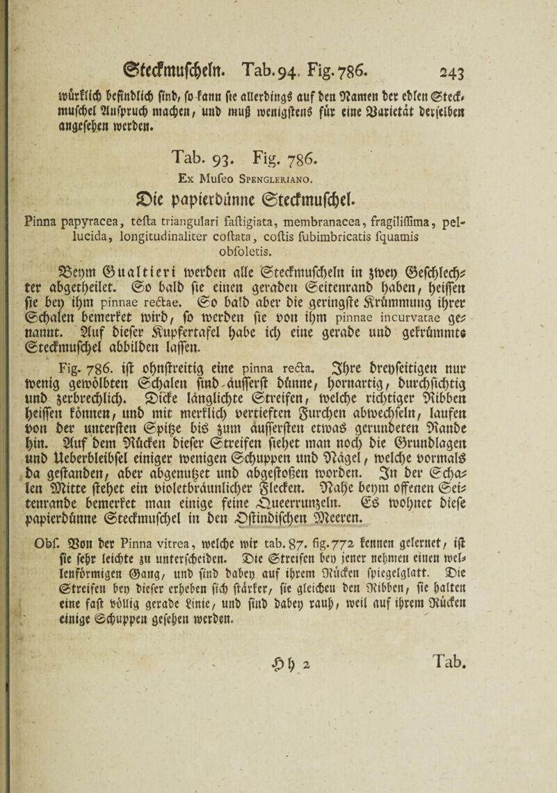 ivutftfcf) hcftnbllch ffnb, fofantt ftc allerbtngg aufbcn tarnen bet cblen©tecf< mufchel 2lnfpruch machen, unb mug wcnigffenS für eine SJarietdt betfelheit angefehen werben. Tab. 93. Fig. 786. Ex Mufeo Spengleriano. JDte papiertmnne ©tecfmufd)el. Pinna papyracea, tefta triangulari faftigiata, membranacea, fragiliffima, pel- lucida, longitudinaliter coftata, coftis fubimbricatis fquamis obfoletis. $$et)m ©ualttevt rnerben alle ©tecftnufdjeln itt $met; ©efcbled)* ter abgetl;eilet. ©o balb fte einen gerabett ©eitettranb haben, Riffelt fie bep t^m pinnae redae. ©o halb aber bie ^eringffe Krümmung ihrer ©d)alen bemerkt toirb / fo toerbett fie von tl;m pinnae incurvatae ge^ nannt. $(uf biefer $npfertafel ^abc td; eine gerabe unb gefrömmto ©tedmufd;el abbtlben laften. Fig. 786. tff of)nflreittg eine pinna reda. 3bre breofeitigen nur tvenig gekolbten ©d;alen finb^dufferff hörnte, kornartig, burd)ftd)tig imb $erbred)lid). 2)tde ldnglid)te (Streifen, tveldje rid)ttger bibbert tyeiffett fomtett, tmb mit merflid; vertieften gurren abmed)feln, laufen von ber mtterffen ©pi£e bi$ $unt dufferffen etrnaS gerunbeten Sfianbe f)in. Stuf bem Sftöden biefer ©treffen fielet matt nod) bie (Brunblagett mtb Ueberbletbfel einiger menigen ©puppen ttnb Sftagel, meldje vormals ba geffanben, aber abgenu^et unb abgeffoßen toorben. 3tt ber ©d)a* len Sftitte flehet ein t>ioletbrdttnlicf>er gleden. 9?alje beprn offenen ©et* tettranbe bemerket man einige feine ^ueerrunjeln. ©S tvol;ttet biefe papterbüttne ©tedmufd)el in ben £)ffhtbifd)en Leeren. Obf. SSott kt Pinna vitrea, welche wir tab. 87. fig. 772 fennen gelentet, tji fte fehr leichte au unterfcheihen. £>tc ©treffen bet; jener nehmen einen wel* lenformigcn ©ang, unb ftnb bähet) auf ihrem Sftücfcn fpiegclglatt. £)te (Streifen her) biefer erheben ftdfr ftdrfer, fie gleichen beit 9?ibbett, fte halten eine faft bhuig gerabe binte, unb ftnb bähet; rauh, weil auf ihrem Ütücfcn einige (Schuppen gefehen werben.