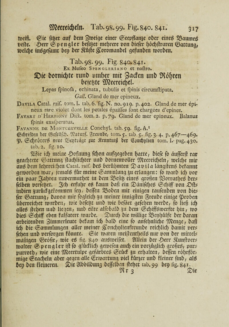 n>et§. Sie ftfcet auf bem 3meige einer Seepflan|e ober eiltet 2$aumeg rede. -£)err Spengler beftget mehrere toon biefer (>6cf>fTrareit (Gattung, melcbe ntggefamt bet; ber $ü|le gCoromattbel gefunben morbern Tab.9S. 99. Fig. 840-841« : Ex Mufeo Spengleriano et noftro. Sie bornierte runö umbet mit 3atfert unb 5? obren belebte SOJecreictjel. Lepas fpinofa, echinata, tubulis et fpinis circumflipata. Gail, Gland de mer epineux. Davila Catal. raif. tom. I. tab. 6. fig.N. no. 919. p. 402. Gland de mer epi¬ neux rare violec dont les petales epailfes font chargees d’epines. Favart d’Hermgny Did, tom. 2. p.79. Gland de mer epineux. Baianus fpinis exafperatus. Favanne de Montcervrlle Conchyl. tab. 59. fig. A.1 ©cbrtften kr ©cfeüfa). 9?atutf. greuuk, tom. 5. tab 5. fig. 3.4. p. 467—469. Sd)r6terg neue iSetjttdge sut ßemttutp kt Gonc&plien tom. I.* pag, 430. tab. 2. fig. IO. %Bie ich meine -hofnung febon aufgegeben batte, biefe fo dttjferjl rar geachtete 0attwtg jlacblicbter unb bornettpoller SOkereicbeln, melcbe mir aug bem lehrreichen Catal. raif. beg berühmten Sapila langdeng befamtt gemorbert mar, jemals für meine Sammlung $u erlangen: fo marb icf> por ein paar fahren mmermutbet in bem SBeftl; eitteg grogen SSorratbeg ber? feiben perfekt. 3d) erfuhr eg faum bag ein Sdniftbeg ©cf>iff Pott £>ft? ittbien jurütfgerommen (et), belfert $$oben mit einigen taufenbett pon bie? fer (Gattung, bapott mir fogleicb §u meiner innigfren greube einige groben überreichet mürben, mie befe£t tmb mie befdet gefebett merbe, fo lieg ich aüeg lieben unb liegen, unb eilte alfebalb $u bem Scbiffgmerfte bin, mo bieg Schiff eben falfatert mürbe. Surd) bie millige S$et;bälfe ber baratt arbeitenben gimmerleute befam icb halb eine fo anfebnlicbe ‘Dttettge, bag icl) bie Sammlungen aller meiner ^oncbplieitfreunbe reichlich bamit Per? (eben unb perforgen fomtte. Sie maren meijlentbeilg nur pon ber mittel? mdgigett ®röge, mie eg fig. 840 augmeifet. Allein ber ptvv $unftpcr? malter Spengler iff fo glücfitch gemefen auch ein por^figlicb grogeg, pur? purrotb/ mie eine $tteertulpe gefdrbteg Stfitcf $u erbalten, helfen robrfor* ntige Stacheln aber gegen alle Srmartung Piel för$er unb Heiner ftnb, alg ben ben Heineren. Sie 2lbbilbung bejfelbeit (lebet tab. 99 bet; fig. 841- r 3 Sie