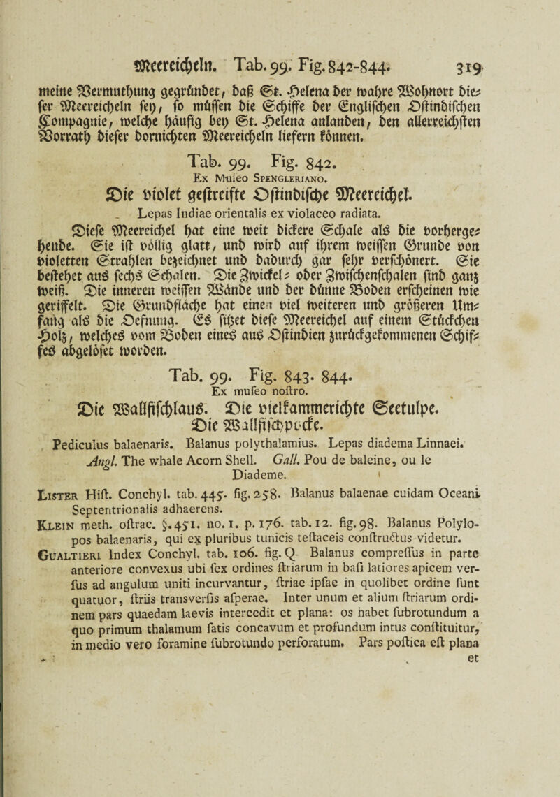 meine 93ermutf)ung gegrönbet, baß ©t. Helena t>er mabre SBobnort bie? fer SÜtteereicbeln fet), fo mögen bie ©cbiffe ber ©nghfcben £)ffinhifcben Compagnie, welche bäußg bet) ©t. Helena anlanben, ben allerrekbftett SÖorratb biefer bornicbten Stteereicbeln liefern fonnen. Tab. 99. Fig. 842. Ex Muieo Spengleriano. ©ie Diolet fleftrciftc ©fttntufcpe 9J?eerei<$eI. Lepas Indiae orientalis ex violaceo radiata. SMefe Stteereicöel bat eine weit bicFere ©egale a\$ bie oorberge? benbe. ©ie ift oollig glatt/ unb wirb auf ihrem weißen ®runbe oon violetten ©tragen bezeichnet unb baburcb gar fef>r t>erfd)6nert. ©ie begebet au£ fed)3 ©cbalen. 2)ie3micfei? ober gmifcbenfcbalen ftnb gatt$ Weiß. £)ie inneren weißen SBänbe unb ber bümte 23oben erfcbeinen wie geriffelt. £)ie ©ruubfiacbe bat einen oiel weiteren unb größeren Um? fang al£ bie £)efmtng. ©$ figet biefe $tteereid)el auf einem ©tücFcben £olz, welche^ oom S3obett einet? aut? £)ßinbien zurücfgeFommenen ©cf)if* fe$ abgelofet worben. Tab. 99. Fig. 843. 844> Ex tnufeo noftro. ©ic 3Saüfifd)lauS. ©ie welfammcricfcte (Seetulpe. ©ie 2Baüjt|££)pocfe. Pediculus balaenaris. Baianus polychalamius. Lepas diadema Linnaei. Angl. The whale Acorn Shell. Gail. Pou de baieine, ou le Diademe. < Lister Hift. Conchyl. tab. 445. fig. 258. Baianus balaenae cuidam Oceani Septentrionalis adhaerens. Klein meth. oftrac. $.451. 110.1. p. 176. tab. 12. fig. 98. Baianus Polylo- pos balaenaris, qui expluribus tunicis teftaceis conftru&us videtur. Gualtieri Index Conchyl. tab. 106. fig. Q Baianus compreflus in parte anteriore convexus ubi fex ordines ftriarum in bafi latiores apicem ver- fus ad angulum uniti incurvantur, ftriae ipfae in quolibet ordine funt quatuor, ftriis transverfis afperae. Inter unutn et alium ftriarum ordi- nem pars quaedam laevis intercedit et plana: os habet fubrotundum a quo primum thalamum fatis concavum et profundum intus conftituitur, in medio vero foramine fubrotundo perforatum. Pars poftica eft plana * • et