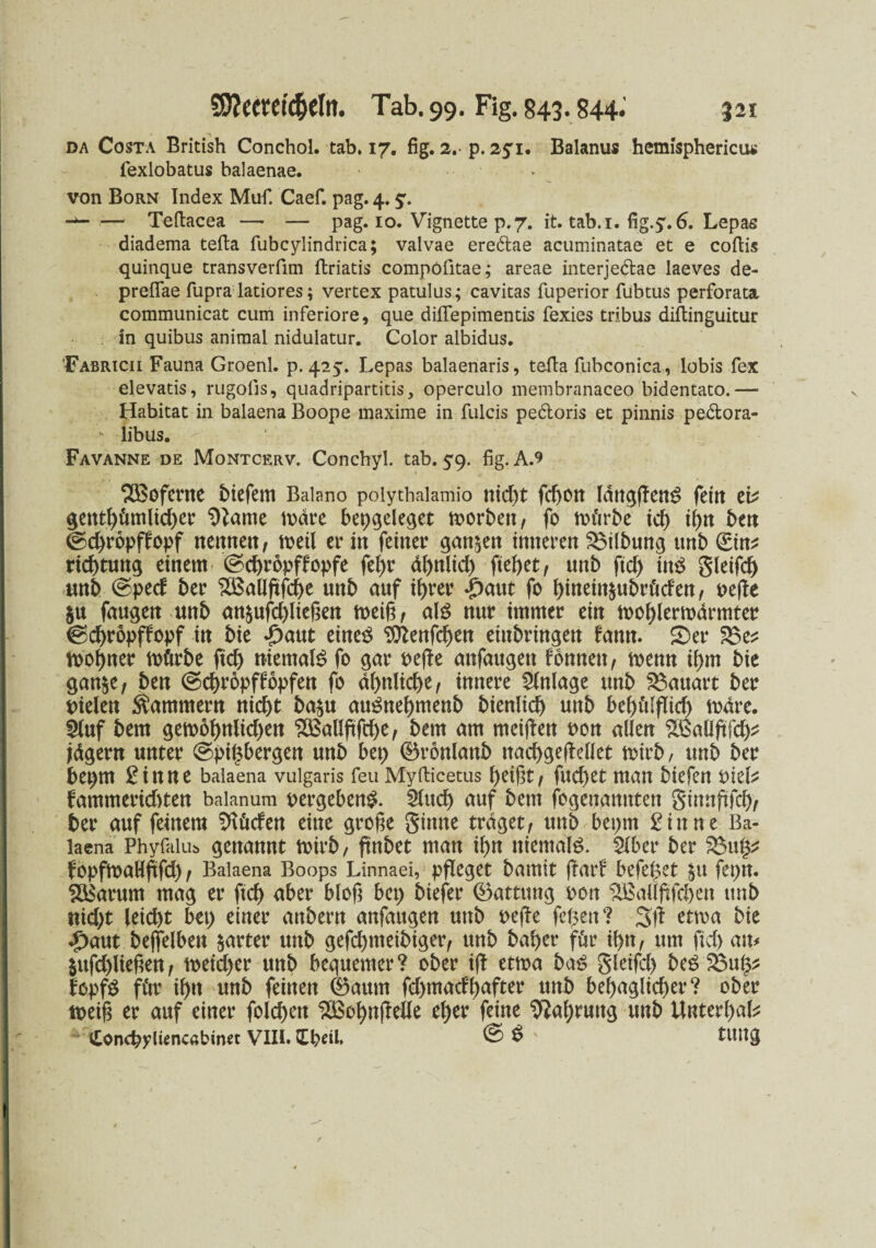 da Costa British Conchol. tab. 17. fig. 2.-p. 25,i. Baianus hemisphericiu fexlobatus balaenae. von Born Index Muf. Caef. pag. 4. — Teftacea — — pag. 10. Vignette p.7. it. tab.i. fig.y. 6. Lepas diadema tefta fubcylindrica; valvae eredtae acuminatae et e coftis quinque transverfim ftriatis compöfitae; areae interjedtae laeves de- preflae fupra latiores; vertex patulus; cavitas fuperior fubtus perforata communicat cum inferiore, que diflepimentis fexies tribus diftinguitur in quibus animal nidulatur. Color albidus. Fabricii Fauna Groenl. p. 425. Lepas balaenaris, tefta fubconica, lobis fex elevatis, rugofis, quadripartitis, operculo membranaceo bidentato.— Habitat in balaena Boope maxime in fulcis pedtoris et pinnis pedlora- * libus. - Favanne de Montcerv. Conchyl. tab. 59. fig. A.9 ^Böfcntc bicfem Balano polytbalamio nid)t fc^ott IdngflenS feilt ete gettthümltcher Partie märe bepgeleget toorbett, fo mürbe ich ihn beit ©chropffopf nettnett, meü er iit feiner ganzen inneren Gilbung unb gin* richtung einem ©chropffopfe fel)r ähnlid) ftef>et, unb ftcf> ins gleifd) unb @ped ber $Ballftfcf)e unb auf ihrer £aut fo hittein§ubrüden, befte $u faugen unb an$ufd)ließen n>eift, als nur immer ein mohlermärrnter ^chropffopf in bie «paut eiltet ^enfdjen einbringen fann. £)er 2$e* mohner mürbe ftd) niemals fo gar bejfe anfaugett fonnett, menn ihm bie gan$e, ben ©chropffopfen fo ähnliche, innere Anlage unb Bauart ber fielen Kammern nicht ba$u auSnehmenb bienlich unb behülflid) märe. $luf bem gemohttlid)en ‘^Ballftfrf>e, bem am meinen oon allen SSMftfdj* jägern unter @pi($bergen unb bei) ©ronlanb nad)ge|Mlet mirb, unb ber bepm Sinne balaena vulgaris feu Myfticetus f>eißt, fuchet man biefen biete fammeriditen baianum vergebens. 2lud) auf bem fogenannten ginnftfeh, ber auf feinem dürfen eine große ginne traget, unb bepm Sinne Ba¬ laena Phyfalus genannt mirb, jtnbet man ihn niemals. Slber ber 2$ug* fopfmaHjlfd) t Balaena Boops Linnaei, pfleget bamit jfarf befepet £tt fepn. SSarum mag er ftd) aber bloß bei) biefer (Battung bon ^Ba(Iftfcl>cn tmb ttid)t leid)t bei) einer anbern anfaitgen unb bejfe fepen ? etma bie <f)aut beffelben harter unb gefchmeibiger, unb baher für il>n, um ftch au* $ufd)ließen, meid)er uitb bequemer? ober ifl etma bas gleifd) beS Sbnfy* IcpfS für ihn unb feinen 0aum fd)tnadl)after unb behaglicher? ober toeiß er auf einer folchen ^ohnjMe eher feine Nahrung unb Unterl)ate Conchyliencabtnet VIII. Updl. ©S' tUltg