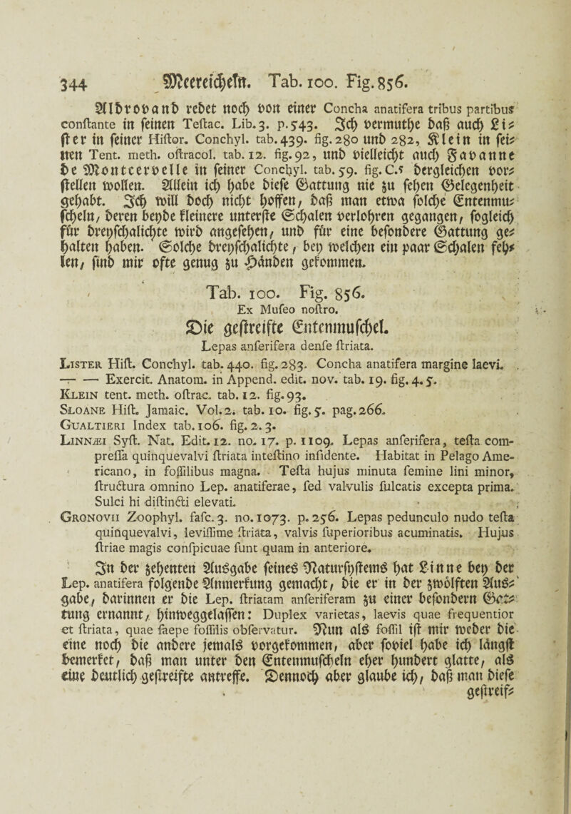 SHbrObanb rebet ttOCg t>0tt eiltet Concha anatifera tribus partibus conflante in feinen Teftac. Lib.3. p.543. 3cg bermutge bag aueg 2i* fl er in feiner Hiftor* Conchyi. tab.439. fig. 280 unb 282, $ietn in fei* tten Tent. meth. oftracol. tab. 12. fig. 92, ttnb bielleicgt aueg gauanne be 9)1 on teer belle in feiner Conchyi. tab. 59. fig.c.* bergleicgen t>or* fleüen mollen. Allein icg gäbe biefe Gattung nie §u fegen <£5elegengeit gegabt. 3$ Ml boeg niegt goffen, bag matt etma folcge (Entenmu* fd)eln, beren bepbe Heinere unter jte ©egalen berlogren gegangen, fogleicg für brepfcgalicgte rnirb angefegen, ttnb für eine befonbere Gattung ge* galten gaben- ©olcge brepfcgalicgte , bet) melcgen ein paar ©egalen feg* len/ ftitb mir bfte genug 51t £änben gefommen. ( Tab. 10o. Fig. 856. Ex Mufeo noftro. ©te geftmfte ©itcnmufcf)et Lepas anferifera denfe ftriata. Lister Hift. Conchyi. tab. 440. fig. 283. Concha anatifera margine Iaevi. . -r-Exercit. Anatom, in Append. edit. nov. tab. 19. fig. 4.5. Klein tent. meth. oftrac. tab. 12. fig-93. Sloane Hift. Jamaic. Vol.2. tab. 10. fig. 5. pag.266. Gualtieri Index tab. 106. fig. 2.3. Linnaji Syft. Nat. Edit. 12. 110.17. p-1109. Lepas anferifera, tefta com- prefla quinquevalvi ftriata inteftino infidente. Habitat in Pelago Ame- ' ricano, in foflilibus magna. Telia hujus minuta femine lini minor, ftrudtura omnino Lep. anatiferae, fed valvulis fulcatis excepta prima. Sulci hi diftindti elevati. Grgnovii ZoophyL fafc. 3. 110.1073. p. 256. Lepas pedunculo nudo tefia quinquevalvi, ieviflime ftriata, valvis fuperioribus acuminatis. Hujus Itriae magis confpicuae funt quam in anteriore. 3n ber Regenten Ausgabe feinet ^aturfpflemö gat Sinne bep ber Lep. anatifera folgenbe ^lumerfung gemaegt/ bie er in ber jmolftett 2lub*' gäbe, bartnnett er bie Lep. ftriacam anferiferam $u einer befonbern ©at* tuttg entanttt/ gtnmeggelaflfen: Duplex varietas, laevis quae frequentior et ftriata, quae faepe fofiilis obfervatur. 9lltn alb foflil ifb tltir theber t>tC eine noeg bie anbere jemals borgefommen, aber fobiel gäbe icg längft bemerket/ bag man unter ben <£ntenmufcgeln eger gunbert glatte, al$ eine beutlicg geftreifte antreffe. £)ennocg aber glaube ieg, bag man biefe > geftreif*