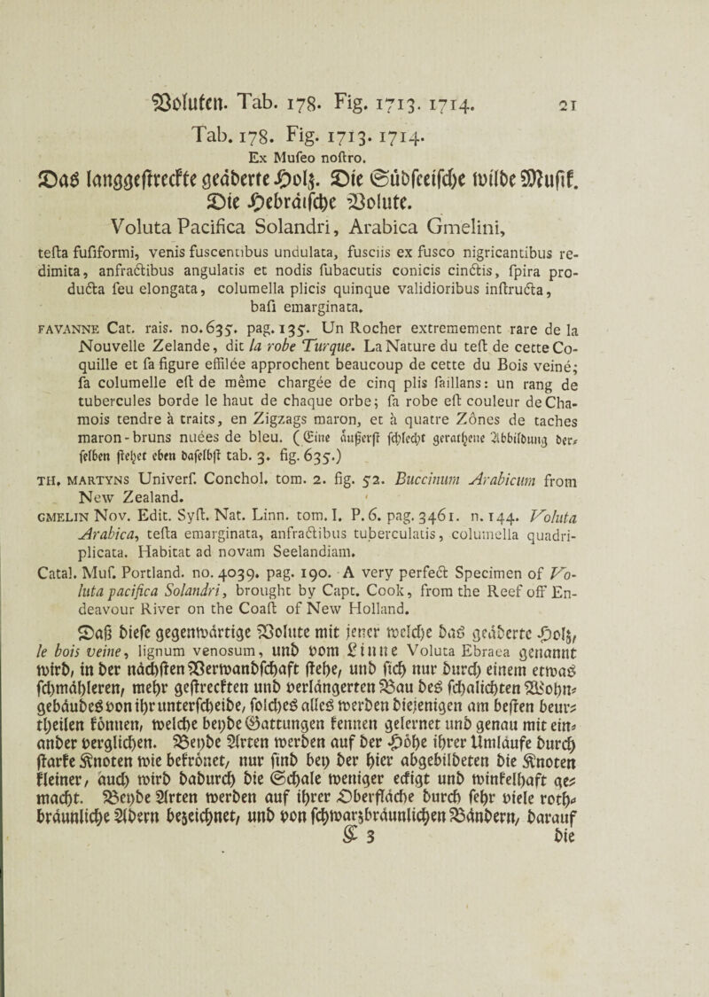 Tab. 178. Fig. 1713. 1714. Ex Mufeo noftro. ©aö (auggeftwcfte gcdberte ©ie ©übfceifcfye tütfbe 59?uf)f. ©ie J£)ebrdifct)e Volute. Voluta Pacifica Solandri, Arabica Gmelini, tefta fufiformi, venis fuscennbus undulata, fusciis ex fusco nigricantibus re- dimita, anfradtibus angularis et nodis fubacutis conicis cindris, fpira pro- dudta feu elongata, columella plicis quinque validioribus inftrudla, baü emarginata. favanne Cat. rais. no.635% pag. 135. Un Rocher extreraement rare de la Nouvelle Zelande, dit la robe Turque. La Nature du teft de cetteCo- quille et fa figure effilee approchent beaucoup de cette du Bois veine; fa columelle eit de meme chargee de cinq plis faillans: un rang de tubercules borde le haut de chaque orbe; fa robe eft couleur de Cha¬ mois tendre ä traits, en Zigzags maron, et a quatre Zönes de taches maron-bruns nuees de bleu. ( (Eine oufjerff febfedpt geraffene 2lbbi(tnmg t>er* fd6en fielet eben bafelb}! tab. 3. fig. 635.) th. martyns Univerf. Conchol. tom. 2. fig. 52. Buccinum Arabicum from New Zealand. gmelin Nov. Edit. Syft. Nat. Linn. tom. I. P. 6. pag. 3461. n. 144. Voluta Arabica, tefta emarginata, anfradlibus tuberculatis, columella quadri- plicata. Habitat ad novam Seelandiam. Catah Muf. Portland. 110.4039. pag. 190. A very perfedt Specimen of Vo- luta pacifica Solandri, brought by Capt. Cook, from the Reef off En¬ deavour River on the Coaft of New Holland. £>aß biefe gegenwärtige Volute mit jener mdd)e baß geäbertc £0(5, le bois veine, lignum venosum, Uttb Vom £inite Voluta Ebraea genannt wirb, in ber itacbf^en Sßertvanbfchaft unb ftd) nur burd) einem etwas; fd)mäl)leren, mehr geffreeften unb verlängerten R3au beg fd)alid)ten 2Bobn* gebäubegvonihrunterfcheibe, fold)e£ afteg werben diejenigen am beften beur? feilen tomten, welche bepbe 0attungen fennen gelernet unb genau mit ein* anber verglid)en. 23epbe Wirten werben auf ber «£>ohe ihrer Umlaufe burd) ftorfe knoten wie befronet, nur ftnb bet) ber fyizv abgebilbeten bie knoten fleiner, aud) wirb baburch bie (schale weniger eefigt unb winfelhaft ge^ macht. $$et)be Slrten werben auf ihrer Oberfläche burch fehr viele roth* bräunliche Albern bejeichnet, unb vonfchwaHbräunltchen^änbern, barauf $ 3 bie