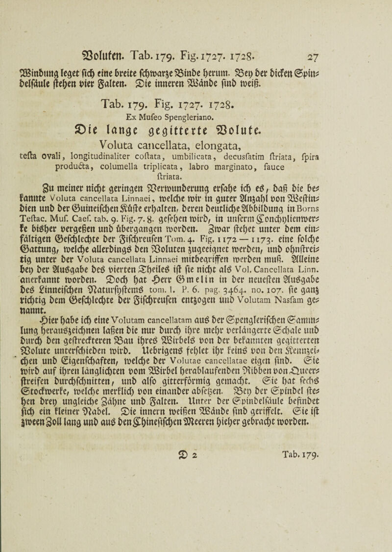 SöSinbuttg leget ftch eine breite fchtoar^e 2$inbe herum. $3et; 5er bicfen (Spitts belfdule (feiert Pier galten. 2ie inneren SBdnbe ftnb meig. Tab. 179. Fig. 1727. 1728. Ex Mufeo Spengleriano. ©ie lange gegitterte 93olute. Voluta cancellata, elongata, tefta ovali, longitudinaliter coftata, umbilicata, decusfatim ftriata, fpira produdta, columella triplicata, labro marginato, fauce ftriata. Sn meiner nicht geringen $?emunberung erfahe ich es / bag 5ie be? kannte Voluta cancellata Linnaei, melcbe mir in guter 2ln$abl Pon $Bejltn? bien unb ber ®uinetfchen$üjle erhalten, bereit beutliche^lbbilbung in Borns Teftac. Muf. Caef. tab. 9. Fig. 7.8- <jefet>eri tpirb, in unferm gToncbbliettmer? fe bisher pergegen unb übergangen roorben. gmar flehet unter bem ein? faltigen (öefchlechte ber gifchreufen Tom. 4. Fig. 1172 — 1173. eine folche (Gattung, melche allerbtngS ben Voluten ^geeignet merben, unb ohnftrei? ttg unter ber Voluta cancellata Linnaei mitbegriffen werben mug. SflJeitte bet; ber Ausgabe beS Pierten &heile3 tfl fte nicht al£ Vol. Cancellata Linn. anerfanttt morbett. 2od) hat £err ©meltn in ber neueren SluSgabe be$ £tnneifchen Sftaturft)ffem£ tom. 1. P. 6. pag, 3464. no. 107. fte ganfc richtig bem 45efd)lecbte ber gifchreufen entzogen unb Volutam Nasfam ge? ttannt. ^)ier habe ich eine Volutam canceiiatam au$ ber (spenglerifchett (Samm? lung herau^seichnen lagen bie nur burch tf)rc mehr perldttgerte ©cbale unb bttreh ben gejlrecfteren $3au ihreö $Birbel3 pon ber befannten gegitterten Volute unterfebieben rnirb. Uebrigen$ fehlet ihr feinö pon ben Stemmet*  chen unb (Eigenfcbaften, welche ber Volutae cancellatae eigen ftnb. @te wirb auf ihren langlichten porn Wirbel herablaufenben Hibben pon £>ttcer? flretfen burchfehnitten, unb alfo gitterformig gemacht. @ie hat fecbS (Stocfroerfe, melche merklich Pott einattber abfegen. 35et; ber (spittbel fle? hen brep ungleiche gähne unb galten. Unter ber (s^pinbelfdule befmbet ftch ein deiner 9label. 2ie innern tpeigen $ßdttbe ftnb geriffelt, ©ie ifl jtpeengoU lang unb au$ benghtneftfehen Leeren hteher gebracht morben. 2 2 Tab. 179.