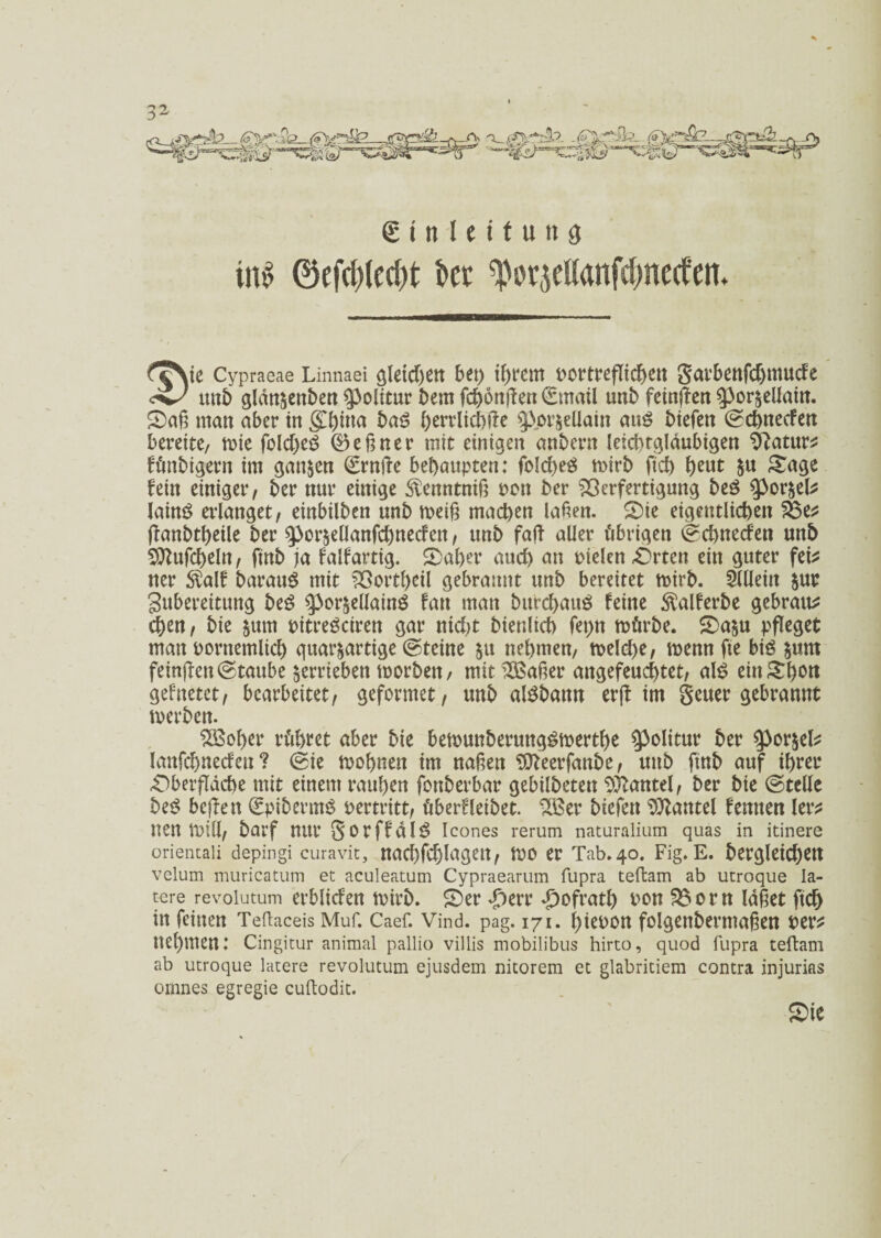 Einleitung ins 0efd)(ed)t kr ^orjetfottfcbneden. £?\ie Cypraeae Linnaei ßletdöen bet) ihrem pomeflidjett garbettfdjmucfe unb glan^enben Politur bern fdjönften ©mail unb feinjfen ^or^eüaitt. £>aü man aber in gbfo<* ba$ ()errltd)}le iporjellain aus biefen ©chnecfen bereite, tnie fcld)e£ (Deiner mit einigen anbern leichtgläubigen D^atur^ fünbigern im ganzen ©rntfe behaupten: fo!d>eö mirb ftd) tytut &u £age fein einiger, ber nur einige ^enntnif? non ber Verfertigung beö ^or$el* lainö erlanget, einbilben unb meiß machen lallen. 2)ie eigentlichen Ve* ftanbtbeile ber $por$ellanfd)neden, unb faft aller übrigen ©chnecfen unb 9ttufd)eln, ftnb ja falfartig. £>aber auch an pielen Orten ein guter fei* ner $alf barauS mit Vortheil gebrannt unb bereitet mirb. Mein $ur gubereitung be£ $>or^ellainö fatt man bttrcbaug feine $alferbe gebraut eben, bie $um pitreSciren gar nid>t biettlich fepn mürbe. £)a&u pfleget man porttemlicb guat^artige ©teine &u nehmen, melcbe, menn fte biö &um feinjTett ©taube verrieben toorben, mit’SSaüer attgefeuchtet, al£ einSb^t gefnetet, bearbeitet, geformet, unb alSbann erjf im geuer gebrannt merben. SSSober rühret aber bie bemunberungsmerthe Politur ber $por&el* lattfchnecfen ? ©ie mobnett im nahen Stteerfanbe, uttb ftnb auf ihrer Oberfläche mit einem rauben fonberbar gebilbeten Hantel, ber bie ©teile be$ befTen ©pibermS pertritt, überfleibet. 1235er biefett Hantel fernten ler* tten mill, barf nur gorffdl$ Icones l-erum naturalium quas in itinere orientaü depingi curavit, nad)fcblagett, tro er Tab.40. Fig. E. bergleichttt velum muricatum et aculeatum Cypraearum fupra teftam ab utroque la¬ tere revolutum erbliden tnirb. 5)er *£)err T)ofrath Pon Vorn Iahet ftd) in feinen Teftaceis Muf. Caef. Vind. pag. 171. biepon folgettbermahen per* nehmen: Cingitur animal pallio villis mobilibus hirto, quod fupra teftam ab utroque latere revolutum ejusdem nitorem et glabritiem contra injurias omnes egregie cuflodit. ®te