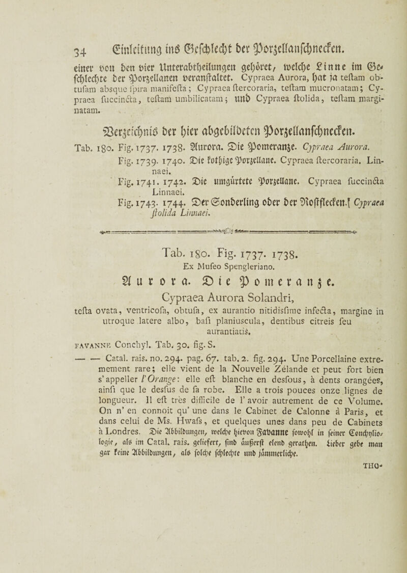 einer m\ bctt mv Uttterabtfyeilmtsett $el)oret, treibe £inne im ©e* fc^lec^te i)er ^Drfjeüanen peranfialtet. Cypraea Aurora, l)Ot ja teftam ob- tufam absque ipira manifeftä; Cypraea ftercoraria, teftam mucronatam; Cy- praea fuccincta, teftam umbilicatam; Wtfc) Cypraea ftolida, teftam margi- natam. Skrjcidjniö bet ()icr abgcbilbcfcn f)orjef(anfd)nccfcn- Tab. Igo. Fig. 1737. 1738* SflUWa. S)ie ^3omeran^e. Cypraea Aurora. Fig. 1739. I74°* fotfngc ^orsellane* Cypraea ftercoraria. Lin¬ naei.. Fig. 1741. 1742. 2)ie iimsüvtßte ^orsellöttc. Cypraea fuccin&a Linnaei. Fig. 1743. 1744. £)et4 ©ont>er(in^ ot)er £>er <D\ofTflecFen-( Cypraea flolida Linnaei. »g -j-j .r. -________ rajyfy rmuxj.—l—'jl.r_:— Tab. 1S0. Fig. 1737. 1738. Ex Mufeo Spengleriano. 2i u r 0 r a. Sie 3>omer«iije. Cypraea Aurora Solandri, tcfta ovata, ventricofa, obtufa, ex aurantio nitidisfime infecla, margine in utroque latere albo, bafi planiuscula, dentibus citreis feu aurantiads, favannk Conchyl. Tab. 30. fig. S. -Catal. rais. no. 294. pag. 67. tab. 2. fig. 294. Une Porcellaine extre- mement rare; eile vient de la Nouvelle Zelande et peut fort bien s’appeller /’Orange: eile eft blanche en desfous, ä dents orangees, ainfi que le desfus de fa robe, Elle a trois pouces onze lignes de longueur. 11 eft tres difficile de Y avoir autrement de ce Volume. On n’en connoit qu’ une dans le Cabinet de Calonne a Paris, et dans celui de Ms. Hwafs, et quelques unes dans peu de Cabinets a Londres. £>ie TOilbungen, jvefd;e fcie»on $aDamtß forooßf in feinet (Tonc^lio* logte, afö im Catal rais. geliefert, fmt> oufjerff efenb geraten, iieber gebe matt gar feine Äütwngcn, als fofdpe ffyUfyte ttnb jämmerliche. THO-