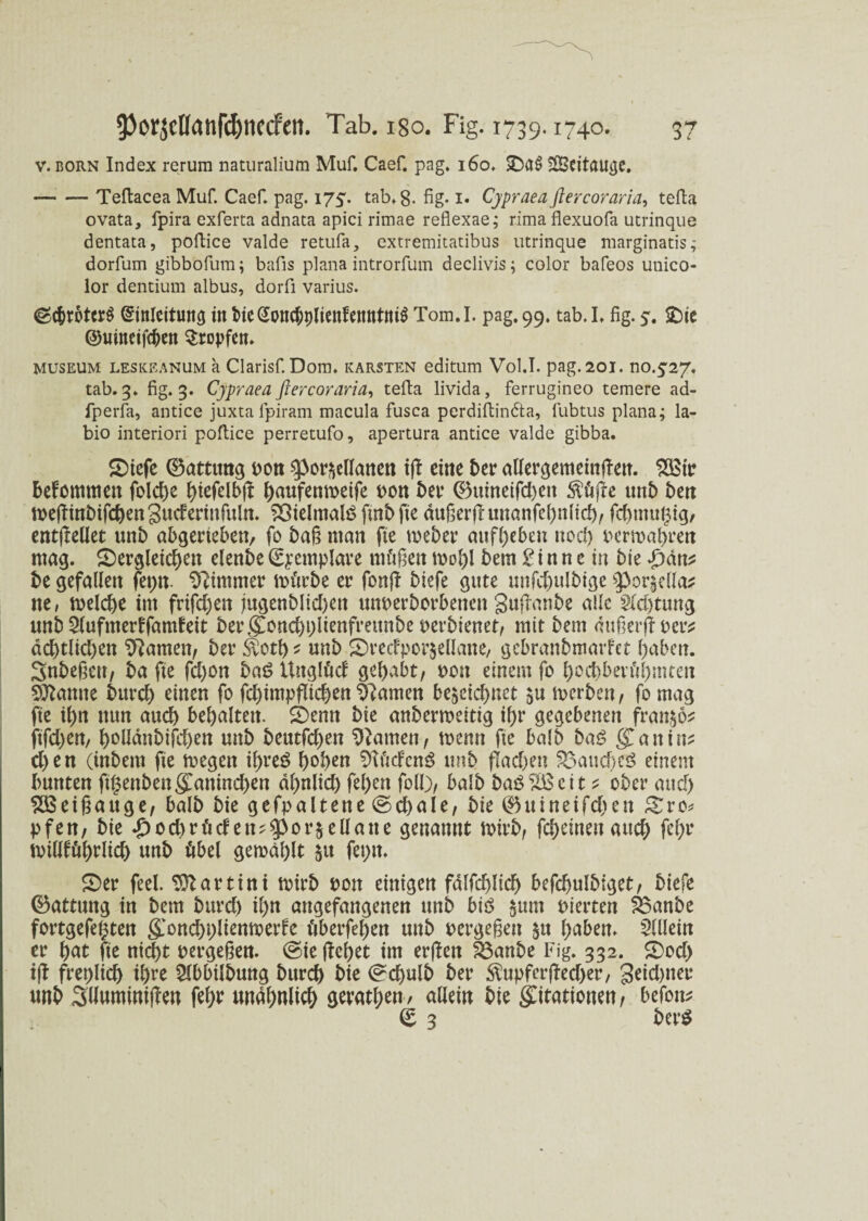 v. Born Index rerura naturalium Muf. Caef. pag. 160. SBcitau^c. — — Teftacea Muf. Caef. pag. 175. tab. 8- fig-1» Cjpraea fiercoraria, tefta ovata, fpira exferta adnata apici rimae reflexae; rimaflexuofa utrinque dentata, poftice valde retufa, extremitatibus utrinque marginatis; dorfum gibbofum; bafis plana introrfum declivis; color bafeos unico- lor dentium albus, dorfi varius. ©c&rotcrS <&inleitmtg in bieGonc&plienfetmtttiS Tom.I. pag, 99. tab.I. fig. 5. die ©uineifc&en Stopfen. museum lesiceanum a Clarisf. Dom. karsten editum Vol.I. pag. 201. m.527. tab. 3. fig. 3. Cjpraea fiercoraria, tefta livida, ferrugineo temere ad- fperfa, antice juxta fpiram macula fusca perdiftindta, lubtus plana; la- bio interiori poftice perretufo, apertura antice valde gibba. diefe 0ammg t>on porzellanen tjl eine ber allergemeinflen. 2Btr bekommen fold)e hiefelbft haufenmeife t>on bet 0uineifd)en S^fifre unb ben metf inbifchen gudertnfuln. 23ielmal£ finb fie dugerfb unanfeßnlid), fchmtigtg, enteilet unb abgerieben, fo baß man fie meber aufheben nod) oemabren mag. dergleichen elenbe €yemplare müßett mol)* bem £ i n n e tu bte be gefallen fet;n. Zimmer mürbe er fonft biefe gute unfchulbige porjelW ne, rnelche im frifdjett jugenblid)en unoerborbenett gujlanbe alle $fd)tung unb £(ufmerFfamfeit ber <£ond)t)lienfmtnbe oerbienet, mit bem außerjloer* dd)tlid)en tarnen/ ber £otb * unb drecfporzellane, gebranbmarfet haben. Snbeßeu, ba fie fd)on baß Uttglüd gehabt, oott einem fo hod)berühmten tarnte bttrd) einen fo fd)impfltchen tarnen bezeichnet zu merben, fo mag fie il)n nun and) behalten, denn bte anbermettig ihr gegebenen franzö* ftfdjen, holldnbifchen unb beutfd>en tarnen, menn ftc halb baß (£ a n i tt? d)en (tnbern fie megett ihres hohen Südens unb flachen £3aucbc3 einem bunten fi($enbengfanind)en dhnlid) fel)ett foll), balb baSSBcit ? ober and) Söeißauge, balb bie gehaltene (Schale, bie 0uineifchen dro* pfen, bie £od)rüden?porzeüane genannt mitb, fchemenattd; fehl* mtHfühtlid) unb übel gemdhlt zu feptt. der feel. Martini rnirb oon einigen falfchlid) befchulbiget, biefe 0attung in bem burd) il)n angefangenen unb bis zum vierten 23anbe fortgefe^ten g.vond)t)lienmerfe überfei)en unb oergeßett zu haben. SUlein er hat fte nicht oergeßen. (Sie flehet im erften feanbe Fig. 332. dod) iff freilich ihre Slbbilbung burch bie (Schulb ber $upferf!ed)er, getd)ner unb Sliuminiffen fef>r unähnlich getanen / allein bie Stationen, befon; 0 3 ber$