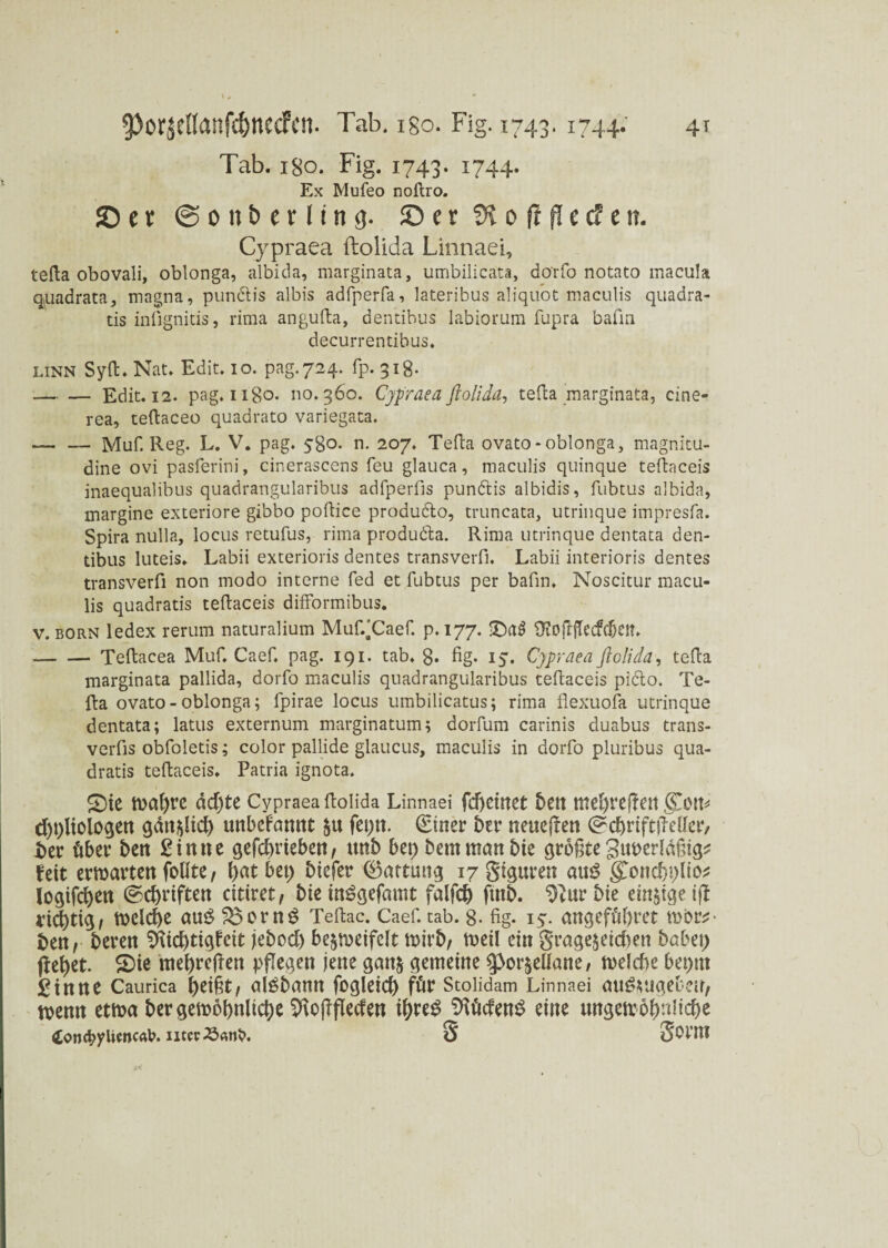 Tab. Igo. Fig. 1743. 1744. Ex Mufeo noftro. ©et ©0nb er Iiti9. ©er SX 0 fi fl e cf e it. Cypraea ftolida Linnaei, tefla obovali, oblonga, albida, marginata, umbilicata, dorfo notato macula quadrata, magna, pundtis albis adfperfa, lateribus aliquot maculis quadra- tis infignitis, rima angufta, dentibus labiorum fupra bafm decurrentibus. LINN Sylt. Nat. Edit. 10. pag.724. fp. 318. — — Edit. 12. pag. ngo. 110.360. Cypraea ftolida, tefla marginata, cine¬ rea, teflaceo quadrato variegata. — — Muf. Reg. L. V. pag. 580. n. 207. Tefla ovato-oblonga, magnitu- dine ovi pasferini, cinerascens feu glauca, maculis quinque teflaceis inaequalibus quadrangularibus adfperfis pundtis albidis, fubtus albida, margine exteriore gibbo poflice produdlo, truncata, utrinque impresfa. Spira nulla, locus retufus, rima produdla. Rima utrinque dentata den¬ tibus luteis. Labii exterioris dentes transverfi. Labii interioris dentes transverfi non modo interne fed et fubtus per bafm. Noscitur macu¬ lis quadratis teflaceis difformibus. v. born ledex rerum naturalium Muf/Caef. p. 177. £>a$ Üioftffecfc&ett. -Teftacea Muf. Caef. pag. 191. tab. 8* fig- ly. Cypraea ftolida, tefla marginata pallida, dorfo maculis quadrangularibus teflaceis picto. Te- fta ovato - oblonga; fpirae locus umbilicatus; rima flexuofa utrinque dentata; latus externum marginatum; dorfum carinis duabus trans- verfis obfoletis; color pallide glaucus, maculis in dorfo pluribus qua¬ dratis teftaceis. Patria ignota. S)te tvaf)t’C dcf)te Cypraea ftolida Linnaei fd)Ctttet beit gTott* d)t)liologen gätt$üd) unbefannt §u feptt. (Einer ber neueßen (srcbrtftßeUer/ i>er über beit £ i n n e gefebrieben/ ttnb bep beut man bie größte gimerläßig* feit ermatten fofite / f)at bet> biefer Gattung 17 giguren auS gloncbplio* logifcben ©ebriften citivct, bieinSgefamt faifcb futb. Sfturbie einige iß richtig/ melcbe au$ %$ovtt$ Teftac. Caef. tab. 8- fig- 15. attgeffibret mob¬ ben, beren Sftid)tigfeit jebod) be^meifclt wirb/ meil ein grage$eid>en habet; jfebet. S)ie mebreßen pßegen jene gan& gemeine ^>or§eüane, melcbe bepnt Sinne Caurica beißt/ alöbann fogleicb für Stolidam Linnaei an^ugebeti, menn etma bergemobnlicbe Sftoßfiecfen i^re^ Südens eine ungern ob’dicbe £on$ylie»cat>. iitcr#<urt>. S S^VtH