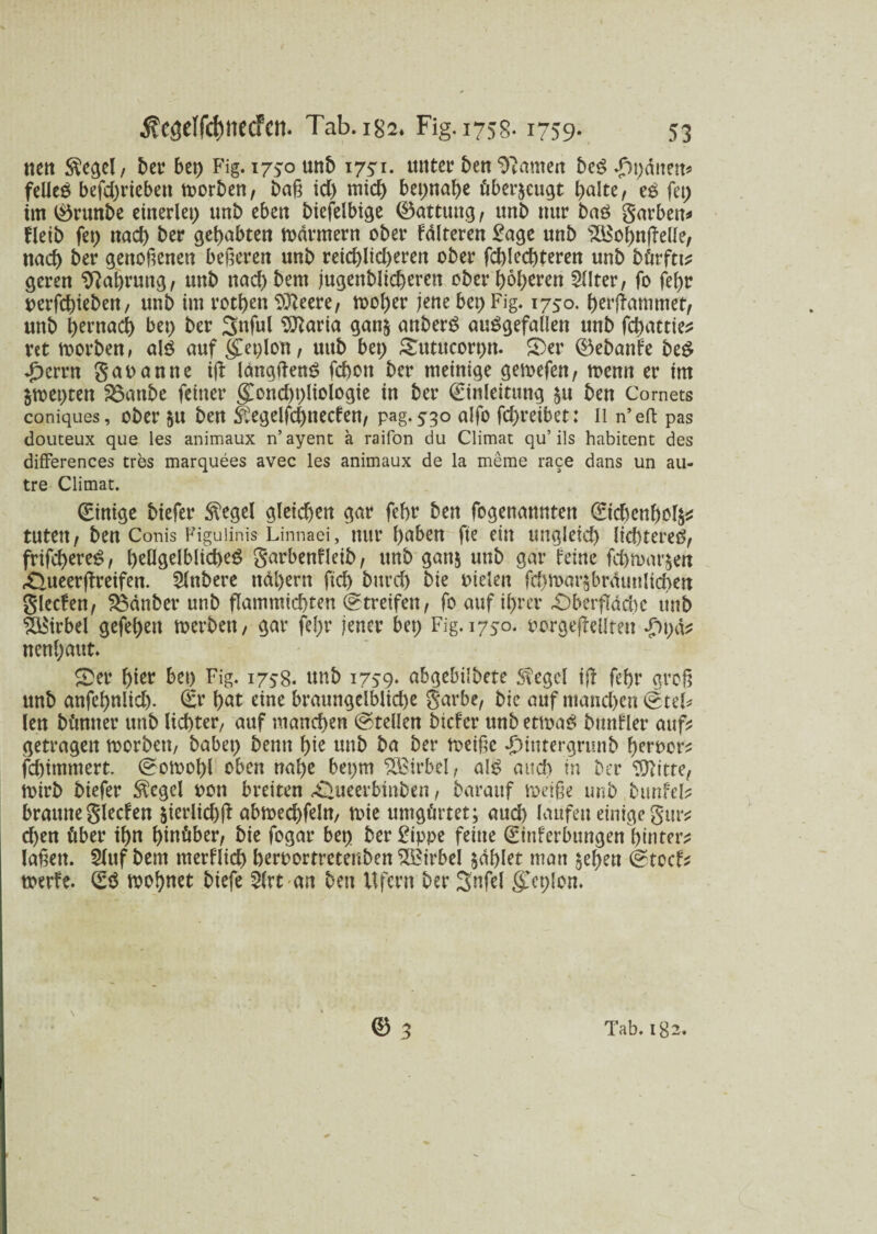 nett $egel, bet4 bep Fig. 1750 unb i^i. unter ben tarnen beS Spanen* felleS befd)rieben toorben, baß id) mich bepnabe überzeugt halte, eS fep im $rmtbe einerlei) unb eben biefelbige ©attung, unb nur baS garben* Hetb fep nach ber gebubten Farmern ober fdlteren £age unb Söohnffelle, nad) ber genoßenen beferen unb reid)lid)erett ober fcblecbteren unb bürftt* gcren SRabrung, unb naebbent jugenblicberen ober höheren 2Uter, fo febr uerfebieben, unb im rotbett DJbeere, toober jene bep Fig. 1750. berftammet, unb hernach bep ber Snful Flavia gan& anberS ausgefallen unb febattie* rct morben, als auf (£eplon, uitb bep Sutttcorpn. £Der ®ebanf'e beS däerrn gaoanne iß: IdngftenS febott ber meinige gemefen, roenn er im jmepten 33anbe feiner §>nd)pliologie in ber Einleitung §u ben Cornets coniques, ober 51t ben £?egelfd)necfen, pag. 530 alfo febreibet: ll n’eft pas douteux que les animaux n’ayent a raifon du Climat qu’ils habitent des differences tres marquees avec les animaux de la meme race dans un au- tre Climat. Einige biefer $egel gleichen gar febr ben fogettatmten Eichenholz tuten / ben Conis Figuiinis Linnaei, nur haben fte ein ungleich lichteres, frifd)ereS, bellgelblicbeS garbenfleib, unb gan$ unb gar feine 'fc&n>ar$eti rOueerfireifen. Slnbere nähern fid) burch bie Dielen fd)roar§brauulichen glecfen, £3dnber unb flammtchten (Streifen, fo auf ihrer £)berfldd)C unb Wirbel gefehett »erben, gar febr jener bep Fig. 1750. oorgeßeüten *J)pd* nenhattt. S>er hier bep Fig. 1758. unb 1759. abgebilbete Siegel iß febr groß unb anfebnlid). Er bat eine braungelblid)e garbe, bie auf ntand>en Stel* len btmner unb lichter, auf manchen Stellen biefer unb etmaS bunfler auf* getragen »erben, babep benn hie unb ba ber »eiße daiutergrunb beroer* fd)immert. Sotooßl oben nabe bepm ££irbel, als auch in ber $ftitte, »irb biefer $egcl oon breiten .Queerbinben, barauf »eiße unb bunfel* braune glecfen $ierlid)ß abmechfeln, »ie umgürtet; aud) laufen einige gur* eben über ihn hinüber, bie fogar bep ber £ippe feine Einferbungen hinter* laßen. 5luf bern tnerflich beroortretenben Wirbel gablet man §ehett Stocf* toerfe. ES »obnet biefe $(rt an bett Ufern ber Snfel gTcplon. ’ \ © 3 Tab. 182.