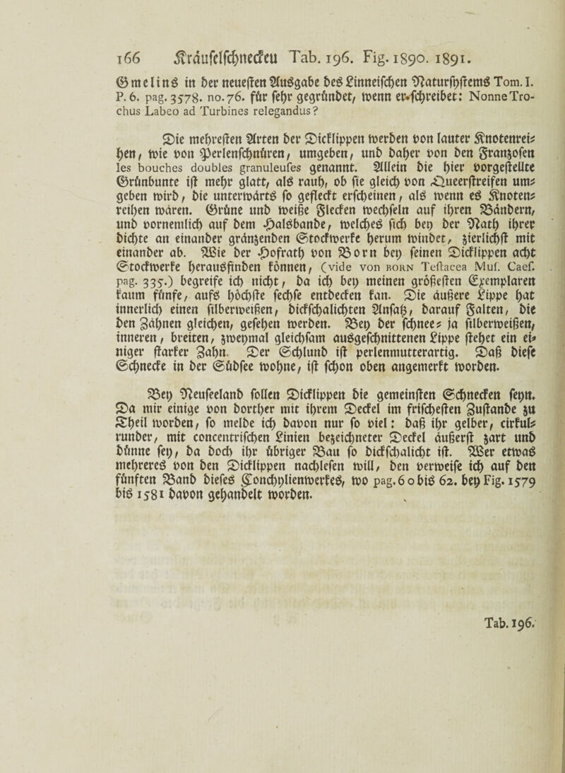 ©melinS ttt 5er neueflen SluSgabe beS£ümeifd)ett SftaturfpftemS Tom.I. P. 6. pag.3578. no.76. für fef>r gegründet, toenn etvfchreibet: NonneTro- chus Labeo ad Turbines relegandus? £)ie mehreren örtert t>er £)ic!lippen n>er£>en oon lauter ^notenrefc he«/ tt)ie oon $perlenfd)ttüren; umgebe«/ unb baher oon ben gran^ofen les bouches doubies granuleufes genannt. SlUein bie ()ier oorgefleüte ©rünbunte ift mehr glatt/ als rauh, ob fte gleich oon ,€>ueerflreifett um* geben roirb / bie untermärtS fo geflecft erfcheinen / als roenn eS knoten* reihen todren. ©rüne unb toeiße glecfen mcchfeln auf ihren $3dnbern, unb oornemlich auf bem T)alSbanbe/ melcheS ftd) bep ber Sftath ihrer bichte an einanber grdn^enben ©totfmerfe herum mittbet, Verlief)# mit einanber ab. $ßie ber *£)ofrath oon 23ortt bet) feinen 2)idlippen acht ©todmerfe herauöpnben fonnett/ (vide von körn Teftacea Muf. Caef. pag. 335'.) begreife ich nicht/ ba ich bet) meinen größeren (Bpemplaren faum ffmfe, aufs hbchffe fechfe entbeefen fan. S)ie äußere Sippe hut innerlid) einen (Übermaßen, bidfchalichten 2lttfa£/ barauf galten, bie ben gähnen gleichen/ gefehen toerben. SBep ber fchnee* ja ftlbermeißen/ inneren / breiten, $wet)mal gleid)fam auSgefchnittenen Fippe flehet ein ei* niger flarfer gähn. £er ©d)lunb ifl perlenmutterartig. £>aß biefe ©chnede in ber ©übfee mohne, ifl fchon oben angemerft morben. 23et) tfteufeelanb feilen 2)icflippen bie gemeinten @cf>necFen fepm S)a mir einige oon borther mit ihrem £)edel im frifcheflen guflanbe $u ^heil toorben/ fo tnelbe ich baoon nur fo oiel: baß ihr gelber/ cirful* runber, mit concentrifchen £inien be$eid)neter Werfel äußerfl &art unb bünne fet) / ba bod> ihr übriger S3au fo bidfd)alicht ifl. SOSer etmaS mehrereS oon ben £>idlippen nachlefen toill, ben oerroeife ich auf ben fünften föanb biefeS (£ond)t)lienmerfeS/ mo pag.6obiS 62. behFig. 1579 bis 1581 baoon gehandelt roorben.