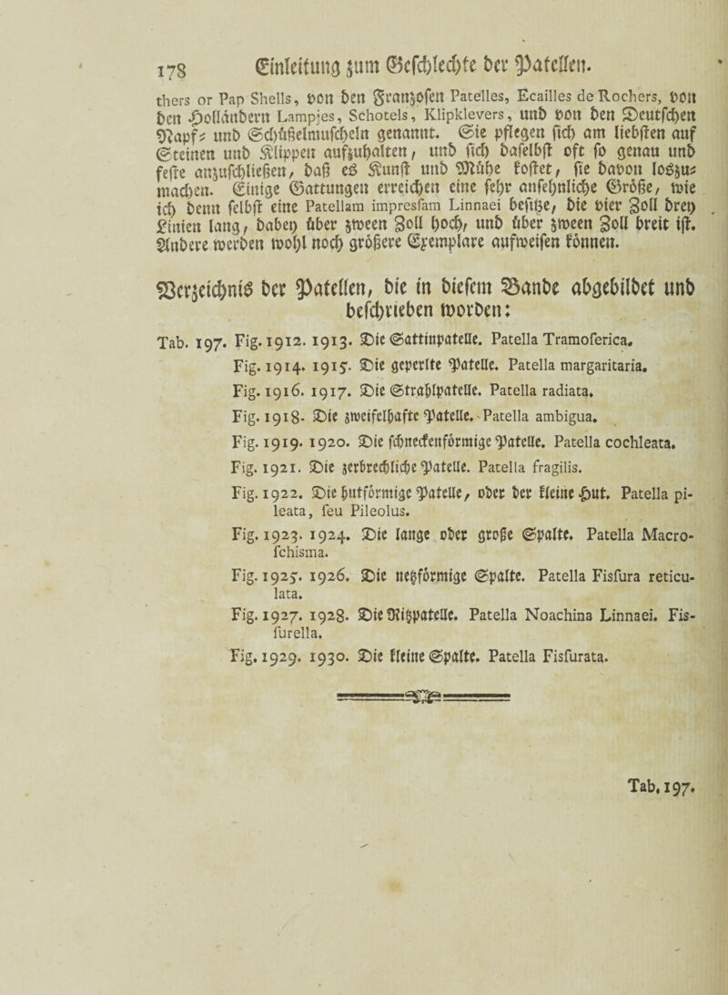 173 ginlct(uus) 5um ©cfd)Ied)fe bcv tyaktitn. thers or Pap Shells, PCtt ben gratt$Ofett Patelles, Ecailles de Rochers, POlt t)cn ^oödnbern Lampjes, Schoteis, Klipkievers, unb pott ben £>ottfcben ‘jftapf* unb ©d)üßelmufd)dn genannt. @ie pflegen ftd) am liebften auf Steinen unb Klippen auftubalten, unb ftd) t>afelbff: oft fo genau unb fefre au$ufd)ließen, baß eö $un|f unb f'offet, fte bapott log$us mad)en. Einige ©attungat erreichen eine febr anfel)nlicbe ©roße, tute td) baut felbjl eine Patellara impresfara Linnaei bcftise, bie Pier Soll bret) £imen lang, habet) über jtpeen Soll l)od>, unb über peen Soll breit tjf. Rubere rnerben mol)l noch größere ©pemplare aufroetfen fonnett. 23evädd)mS bet eilen, bie in biefem Sanbe abgebilbet unb befcbneben root’ben; Tab. 197. Fig. 1912. 1913. SDte ©attinpatelle. Patella Tramoferiea. Fig. 1914* 1915* £)ie geperlte Tatclle. Patella margaritaria. Fig. 1916. 1917. £Me ©tra&lpatclle. Patella radiata. Fig. 1918- £>te SNcifelljaftc Tatelle. Patella ambigua. Fig. 1919. 1920. £)ie febneefenformige Tatelle. Patella cochleata. Fig. 1921. £)ie $erf>redj liebe Tatelle. Patella fragilis. Fig. 1922. ©iebutformigeTatclle, ober t>er Heilte £«t. Patella pi- leata, feu Pileolus. Fig. 1923. 1924. £)te lange ober große ©palte» Patella Macro- fchisma. Fig. 1925. 1926. 2)ie ne^fbrmtge ©palte. Patella Fisfura reticu- lata. Fig. 1927. 1928. SDie ü?i§patelle. Patella Noachina Linnaei. Fis- furella. Fig. 1929. 1930. £)ie Heilte ©palte. Patella Fisfurata.