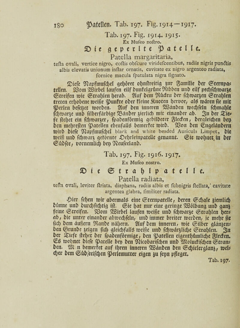 Tab. 197. Fig. 1914.1915. Ex Mufeo noftro. © t e geperlte p a t e l l e. Patella margaritaria, tefla ovali, vertice nigro, coftis obfcure viridefcentibus, radiis nigris pun&is albis elevatis unionum inftar ornacis, cavitate ex nigro argenteo radiata, fornice macula fpatulata nigra iignato. £>tefe 9?apfmufcbel gehöret ohngreitig $ur gamilie 5er ©ternpa* teilen. SÖom Wirbel laufen eilf bunfelgrütie Hibben unb eilf pechfchmar&e (Streifen mie (Strahlen herab. 2luf bem Sftücfen 5er fchmar^en ©tragen treten erhobene meige fünfte ober Heine knoten gewor/ als mdren fte mit perlen begehet morben. 2(uf ben inneren SBdnben mechfeln fcbmable fchmar^e unb ftlberfdrbige Zauber jierltcb mit einattber ab. 3« ber Sie*» fe f^ef>et ein fcf)tt>ar$er/ fpabenförmig gcbilbeter glccfcn, bergletchen bet) bat mehreren gßatellen ebenfalls bemerfet roirb. $3on ben (Ettgelanbern tOtrb biefe 9tapfmufil)el black and white beaded Auricula Limpet, bie meig unb fcgroar$ gefornte £)ebrleinpatelle genannt, ©te mohnet.in ber ©dbfee/ pontemlicb bet) ^eufeelanb. Tab. 197. Fig. 1916.1917. Ex Mufeo nostro, © t e @ t h () I M l 1 I I (• Patella radiata, teda ovali, leviter driata, diaphana, radiis albis et fubnigris dellata,' cavitate argentea glabra, iimiliter radiata. *£>ier fegen mir abermals eine ©ternpatelle, beren ©cbale jiemlid) btittne unb burcbftcgtig ijh ©ie gat nur eine geringe Wölbung unb gan& feine ©treifen. 23om Wirbel laufen meige unb fcbmar&e ©tragen tyttt ab/ bie unter einanber abmecbfeln/ unb immer breiter merben, je mehr fte (ich bem äugern %tnbe ttdbern. Stuf bem inneren/ mie ©ilber glanzen* ben ©runbe geigen ficb gleichfalls rneige unb fcbmdr$licbe ©trablen. 3» ber Stefe (feget ber fpabenförmige, ben Patellen eigentümliche glecfen. ©S mognet biefe ^atelle bep ben Sfticobarifcgen unb SJcDlucfifcgen ©trän* ben. n bemerfet auf ihren inneren SBdnben ben ©cgielerglani / mel* eher bem ©übfeetfcben 9>erlemutter eigen $u fet;tt pfleget.