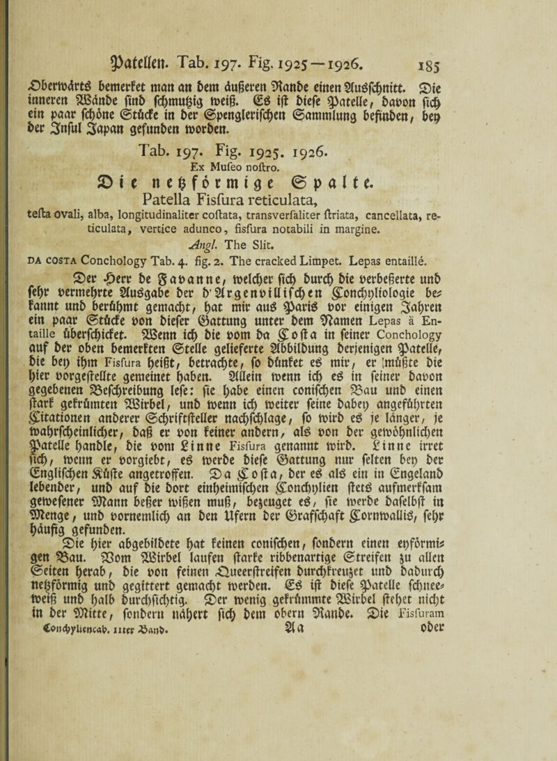 £>bermdrtS bemerFet matt an bem äußeren Sttanbe einen 2luSfchnitt. £>ie inneren SBänbe ftnb fchmugig meiß. (ES ift biefe ^atelle, bapon ft# ein paar fchone ©tücFe in ber ©penglerifchen ©ammlung beftnben/ bep ber 3nful Sapan gefunben morben. Tab. 197. Fig. 1925. 1926. Ex Mufeo noftro. © i e nefcformtge ©palte. Patella Fisfura reticulata, teffca ovali, alba, longitudinaliter coftata, transverfaliter flriata, cancellata, re¬ ticulata, vertice adunco, fisfura notabili in margine. Angl. The Slit. da costa Conchology Tab. 4. fig. 2. The cracked Limpet. Lepas entaille. S)er £ert be gapanne, melcher fich burcf) bie perbeßerte nnb fe^r permehrte SluSgabe ber b’SlrgenPillifdjen gonchpltologie be* Fannt nnb berühmt gemacht/ hat tnir aus $ariS por einigen fahren ein paar ©tücFe pon biefer Gattung unter bem tarnen Lepas ä En¬ taille überfchicfet. 2Benn ich bie Pom ba (£o(ta in feiner Conchology auf ber oben bemerkten ©teile gelieferte 5lbbilbung berjenigen g>atellef bie bet; ihm Fisfura heißt/ betrachte/ fo bünFet eS mit4/ er 'müßte bie hier PorgejMte gemeinet haben, hinein memt ich eS in feiner baoon gegebenen SBefchreibung lefe: ftc habe einen conifchen £3au unb einen ftarf geFrümten Wirbel/ unb mm ich weiter feine babet; angeführten gCitationen anberer ©chriftfMer nachfchlage/ fo toirb eS je langer, je toahrfcheinlicher/ baß er pon feiner anbern, als pon ber gewöhnlichen 9>atelle hanble, bie Pont Sinne Fisfura genannt wirb. Sinne irret fich/ wenn er porgiebt, eS werbe biefe ©attung nur feiten bep ber ©nglifchen Äüße angetroffen. 2>a $ofta, ber eS als ein in (Engelanb lebenber/ unb auf bie bort einheimifchen gfonchplien (TetS aufmerffam gemefener Wann beßer mißen muß/ bezeuget es, fte werbe bafelbfT in Sttenge, unb pornemlich an ben Ufern ber ©raffchaft ffornwaliiS/ fel;r häuftg gefunben. S)ie hier abgebilbete hat Feinen conifchen/ fonbern einett epfortni* gen £3au. SSotn Wirbel laufen flarfe ribbenartige ©treifett $u allen ©eiten herab/ bie pon feinen <41ueerßreifen burcbfreu$et unb baburcf) ttehformig unb gegittert gemacht werben. €S ift biefe ^atelle fchttee* Weiß unb halb burcbftchtig. £)er wenig geFrümmte 2ßirbel (lebet nicht in ber Witte, fonbern nähert fich freut Obern SRanfre. ©ie Fis für am ConcpyUetKab, ntcv 51U Ober