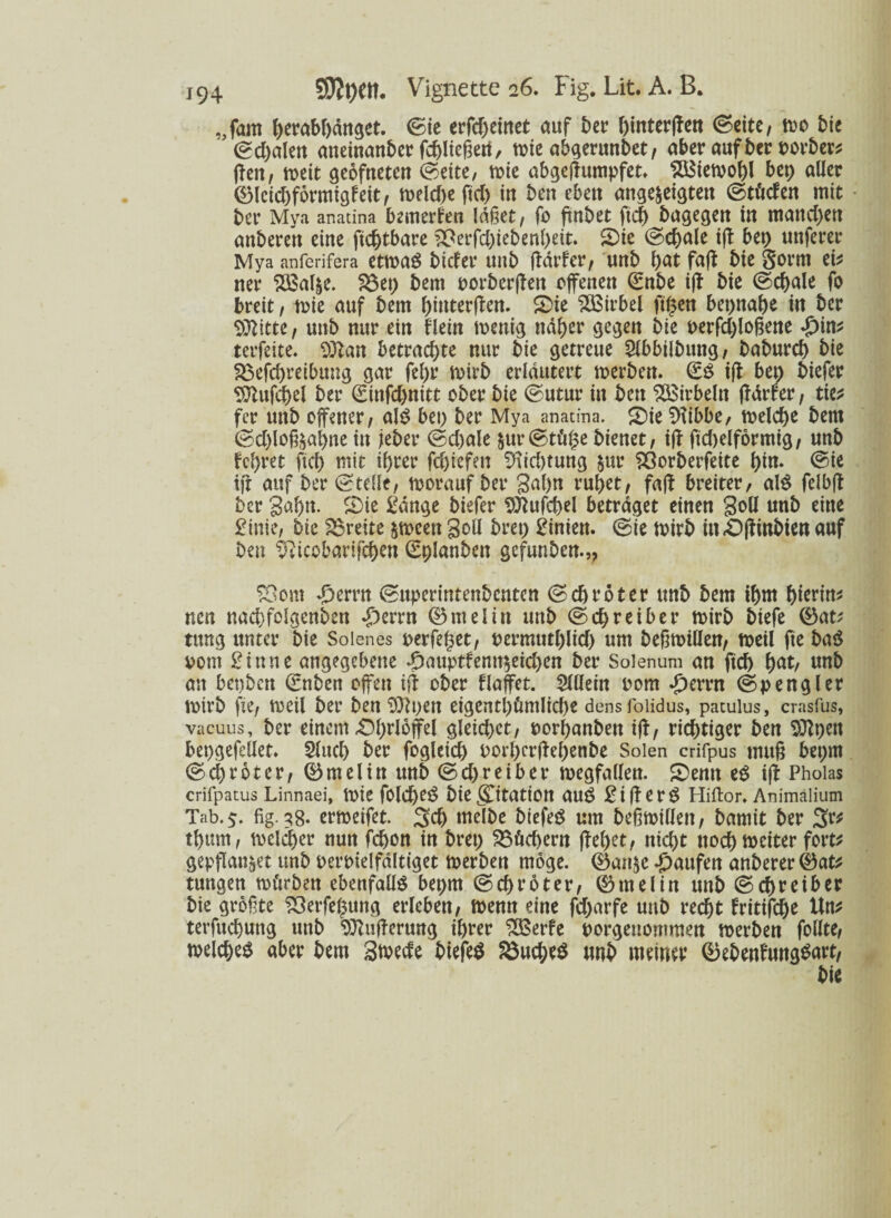 „fam herabhdngct. ©ie erfd)etnet auf ber f)intcrffctt ©eite, mo bie ©d)alett atteinanber fchließett, mie abgerundet, aber auf ber oorber* jfen, mit gebfneten ©eite/ tote abgeflumpfet» 2Bien>ol)l bet) aller 0lcid)fbrmtgfeit, n>elcf>e ftrf> tu ben eben ange$eigtett ©tüden mit ber Mya anatina bemerken läget, fo ftnbet ftch bagegen in mand)en anbereh eine ftchtbare &erfd)iebenl)eit. SDie ©d)ale tff bet) unferer Mya anferifera etmag btder unb ftdrfer, unb hat faß bie gorm eit ner 3Bal|e. 23et) bem oorberßen offenen €nbe iß bie ©cf>ale fo breit, toie auf bem hiuterßen. &it SSBfrbcl ftjjjcn beinahe in ber Sfltitte, unb nur ein flein mettig ndf>er gegen bie t>erfd)loßene £in* terfeite. Sttan betrachte nur bie getreue 5lbbilbung, baburd) bie Söefdjreibung gar fel)r rnirb erläutert merben. 0$ iß bei) biefer Sttufchel ber (Eittfd)nitt ober bie ©utur in bett Wirbeln (Tdrfer, tiet fer unb offener, al$ bei) ber Mya anatina. £)ie Sftibbe, melcjhe bem ©d)lofeal>ne in jeber ©d)ale &ur©tü($e bienet, iß ftd)elfbrmig, unb fchret ftd) mit ihrer fc&iefen 9M)tung $ur Sßorberfeite hin. ©ie iß auf ber ©teile, morauf ber gal)n ruhet, faß breiter, al$ felbß ber gähn. £)ie Sange biefer $ftufd)el betrdget einen Soll unb eine Sinic, bie ^Breite &meett Soll bret) Sinien. ©ie toirb in£)ßittbien auf ben Sfticobarifchen (Eplanben gefunben.,, $3om *£jerrn ©uperintenbenten ©chroter unb bem ihm hierin* neu nachfolgenden £>errn ©melin unb ©<f>reiber rnirb biefe ®at* tttng unter bie Soienes perfekt, uermuthltd) um beßmillen, meil fte ba$ Pom Sinne angegebene £auptfamt$eid)en ber Soienum an ftd) hnt, unb an bepben €nben offen iß ober flaffet. Wein 00m £errn ©p engl er mirb fte, meil ber ben 9ftt)en eigentümliche densfoiidus, patuius, crasfus, vaeuus, ber einem «Ohrlbffel gleid)et, porhanben iß, richtiger ben 9ttt)en bepgefellet. 2Utd) ber fogleich oorl)erßef)enbe Solen crifpus muß bet)tn ©chrbter, 0melin unb ©d)reiber megfallen. £)emt eS iß Phoias crifpatus Linnaei, tpie fold)e£ biegjtatiOtt au$ SifferS Hiftor. Animalium Tab. 5. fig. 38. ermeifet. Sch melbe biefeg um beßmiUen, bamit ber 3r* thum, meldher nun fchon in bret) Köchern ßefjet, nid)t ttochmeiter fort* gepflan&et unb perpielfditiget merben möge. 0att$c Raufen anberer 0at* tungen mürben ebenfalls bepm ©chrbter, 0melin unb ©ehreiber bie größte 23etfe$ung erleben, toenn eine fd)arfe unb redht faittfehe Un* terfuebung unb Äußerung ihrer £Berfe porgenommen merben follte, welches aber bem Stvecfe biefeS SSucbeS unb meiner Q5ebenfawgSart,