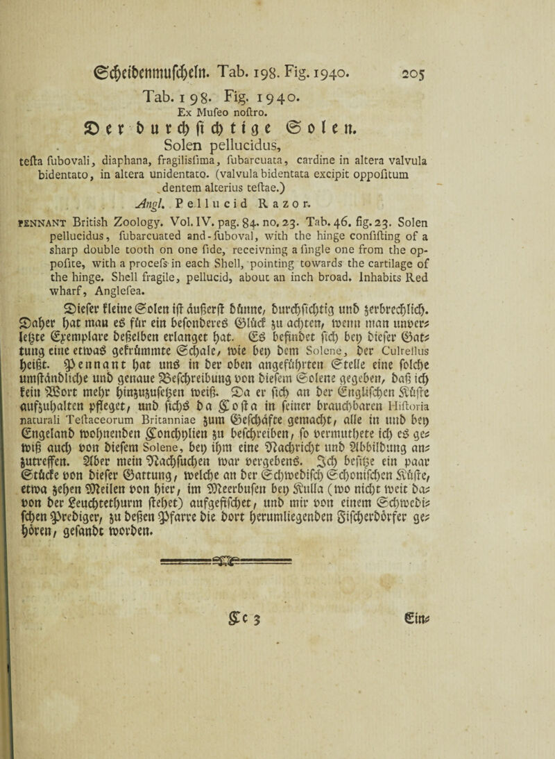 Tab. 198* Fig. 1940. Ex Mufeo noftro. £) e r t> u t cfr ft cM»fl e ©ölen. Solen pellucidus, tefta fubovali, diaphana, fragilislima, fubarcuata, cardine in altera valvula bidentato, in altera unidentato. (valvula bidentata excipit oppofitum identem alterius teftae.) Angl. Pell u cid Razor. pennant British Zoology. Vol. IV. pag. 84* no, 23. Tab. 46. fig. 23. Solen pellucidus, fubarcuated and-fuboval, with the hinge confifting of a sharp double tooth on one fide, receivning a fingle one from the op- pofite, with a procefs in each Shell, pointing towards the cartilage of the hinge. Shell fragile, pellucid, about an inch broad. Inhabits Red wharf, Anglefea. liefet4 f(eine ©olctt ifl außerjt bfirnne, burdjftd)ttg unb jerbrecblid). SDaber man eS fttr ein befonbereö ®IM ja achten, toemt man unpcr; le(3te (Exemplare beweiben erlanget t)at. & beftnbet ftd) bet; biefer ®at; tuttg eine ettpaS gefrümmte ©d)ale, mie bet) bem Solene, ber Culreilus beißt. pennant l)at ttttö in ber oben angeführten Stelle eine folcbe umjfänblid>e unb genaue 23efcbreibuug pctt btefem (Selene gegeben/ baß icb fein s2Bort mehr bm$uäufef3en toeiß. £>a er ftd) an ber €ngltfd)en $üfte mtftul)alten pfleget, unb fid)3 ba gCofta in feiner brattd)barett Miftoria naturali Teftaceorum Britanniae JUlTt (£5efd)dfte gemad)t, alle in ttttb bet) (Engelanb toobnettben gTond)t)lien $tt betreiben, fo permutbete id) e$ ge; toiß aud) Pon biefern Solene, bet) ibm eine $ftad)rid)t unb SHbbilbuttg an; jutreffen. 2fber mein ^ad)fud)en tpar pergebenS. 3d) hefige ein paar ©töcfe pon biefer (Gattung, toekbe an ber ©cbmebtfcb (Sd)onifd)en Äöjte, etma $eben teilen pon hier, im Sfteerbufeit bet) ^ulla (tpo nid)t toeit ba; pon ber geuebtetburm ffef>et) aufgeftfd)et, unb mir Pott einem ®d)mcbt; feben $>rebiger, &u beßett Pfarre bie bort berumltegenben 5'ifd)erbbrfer ge; böten, gefanbt morben. ' gCc 5 €m;