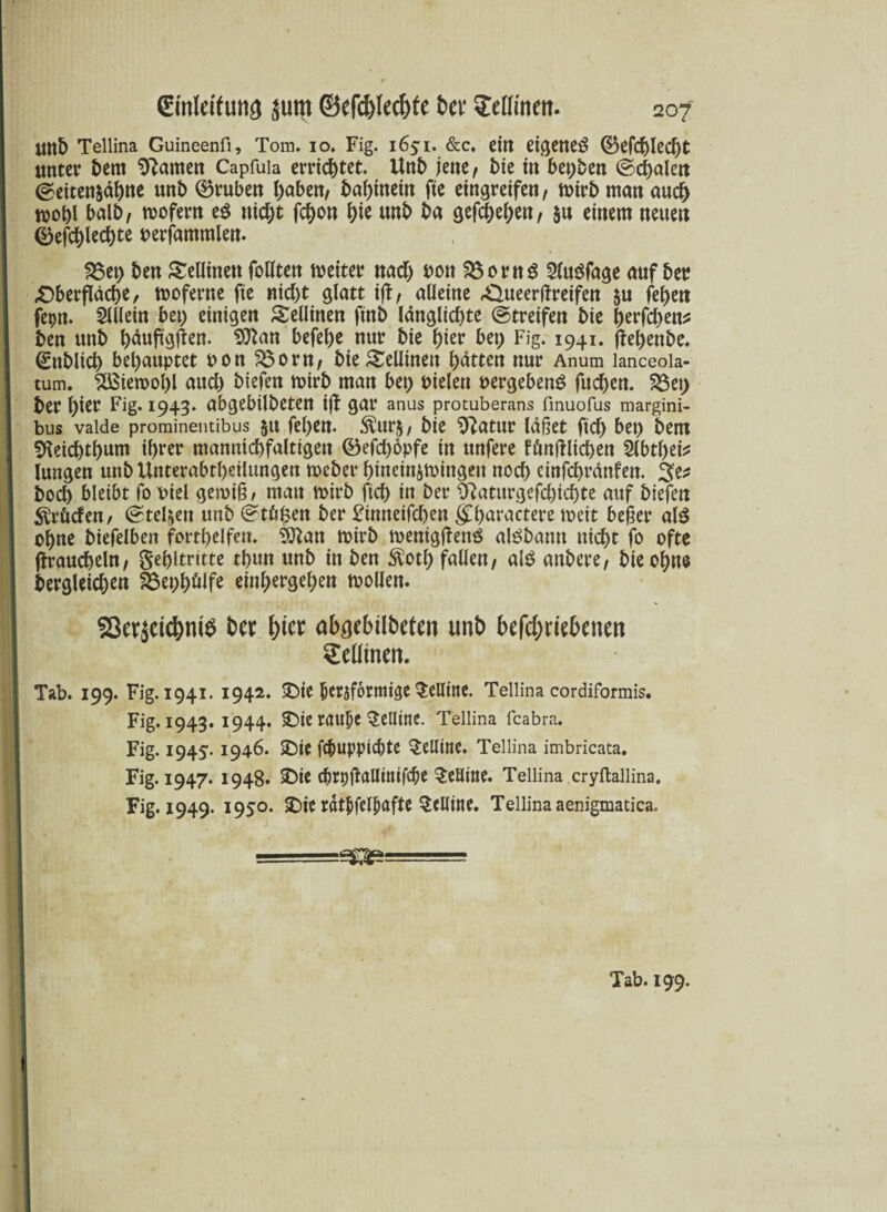 mb Tellina Guineenfi, Tom. 10. Fig. 1651. &c, ein eigene^ ®efd)led)t unter bem tarnen Capfuia errietet. Unb jene/ bk in besten ©Malert (geiten&äbue unb ©ruben haben/ babinein fte etngretfen, wirb man aud) toobl balb, sofern eg nicht fc^on ^ie ttnb ba gelegen, $u einem neuen 0efd[)ieci)te perfammlen. S5ep ben Seütnen follten weiter ttad) Pott $$orng 2lugfage auf ber £>berfläd)e, woferne fte nid)t glatt ijt, alleine ^Queerftreifen $u felgen fepn. Slllein bet) einigen Sellinen ftnb langlid)te ©treifen bie berfeben* ben unb bäufigjten. 9ftan befere nur bie hier bet) Fig. 1941. ftebenbe. (Ettblid) behauptet pon 23orn/ bie^ellinen batten nur Anum lanceoia- tum. 2Biewol)l attd) btefen wirb man bet) Dielen Pergebeng fueben. $8et> ber \)kv Fig. 1943. abgebübeten ijf gar anus protuberans finuofus margini- bus valde prominentibus jtt fel)en. &ur$/ bie Sftatur läget ftd> bep bem SKeicbtbum ihrer mannicbfaltigett 0efd)6pfe in unfere fönftlicben Slbtl)t\t Jungen unb Unterabtbeilungen Weber binein^wingett noch einfebränfen. bod) bleibt fopiel genug, man wirb ftcb in ber ^aturgefebiebte auf biefen prüden/ ©teilen unb ©tü£en ber £tnneifd)en gTbaractere weit beger alg ohne biefelben fortbelfen. 9ttan wirb wenigffeng algbamt nicht jo ofte (fraucbeUt/ gebitritte tbutt unb in ben $otb fallen/ alg attbere/ bie ohne bergieid)en §$epb&lfe einbergeben wollen. Sßeräcicfyntö t)icr abgebilbeten unb betriebenen SeUinen. Tab. 199. Fig. 1941. 1942. £)ie betjfotntige $ellitte. Tellina cordiformis. Fig. 1943. 1944. £)ie raupe ^ellitte. Tellina feabra. Fig. 1945* 1946. SDie febuppiebte ^elline. Tellina imbricata. Fig. 1947. 1948. £>ie cbtpftallinifcbe Setline. Tellina,cryftallina. Fig. 1949. 1950. £)ie rätbfelbafte Selline. Tellina aenigmatica. --