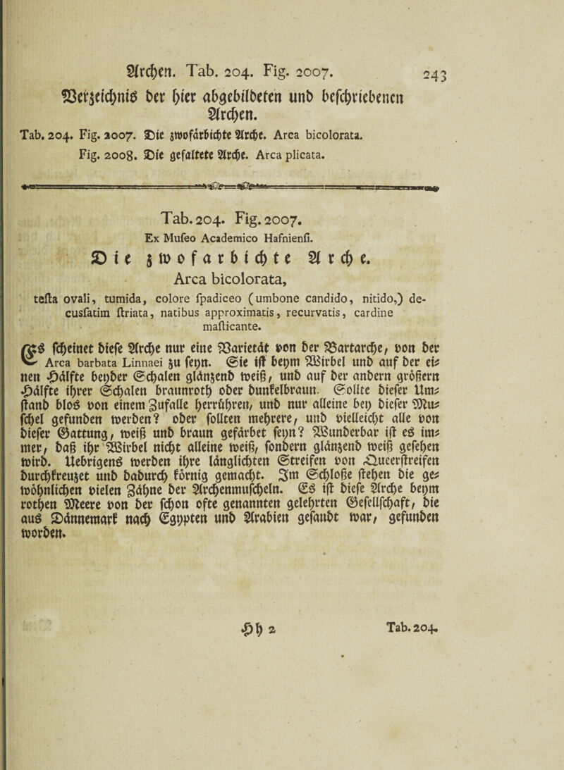 föctjcic^niö t>cr frier abgebitbeten unb bcfcfrricbencn Streben. Tab. 204. Fig. 2007. &ie swofdrfudße Slrcbe. Area bicolorata. Fig. 2008. SDte ^faltete 5lrcf)t. Area plicata. '-r-=r- . ■- . ■ --. .. -- gaap Tab. 204. Fig. 2007. Ex Mufeo Academico Hafnienfi. £> i e jtuofarbicfrte Strebe. Area bicolorata, tefla ovali, tumida, colore fpadiceo (umbone candido, nitido,) de- cusratim ftriata, natibus approximatis, recurvatis, cardine mafticante. fcheinet biefe 5lrche nur eine Varietät fcon 5er 23artarche, oon bet Area barbata Linnaei $u fet>n. ©ie iß bebm ^äStrbel unb auf bet t\f neu «£>alfte bet;ber ©chalen gldn§enb toeig / unb auf bet anbern großem *£)dlfte ihrer ©chalen braunroth ober bunfelbraun. ©ollte biefer Um* ßanb bloS uon einem gufalle betrögen, unb nur alleine bet; biefer $ttu* fchel gefunben toerben? ober follten mehrere, unb oielleicht alle uon biefer ©attung, meiß unb braun gefdrbet fet)n? SBunberbar iß e$ im* mer, baß ihr Wirbel nicht alleine toeiß, fonbern gldn&enb toeiß gefeßen toirb. Uebrigenö toerben ihre langlichten ©treifen oon ,0-ueerßreifen burdjfreu&et unb baburch fornig gemacht. 3m ©cßloße ßehen bie ge* toohnlichen oielen Sahne btt 5lrchenmufcheln. ©ö iß biefe Kirche bet>m rothen Stteere uon ber fchon ofte genannten gelehrten ©efellfchaft, bie aus SDdnnemarf nach (SghPten unb ^(ra5ten gefaubt toar, gefunben tvorben*