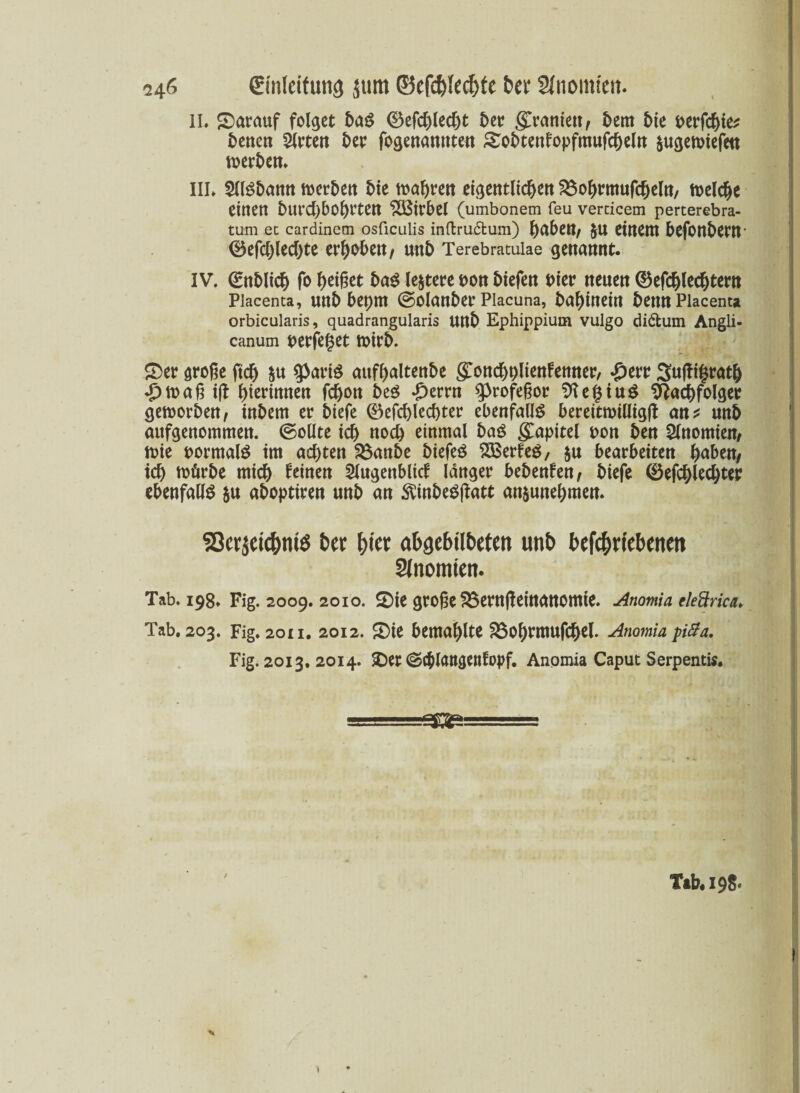 II. darauf folget baS ®efd)ledjt Der granien/ Dem bte perfchie* Denen mitten Der ^genannten STobtenfopfmufcheln $ugewiefm werben. III. 2llSDamt werben 5fe mauert eigentlichen 2$ohrmufcheln, welche einen 5urchboheten Wirbel (umbonetn feu vercicem perterebra- tum ec cardinem osüculis inftrudtum) httbett/ §U einem befOttbeM ©efd)led)te erhoben/ mb Terebratulae genannt. IV. Qcnblich fo heißet ba$ le&tere pon biefen hier neuen ©efchledjtern Piacenta, uttb bepm (Solanber Piacuna, bahinein DemtPiacenta orbicularis, quadrangularis Uttb Ephippium vulgo didtum Angli- canum perfeget wirb. £>er große ftdj &u $ari£ aufhaltenbe gonchplienfenner, -g)err Suftigrath £waß ijt hiennnen fchon beö £errn g>rofeßor SKegiuS Nachfolger geworben/ inbem er biefe 0efchled)ter ebenfalls bereitwillig^ an* unb attfgenommen. (Sollte ich noch einmal baS Kapitel pon ben Anomien/ wie pormatö im achten 23anbe biefeö Sßerfeö/ ju bearbeiten haben/ ich Wörbe mich feinen Slugenblid langer bebenfett/ biefe ©efcglechter ebenfalls §u aboptiren unb an $inbe$ßatt an^unehmen. 93cr$etnte ber t)iee abgebilbefen unb betriebenen SJnotnien. Tab. 198. Fig. 2009.2010. 2)ie große $$ernßeittanomie. Anomia eleftrica* Tab. 203. Fig. 2011. 2012. 5)ie bemahlte ^3ohrmufchel. Anomia p0a. Fig. 2013. 2014. &et ©cblangenfopf. Anomia Caput Serpentis. Tab« I9S<